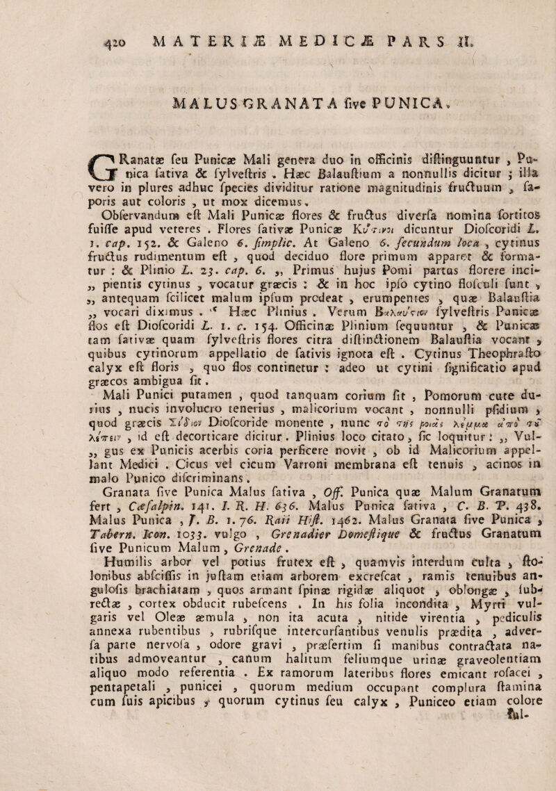 MATERIS MEOICJI PARS It, \ \ MALUS GRANATA five PUNICA, GRanatae feu Punicae Mali genera duo in officinis diftinguutitur > Pa¬ nica fativa & fylveftris , Haec Balauftium a nonnullis dicitur ; illa vero in plures adhuc fpecies dividitur ratione magnitudinis fruduuin , fa- poris aut coloris * ut mox dicemus, Obfervanduo? eft Mali Punicae flores Sc frudus diverfa nomina fortitos fuifle apud veteres . Flores fati vae Punicas K vvivot dicuntur Diofcoridi L, j. cap. 152. Sc Galeno 6. fimplic. At Galeno 6. fecundum loca , cytinus frudus rudimentum eft 3 quod deciduo flore primum apparet Sc forma¬ tur : Sc Plinio L. 23. cap. 6. 5, Primus hujus Pomi partus florere inci- 3y pientis cytinus 3 vocatur grascis : Sc in hoc ipfo cytino floftuli funt * 3J antequam fcilicet malum ipfum prodeat > erumpentes > quae Balauftia ,, vocari diximus . '* Hssc Plinius . Verum &x\etv<rtw fylveftris Punicae flos eft Diofcoridi L. 1. c. 154. Officinae Plinium (equuntur * Sc Punicas tam fativae quam fylveftris flores citra diftindionem Balauflia vocant ^ quibus cytinorum appellatio de fativis ignota eft . Cytinus Theophrafto calyx eft floris 3 quo flos continetur 1 adeo ut cytini fignificatio apud graecos ambigua fit. Mali Punici puramen , quod ranquam corium fit 9 Pomorum cute du¬ rius 5 nucis involucro tenerius , malicorium vocant > nonnulli pfidium * quod graecis Diofcoride monente , nunc vo *nfs potas xi{/fxx «V« xIotbiv , id eft decorticare dicitur. Plinius loco citato > fic loquitur: 5J Vul- gus ex Punicis acerbis coria perficere novit * ob id Malicorium appel¬ lant Medici . Cicus vel cicum Varroni membrana eft tenuis 9 acinos in malo Punico difcriminans; Granata five Punica Malus fativa , Off. Punica quae Malum Granatum fert 3 Ctffalpin. 141. I. R. H, 636. Malus Punica fativa , C. B. T. 458, Malus Punica , J. B. 1. 76. Raii Hift. 1462. Malus Granata five Punica * Tabem. Icon. 1033. vulgo , Grenadier Domeftique Sc frudus Granatum five Punicum Malum > Grenade . Humilis arbor vel potius frutex eft 3 quamvis interdum culta 5 fto- lonibus abfciffis in juftam etiam arborem excrefcat , ramis tenuibus an¬ gui ofis brachiatam > quos armant fpinac rigidae aliquot * oblongae * iub-: redae 5 cortex obducit rubefcens * In his folia incondita * Myrri vul¬ garis vel Oleae aemula * non ita acuta * nitide virentia > pediculis annexa rubentibus > rnbrifque intercurfantibus venulis praedita > adver- fa parte nervofa 5 odore gravi 5 praefertim fi manibus contradata na¬ tibus admoveantur 5 canum halitum feliumque urinae graveolentiam aliquo modo referentia . £x ramorum lateribus flores emicant rofacei , pentapetali , punicei , quorum medium occupant complura ftamina cum fuis apicibus / quorum cytinus feu calyx , Puniceo etiam colore