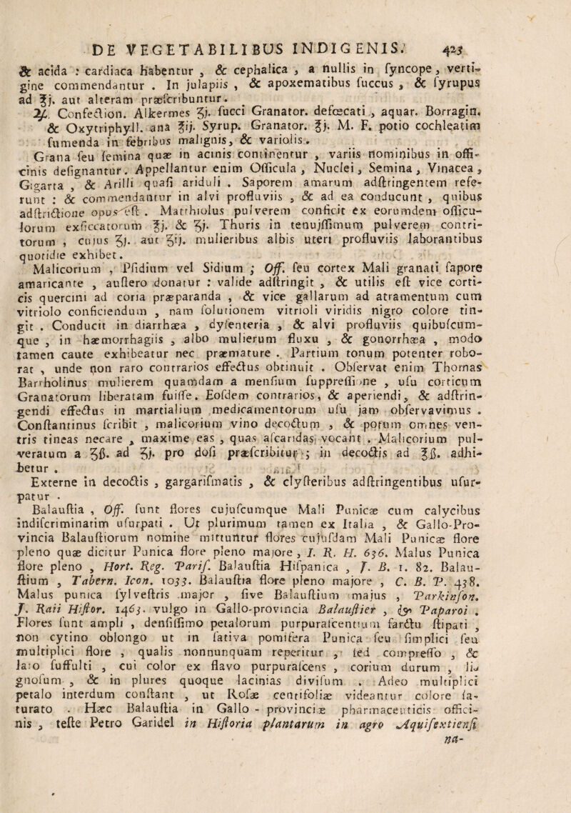 acida : cardiaca habentur , Sc cephalica , a nullis in fyncope, verti¬ gine commendantur . In julapiis , & apoxematibus fuccus , & fyrupus ad f j. aut alteram praefcribuntur» 2/C. Confe&ion. Aikermes §j. fucci Granator. defecati .* aquar. Borragin. & Oxytriphyll. ana %i). Syrup. Granator. gj. M. F. potio cochleatim fumenda in febribus malignis* & varioiis. Grana feu {emina quae in acinis continentur , variis nominibus in offi¬ cinis defignantur. Appellantur enim Officula * Nuclei* Semina* Vinacea* Gi^arta f Sc Arilh quah ariduli , Saporem amarum adftringentem refe¬ runt : Sc commendantur in alvi profluviis * & ad ea conducunt , quibus adftndhone opu^eS . Matrhiolus pulverem conficit ex eorumdeni officu- lorum exficca torum ^j. Sc 5i- Thuris in tenujfllmum pulverem contri¬ torum 1 cusus 5l* auc 3!). mulieribus albis uteri profluviis laborantibus quotidie exhibet. Malicorium , Pfidium vel Sidium ; Off. feu cortex Mali granati fapore amaricante * auftero donatur : valide adftringit * Sc utilis eft vice corti¬ cis quercini ad coria praeparanda , Sc vice gallarum ad atramentum curn vitriolo conficiendum , naro {'elutionem vitrioli viridis nigro colore tisi* git . Conducit in diarrhaea > dyfenteria * Sc alvi profluviis quibufcum- que * in haemorrhagiis * albo mulierum fluxu * Sc gonorrhasa , modo tamen caute exhibeatur nec praemature . Partium tonum potenter robo- rat , unde tion raro contrarios effe&us obtinuit . Obfervat enim Thornas Bartholinus mulierem quamdam a menfium fupprefli >ne , ufa corticum Granatorum liberatam fuifle. Eofdem contrarios, Sc aperiendi* Sc adflrin* gendi effetfus in martialium medicamentorum ufu jam obfervavimus . Conftantinus fcribit , malicorium vino decoTtum * Sc potum omnes ven¬ tris tineas necare * maxime eas * quas alcaridas vocant . Malicorium pul- veratum a a<^ 5i* Pr0 dofi praefcribiruf 4 in decoris ad adhi* betur . _ jc ^ i>uLf Externe in deco<ftis * gargarifmatis * Sc clyfleribus adftringentibus ufur- patur . Balauftia , Off. funt flores cujufcumque Mali Punicae curo calycibus indifcriminarim ufurpati . Ut plurimum tamen ex Italia * Sc Gallo-Pro« vincia Balauftiorum nomine mittuntur flores tujnfdam Mali Punies flore pleno quae dicitur Punica flore pleno majore* I. R, H. 636. Malus Punica flore pleno * Hort. Reg. Tariff Balauftia Hifpanica * J. R. 1. 82. Balau- ftium * Tabem. Icon. X033. Balauftia flore pleno majore , C. B. V. 438. Malus punica fylveftris .major * five Balauftium majus , Tarkinfon. J. Rati Hiftor. 146$. vulgo iri Gallo-provincia Balaujlier , Taparoi . Flores funt ampli , denfiffimo petalorum purpurafcentium fardtu ftipati * non cytino oblongo ut in fativa pomifera Punica feu fimplici feu multiplici flore , qualis nonnunquam repetitur * ied compreflo * Sc Jaio fuffulti * cui color ex flavo purpuralcens , corium durum , lk< giiofurn * Sc in plures quoque lacinias divifum . Adeo multiplici petalo interdum conflant * ut Roffie centifolia videantur colore (a- turato . Hxc Balauftia in Gallo - provinciae pharmaceuticis offici¬ nis * tefte Petro Garidel in Hifioria plantarum in agro ^Aquifextienjt na-