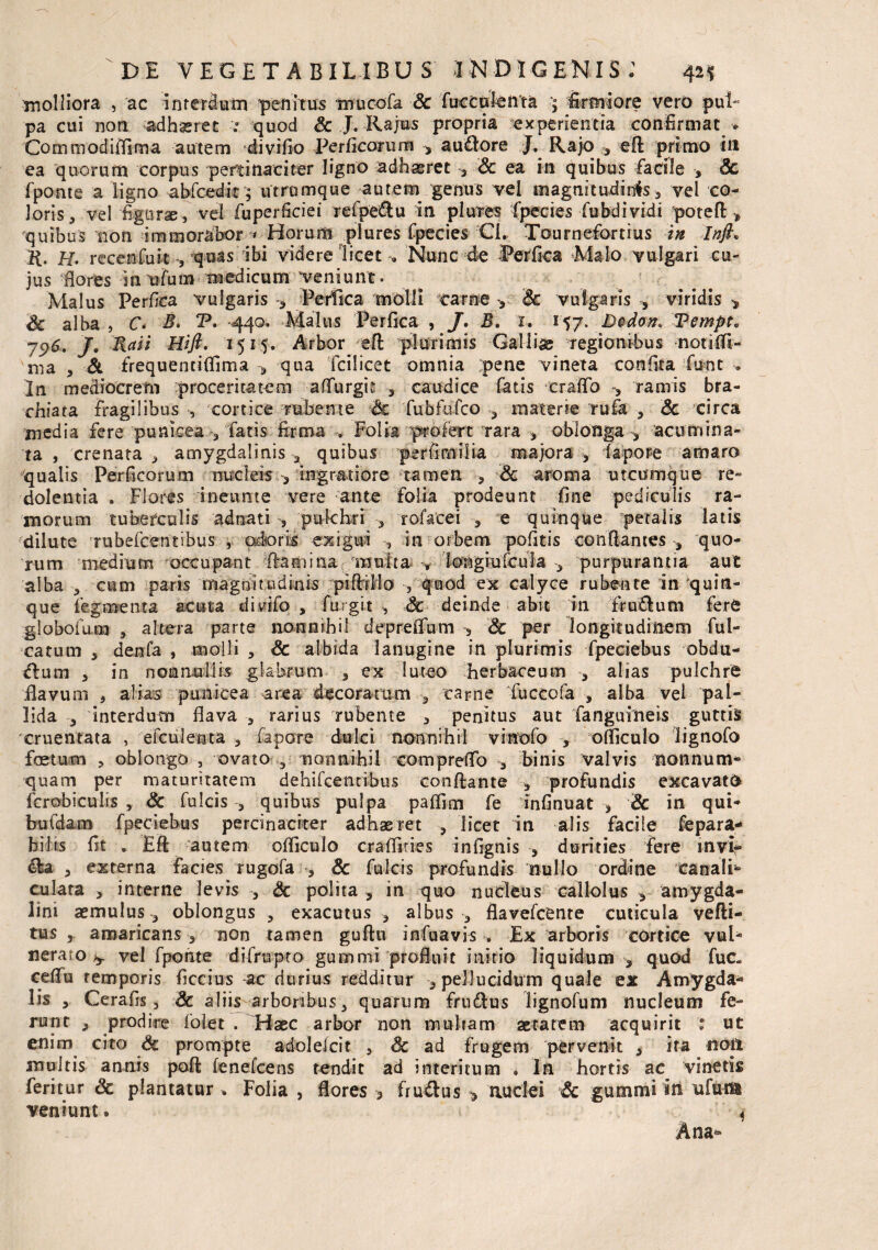 molliora , ac interdum penitus mucofa Sc fucculenta > -firmiore vero pul¬ pa cui non adhaeret quod & J. Rajus propria experientia confirmat * Cominodiffima autem divifio Perficorum > a udiore J. Rajo , -eft primo ia ea quorum corpus pertinaciter ligno adhaeret , Sc ea in quibus facile Sc fpome a ligno abfceditutrumque autem genus vel magnitudinis * vel co¬ loris, vel figurae, vel fuperficiei refpe&u in plures fpecies -fubdividi poteft.» quibus non immorabor » Horum plures fpecies Cl, Tournefortius in Infi* R, H. recenfuit , quas ibi videre licet Nunc de Perfica Malo vulgari cu¬ jus flores intifum medicum veniunt. Malus Perfica vulgaris •, Perfica molli carne Sc vulgaris , viridis * Sc alba , C* B. P. 440. Malus Perfica , J. B. 1. 157. D&don. *Pempt0 79*- 7. Raii Hifl. 1515. Arbor e£t plurimis Galliae regionibus noti (fi¬ ma , St frequencitfima qua fcilicet omnia pene vineta confila fiunt » In mediocrem proceritatem a (fur git , caudice fatis traflb ramis bra¬ chiata fragilibus s, cortice mbente & fubfofco , materie Tufa , & circa inedia fere punkea -3 fatis firma Folia profert rara , oblonga y acumina¬ ta , crenata , amygdalinis , quibus perfimilia majora , Tapore amaro qualis Perficorum nucleis ingratiore ‘tamen Sc aroma utcumque re¬ dolentia . Flores ineume vere ante folia prodeunt fine pediculis ra¬ morum tuberculis adnati , pulchri , rofatei , e quinque petalis latis dilute Tubefcentibus , odoris exigui , in orbem pofitis conflantes , quo¬ rum medium occupant ftaaiina rnuita longtufcula , purpurantia aut alba , cum paris magnitudinis pifMMo , quod ex calyce rubente in quin¬ que fegmenta scuta divifo , furgit , Sc deinde abit in ffudlum fere globofum , altera parte nonnihil depreifum & per longitudinem fui» catum , denfa , molli , & albida lanugine in plurimis fpeciebus v>bdu- &um , in nonnullis glabrum , ex luteo herbaceum , alias pulchre flavum 5 alias pumicea area decoratum , carne fuccofa , alba vel pal¬ lida , interdum flava , rarius rubente , penitus aut fanguineis guttis 'cruentata , efculenta , fapore dulci nonnihil vinofo , ofliculo lignofo foetum , oblongo , ovato 3 nonnihil compreflo , binis valvis nonnum* quam per maturitatem dehifcenribus conflante , profundis excavato fcrobiculis , Sc fulcis , quibus pulpa paflim fe infinuat , Sc in qui* buidam fpeciebus percinaciter adhaeret , licet in alis facile fepara- hilis fit . Eft autem ofliculo crafliues infignis , durities fere invi¬ da , externa facies rugofa , Sc fulcis profundis nullo ordine canali¬ culata , interne levis , Sc polita , in quo nucleus callolus , amygda¬ lini aemulus 3 oblongus , exacutus, albus , flavefcente cuticula vefti- tus j amaricans , non tamen guftu infuavis . Ex arboris cortice vul¬ neraro ^ vel fpohte difrupto gummi profluit initio liquidum , quod fuc« ceflu temporis ficcius ac durius redditur , pellucidum quale ex Amygda* lis , Cerafis, Sc aliis arboribus, quarum fruftus lignofum nucleum fe¬ runt , prodire folet . Haec arbor non multam aetatem acquirit : ut enim cito Sc prompte adolelcit , Sc ad frugem pervenit 3 ita noj! inultis annis poft fenefcens tendit ad interitum . In hortis ac vinetis feritur Sc plantatur . Folia , flores > fru&us > nuclei *& gummi in ufum veniunt. 4 Ana*