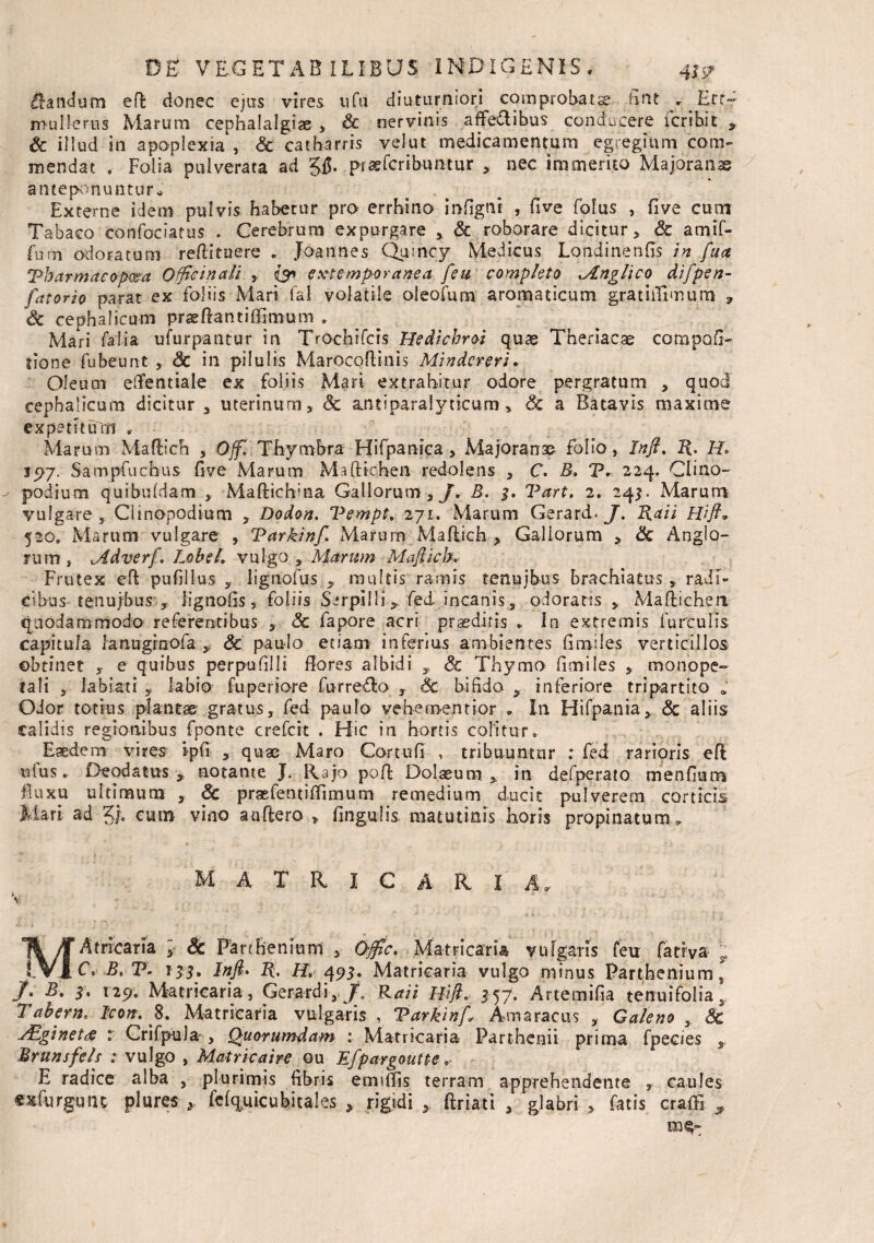 dandum eft donec ejus vires ufu diuturniori comprobata fint » Eff~ rnullerus Marum cephalalgiae , Sc nervinis affe&ibus conducere fer ibit y & illud in apoplexia , Sc catbarris velut medicamentum egregium com¬ mendat . Folia pulverata ad ptapErribuntur , nec immerito Majoranie anteponuntur^ Externe idem pulvis habetur pro errhino infigni , five folus , five cum Tabaco confociatus . Cerebrum expurgare * & roborare dicitur, Sc amif- fum odoratum reftituere * Joannes Quincy Medicus Londinenfis in fuit Tbarmacopeea Offtcinali , pr> e ^temporanea feu completo Mnglico difpen- fatorio parat ex foliis Mari fai volatile oleofum aromaticum gratiilfimum » Sc cephalicum praeftantiBimum . Mari fatia ufurpantur in Trochifcis Hedichroi quae Theriacae compofi- tione fubeunt , Sc in pilulis Marocoftinis Mindcreri• Oleum eftentiale ex foliis Mari extrahitur odore pergratum , quod cephalicum dicitur , uterinum, Sc ajitiparalyticum, Sc a Batavis maxime expetitum r Marum Maftich 5 Off. Thymbra Hifpanica , Majoranae folio, Inft. H. H, 35>7- Sampfuchus five Marum Maftichen redolens , C. B. P» 224. Clino-' podium quibufdam Maftichma Gallorum, J* B. $. Vart. 2. 24^. Marum vulgare , Clinopodium , Dodon. Tempt. 271. Marum Gerard. J. Raii Wfi. 520, Marum vulgare , Tarkinf. Marum Maftich , Gallorum , Sc Anglo- rum , Mdverf. Lobeh vulgo , Marum Maftich. Frutex eft pufillus , lignofus 9 multis ramis tenujbus brachiatus , radi¬ cibus tenujbus y, fignofis, foliis Serpilli y fed incanis 3 odoratis , Maftichea quodammodo referentibus , Sc fapore acri praediris * In extremis furculis capitula lanuginofa y Sc paulo etiam inferius ambientes fi.miles verticillos obtinet e quibus perpufilli flores albidi , Sc Thymo fimiles , monope- lali , labiati , labio fuperiore furre&o , Sc bifido , inferiore tripartito Odor totius plantae gratus, fed paulo veheroentior * In Hifpania, Sc aliis calidis regionibus fponte crefcit . Hic in hortis colitur. Eaedem vires ipfi , quae Maro Cortufi , tribuuntur : fed rarioris eft uius. Deodatus , notante J. Rajo poft Dolaeum , in defperato menflum luxu ultimum , Sc praefentiflimum remedium ducit pulverem corticis Mari ad g/. cum vino anftero , lingulis matutinis horis propinatum. M A T R I C A R I Ar v M A tricar ia } St Parthenium , O-fftc. Matricaria vulgaris feu fatrva r C. B. T5- 113. Inft. 2L H. 495. Matricaria vulgo minus Parthenium, J. B. 5, 129. Matricaria, Gerardi, f, Raii Hift* 357. Artemifia tenuifolias Tabem. Icon. 8. Matricaria vulgaris , Tarkinf Amaracus , Galeno , Sc Acginet<e : Crifpula , Quorumdam : Matricaria Parthenii prima fpecies , Brunsfelf : vulgo , Matricaire ou Efpargoutpe .■ E radice alba , plurimis fibris ennftis terram apprehendente , caules exfurgunt plures * fefquicubitales > rigidi, ftriati , glabri , fatis crafifi , mi-