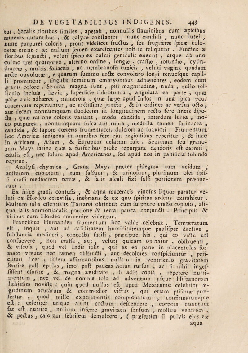 tur, Secalis floribus fimiies , apetali , nonnullis flaminibus cum apicibus annexis nutantibus , Sc calyce conflantes , nunc candidi , nunc lutei , nunc purpurei coloris , prout videlicet frudus , feu frugiferas fpicse colo-- ratae erunt : at nullum femen exarefcentes poft fe reliquunt . Frudus a floribus fejundi , veluti fpicae ex culmi geniculis exeunt , atque ab uno culmo tres quatuorve , alterno ordine , longse , craflfae , rotunda , cylin- dracese , multis foliaceis , ac membranofis tunicis , veluti vagina quadam arde obvolutae , e quarum fummo arde convoluto longi tenuefque capil- li prominent , lingulis feminum embryonibus adhaerentes , eodem cum granis colore . Semina magna funt , pili magnitudine, nuda , nullo fol- liculo inclufa , laevia , fuperficie fubrotunda , angulata ea parte , qu^ palae axis adhaeret , numerofa , quae faepe apud Indos in una fpica 700* coacervata reperiuntur , ac ardilfime junda , Sc in ordines ac verfus odo, aut decem nonnumquam duodecim in longitudinem redis fere lineis dige- da j quas ratione coloris variant , modo candida , interdum lutea , mo¬ do purpurea , nonnumquam fufca aut rubra , medulla tamen farinacea , candida , & fapore coeteris frumentaceis dulciori ac fuaviori . Frumentum hoc America indigena in omnibus fere ejus regionibus reperitur , Sc inde in Africam , Afiam , Sc Europam delatum fuit . Seminum feu grano¬ rum Mays farina quae a furfuribus probe repurgata candoris eft eximii , edulis eft, nec folum apud Americanos, fed apud nos in panificia fubinde cogirur . Analyfi chymica , Grana xMays praeter phlegma tum acidum , aufterum copiofum , tum falfum , Sc urinofum , plurimum olei fpif- ii crafifi mediocrem terrae , Sc falis alcali fixi Falfi portionem praebue¬ runt . Ex hifce granis contufis , Sc aqua maceratis vinofus liquor paratur ve¬ luti ex Hordeo cerevifia , inebrians Sc ex quo fpirirus ardens extrahitur . Multum fahs effentialis Tartarei obtinent cum fulphure craffo copiofo , ali¬ qua fahs ammoniacalis portione Sc terra pauca conjundi . Principiis Sc viribus cum Hordeo convenire videntur. Francifcus Hernandez frumentum hoc valde celebrat . Temperatum eft , inquit , aut ad caliditatem humiditatemque panlifper declive , fubftantia mediocri , concodu facili , praecipue his , qui eo vidu uti confuevere , non craflfa , aut , veluti quidam opinatur , obftruenti 3 Sc vifcofa , quod vel Indis ipfis , qui ex eo pane in placentulas for¬ mato vivunt nec tamen obftrudi , aut decolores confpiciuntur , peri¬ clitari licet ; iifdem affirmantibus nullam in ventriculo gravitatem fentire poft epulas , imo poft paucas horas rurfus , ac fi nihil ingef- fifient efurire , Sc magna aviditate , fi adfit copia , repetere nutri¬ mentum , nec vel de nomine folo ad adventum yfque Hifpanorum lithiafim noviffe ; quin quod nullus eft apud Mexicanos celebrior ac- gridinum acutarum Sc commodior vidus , qui etiam ptifanse prse- fertur , quod mille experimentis comprobatum , confirmatumqne eft : celeriter utique ajunt codum deirendere , corpora quantum fat eft nutrire , nullum inferre gravitatis fe n fu m , mollire ventrem iy Sc pedus , calorem febrilem demulcere , ( praefertim fi pulvis ejus ex aqua