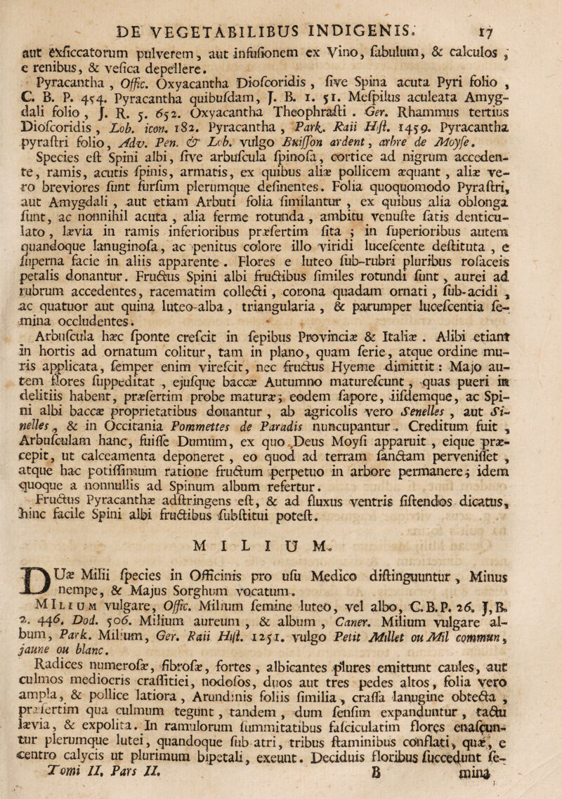 aut exficcatorum pulverem, aut In Mone tn cx Vino, fabulum, & calculos % e renibus, & vefica depellere. Pyracantha , Offtc. Oxyacantha Diofcoridis , five Spina acuta Pyri folio , C. B. P. 4^4. Pyracantha quibufdam, J. B. 1. 51. Mefpilus aculeata Amyg¬ dali folio , J. R. 5. 652. Oxyacantha Theophrafti . Ger. Rhammus tertius Diofcoridis , Lob. icon. 182. Pyracantha , Park. Raii Hfi* 145:9. Pyracantha pyraftri folio, Adv. Pen. & Lob. vulgo JSwffon ardent, arhre de JWoyfe, Species eft Spini albi, five arbufcula fpinofa, cortice ad nigrum acceden¬ te, ramis, acutis fpinis, armatis, ex quibus alias pollicem sequant , aliae ve¬ ro breviores fimt furfum plerumque definentes. Folia quoquomodo Pyraftri^ aut Amygdali , aut etiam Arbuti folia fimilantur , ex quibus alia oblonga funt, ac nonnihil acuta , alia ferme rotunda, ambitu venufte fatis denticu¬ lato , lama in ramis inferioribus pr^fertim fita ; in fuperioribus autem quandoque lanuginofa, ac penitus colore illo viridi lucefcente deftituta , e fiiperna facie in aliis apparente . Flores e luteo iiib-rubri pluribus rofaceis petalis donantur. Frudus Spini albi frudibus fimiles rotundi funt, aurei ad rubrum accedentes, racematim colledi, corona quadam ornati, fub-acidi % ac quatuor aut quina luteo-alba, triangularia , & parumper lucefcentia fe¬ mina occludentes. Arbufcula hxc fponte crefcit in fepibus Provincia & Italiae . Alibi etiant In hortis ad ornatum colitur, tam in plano, quam ferie, atque ordine mu¬ ris applicata, femper enim virefcit, nec frudus Hyeme dimittit: Majo au¬ tem flores fuppeditat , ejufque baccx Autumno maturefcunt, quas pueri im delitiis habent, prxfenini probe matura?; eodem fapore, iifdemque, ac Spi¬ ni albi bacc^ proprietatibus donantur , ab agricolis vero Senelles , aut Si* nelles 9 & in Occitania Pommettes de Paradis nuncupantur . Creditum fuit , Arbufculam hanc, fuifie Dumum, ex quo Deus Moyfi apparuit , eique prae¬ cepit, ut calceamenta deponeret, eo quod ad terram fandam perveniflet atque hac potiflimum ratione frudum perpetuo in arbore permanere; idem quoque a nonnullis ad Spinum album refertur. Frudus Pyracantha adflringens eft, & ad fluxus ventris fiftendos dicatus, hinc facile Spini albi frudibus fubftitui poteft. M I L I U M. DUx Milii fpecies in Officinis pro ufu Medico diftinguuntur, Minus nempe, & Majus Sorghum vocatum . MIlium vulgare, Offic. Milium femine luteo, vel albo, C,B.P. 26, J,R 2*. 446, Dod. 5:06. Milium aureum , & album , Caner. Milium vulgare al¬ bum, Park. Mibum, Ger. Raii Hi\l. 1251. vulgo Petit Milkt ouAfil eommun» jaune ou blanc. Radices numerofa*, fibrofe, fortes , albicantes plures emittunt caules, aut culmos mediocris craflitiei, nodefos, duos aut tres pedes altos, folia vero ampla, & pollice latiora, Arundinis foliis fimilia, craffa lanugine obteda , priiertim qua culmum tegunt, tandem , dum fenfim expanduntur , tadxi \xviay & expolita. In ramulorum fummitatibus fafciculatim floras enabun¬ tur plerumque lutei, quandoque fub atri, tribus flaminibus conflati, quafj e centro calycis ut plurimum bipetaii, exeunt. Deciduis floribus fuccedunt fe- Tmi II. Pars II. f B mini