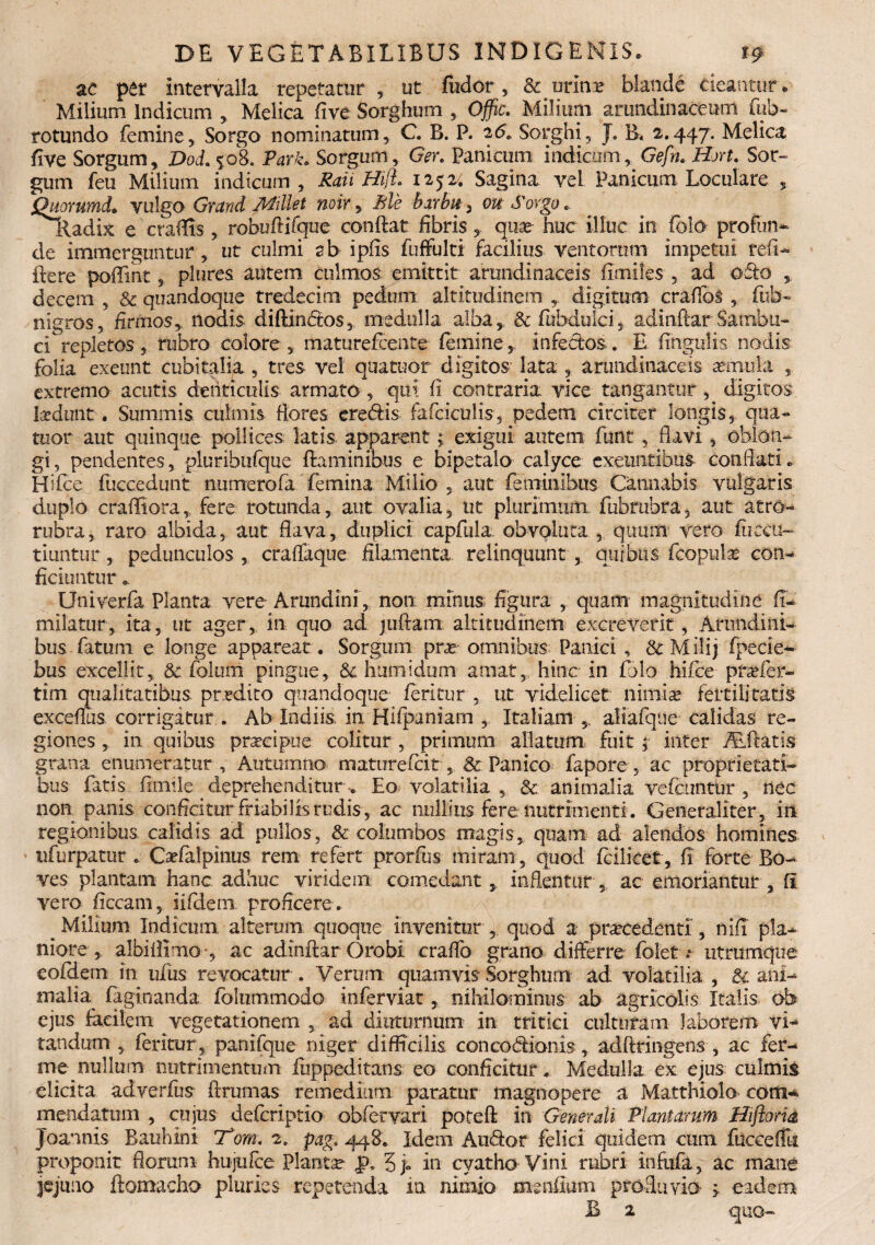 ac per intervalla repetatur, ut fudor, & urint blande cieantur . Milium Indicum , Melica five Sorghum , Offic. Milium arundinaceum fub- rotundo femine, Sorgo nominatum, C. B. P. 26. Sorghi, J. B* 2.447. Melica five Sorgum, Dod.%08. Park. Sorgum, Ger. Panicum indicam, Gefn. Hort. Sor- gum feu Milium indicum , Rati Hift. 1252/. Sagina vel Panicum Loculare , Quorumd. vu\go Grand Mittet noir, Ble Barbif , ouSorgo.. Radix e craffis , robuftifque conflat fibris, qtice huc illuc in folo profun¬ de immerguntur, ut culmi ab ipfis fuffulti facilius ventorum impetui refi- ftere poffint, plures autem culmos emittit arundinaceis flmifes , ad o5to decem , & quandoque tredecim pedum altitudinem digitum craflos , fub- nigros, firrnosy nodis diftindos, medulla alba, & fubdulci, adinftar Sambu- cUrepletos, rubro colore , maturefeente femine, infectos. E lingulis nodis folia exeunt cubitalia , tres vel quatuor digitos lata , arundinaceis aemula , extremo acutis denticulis armato , qui fi contraria vice tangantur , digitos isedimt. Summis culmis flores eredis fafciculis, pedem circiter longis, qua¬ tuor aut quinque pollices latis apparent; exigui autem funt , flavi , oblon¬ gi , pendentes, pluribufque flaminibus e bipetalo calyce exeuntibus conflati. Hifce fuccedunt numerofa femina Milio , aut feminibus Cannabis vulgaris duplo craflfiora, fere rotunda, aut ovalia, ut plurimum fubmbra, aut atro- rubra, raro albida, aut flava, duplici capftila obvoluta , quum vero fiiccu- tiuntur, pedunculos , craflaque filamenta relinquunt , quibus fcopulae con¬ ficiuntur «. Univerfa Planta vere Arundini, non minus figura , quam magnitudine ff- milatur, ita, ut ager, in quo ad juftam altitudinem excreverit, Arundini¬ bus fatum e longe appareat. Sorgum pne omnibus Panici , & M ili j fpecie- bus excellit, & folurri pingue, & humidum amat, hinc in fjlo hifce pra?fer- tim qualitatibus prodito quandoque feritur , ut videlicet nimiae fertilitatis exceflus corrigitur . Ab Indiis. in Hifpaniam , Italiam ,, aliafque calidas re¬ giones , in quibus praecipue colitur, primum allatum, fuit; inter Axftatis grana enumeratur. Autumno maturefeit, & Panico fapore, ac proprietati¬ bus fatis fimile deprehenditur-. Eo volatilia , & animalia vefamtbr , nec non. panis conficitur friabilis rudis, ac nullius fere nutrimenti. Generaliter, ili regionibus calidis ad pullos, & columbos magis, quam ad alendos homines ufurpatur . Caefalpinus rem refert prorfus miram, quod fcilteet, fi forte Bo¬ ves plantam hanc adhuc viridem comedant, inflentur , ac emoriantur , fi vero ficcam, iifdem proficere . ^ Milium Indicum, alterum quoque invenitur , quod a procedenti, nifi pla¬ niore, albi fi imo-, ac adinftar Orobi erado grano differre folet.- utrumque eofdem in ufus revocatur . Verum quamvis Sorghum ad volatilia , & ani¬ malia (aginanda, folummodo inferviat, nihilominus ab agricolis Italis ob ejus facilem vegetationem , ad diuturnum in tritici culturam laborem vi¬ tandum , feritur, panifque niger difficilis concodionis, aclftringens , ac fer¬ ine nullum nutrimentum fuppeditans eo conficitur. Medulla ex ejus culmis elicita adverfus ftrumas remedium paratur magnopere a Matthiolo corti* mendatum , cujus deferiptio obfervari poteft in Generali Plantarum Hiflona Joannis Bauhini rTom. 2. pag, 448. Idem A udor felici quidem cum fuccefllx proponit florum hujufce Planta p. 3j° in cyatho Vini rubri infufa, ac mane jejuno ftomacho pluries repetenda in nimio menfium profluvia > eadem B 2 quo-