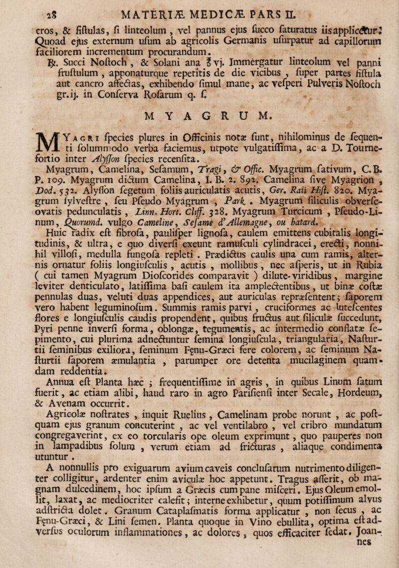 eros, & fiflulas, fi linteolum, yel pannus ejus fucco faturatus iisapplic&tir2 Quoad ejus externum ufum ab agricolis Germanis ufurpatur ad capillorum faciliorem incrementum procurandum. l$t. Succi Noftoch , & Solani ana E vj. Immergatur linteolum yel panni fruftulum , apponaturque repetitis de die vicibus , fiiper partes fiffula aut cancro affedas, exhibendo fimul mane, ac vefperi Pulveris Noftoch gr.ij. in Conferva Rofarum q, fi MYAGRUM. MYagri fpecies plures in Officinis nota» funt, nihilominus de fequen- ti folummodo verba faciemus, utpote vulgatiffima, ac a D. Tourne- fortio inter Alyffon fpecies recenfita. Myagrum, Camelina, Sefamum, Tragi, & Offic. Myagrum fativum, C.B. P. 109. Myagrum didum Camelina, I. B. 2. §92. Camelina five Myagrion 3 Dod. 532. Alyflon fegetum foliisauriculatis acutis, Ger. Raii Hifl. 820. Mya¬ grum fylveftre , feu Pfeudo Myagrum , Park . Myagrum filiculis obverfe- ovatis pedunculatis , Linn.Hon, Cltff, 328. Myagrum Turcicum , Pfeudo-Li- num, Quorumd. vulgo Cameline, Se fame tfAllemagne^ ou batard. Huic radix eft fibrofa, paulifper lignofa, caulem emittens cubitalis longi¬ tudinis, & ultra, e quo diverfi exeunt ramufculi cylindracei, eredi, nonni¬ hil villofi, medulla fungofa repleti . Praxii&us caulis una cum ramis, alter¬ nis ornatur foliis longiufculis , acutis , mollibus, nec afperis, ut in Rubia ( cui tamen Myagrum Diofcorides comparavit ) dilute- viridibus, margine leviter denticulato, latiffima bafi caulem ita ampledentibus, ut bina; cofta; pennulas duas, veluti duas appendices, aut auriculas reprasfentent; faporem vero habent leguminofiim. Summis ramis parvi, cruciformes ac lutefeentes flores e longiufculis caudis propendent, quibus frudus aut filicula; fuccedunt, Pyri penne inverfi forma, oblonga, tegumentis, ac intermedio conflata; fe- pimento, cui plurima adneduntur femina longiufcula, triangularia, Naftur- tii feminibus exiliora, feminum Ffnu-Gr^ci fere colorem, ac feminum Na- fturtii faporem semulantia , parumper ore detenta mucilaginem quam • dam reddentia. Annua eft Planta ha;c ; frequentifiime in agris , in quibus Linum fatum fuerit, ac etiam alibi, haud raro in agro Parifienfi inter Secale, Hordeum, & Avenam occurrit. Agricola; noftrates , inquit Ruelius , Camelinam probe norunt , ac poft- quam ejus granum concuterint , ac vel ventilabro , vel cribro mundatum congregaverint, ex eo torcularis ope oleum exprimunt, quo pauperes non in lampadibus folunj , verum etiam ad friduras , aliaque condimenta utuntur . A nonnullis pfo exiguarum avium caveis conclufarum nutrimento diligen¬ ter colligitur, ardenter enim avicula; hoc appetunt. Tragus afterit, ob ma¬ gnam dulcedinem, hoc ipfum a Gr^cis cum pane mife^ri. Ejus Oleum emol¬ lit, laxat, ac mediocriter calefit; interne exhibetur, qtium potiffimum alvus adftrida dolet. Granum Cataplafmatis forma applicatur , non fecus , ac F$nu-Gneci, & Lini femen. Planta quoque ia Vino ebullita, optima eftad- verfus oculorum inflammationes, ac dolores, quos efficaciter fedat. Joan- nes