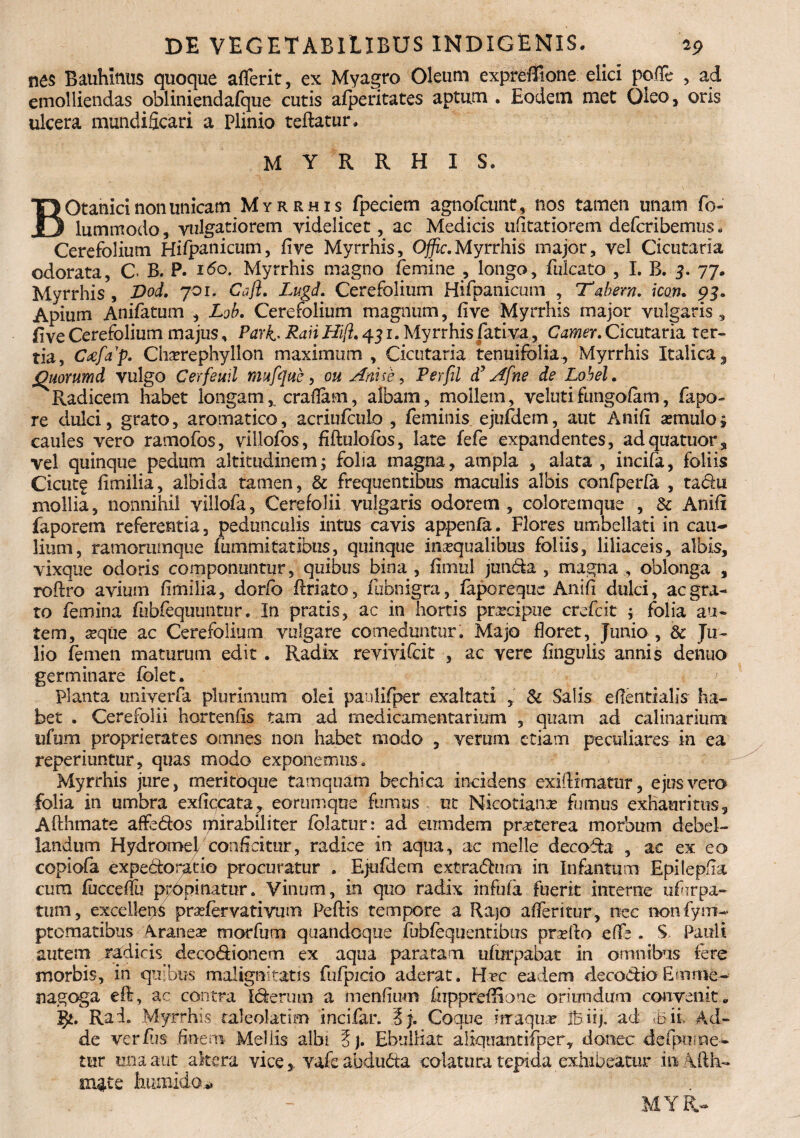 nes Bauhmtis quoque aflerit, ex Myagro Oleum expreffione elici pofTe , ad emolliendas obliniendafque cutis afperitates aptum . Eodem met Oleo, oris ulcera mundificari a Plinio teftatur. MYRRHIS. BOtanici non unicam Myrrhis fpeciem agnofcunt, lios tamen unam fo- lummodo, vulgatiorem videlicet, ac Medicis ufitatiorem defcribemus. Cerefolium Hifpanicum, live Myrrhis, Offic.Myrrhis major, vel Cicutaria odorata, C B. P. i<5o. Myrrhis magno femine , longo, fulcato , I. B. 3. 77. Myrrhis, Dod. 701. Caji. Lugd. Cerefolium Hifpanicum , Tabem, icon. 93» Apium Anifatum , Lob. Cerefolium magnum, live Myrrhis major vulgaris „ fi ve Cerefolium majus, Parh Raii Hift. 45 r. Myrrhis fativa, Camer. Cicutaria ter¬ tia, Cafap. Chxrephyllon maximum , Cicutaria tenuifclia, Myrrhis Italica, Quorum d vulgo Cerfeuil mufque , gu Ani se, Perfil d’ Afne de Lobel. Radicem habet longameradam, albam, mollem, velutifungolam, fapo» re dulci, grato, aromatico, acriufculo , feminis ejufdem, aut Anili semulo; caules vero ramofos, villofos, fiilulofos, late fefe expandentes, adquatuor, vel quinque pedum altitudinem; folia magna, ampla , alata, incifa, foliis Cicutf limilia, albida tamen, & frequentibus maculis albis confperla , tadu mollia, nonnihil villofa, Cerefolii vulgaris odorem , coloremque , & Anili faporem referentia, pedunculis intus cavis appenfa. Flores umbellati in cau¬ lium, ramorumque fummi tat ibus, quinque inaequalibus foliis, liliaceis, albis, vixqne odoris componuntur, quibus bina , fiinul junda , magna, oblonga , roflro avium limilia, dor/b flriato, fubnigra, laporeque Anili dulci, ac gra¬ to femina fubfequuntur. In pratis, ac in hortis praecipue crefcit ; folia au¬ tem, aeque ac Cerefolium vulgare comeduntur. Majo floret, Junio , & Ju¬ lio femen maturum edit. Radix revivifcit , ac vere lingulis annis denuo germinare lolet. Planta univerfa plurimum olei paulifper exaltati , Si Salis edentialis ha¬ bet . Cerefolii hortenlis tam ad medicamentarium , quam ad calinarium ufum proprietates omnes non habet modo , verum etiam peculiares in ea reperiuntur, quas modo exponemus. Myrrhis jure, meritoque tamquam bechica incidens exiftimatur, ejus vero folia in umbra exflqcata, eorumqne fumus ut Nkotianx fumus exhauri tus, Afthmate affedos ipirabiliter folatur: ad eum dem prxterea morbum debel¬ landum HydromeE conficitur, radice in aqua, ac meile decoda , ac ex eo copiofa expedoratio procuratur . Ejufdem extradum in Infantium Epilepfa cura luccellu propinatur. Vinum, in quo radix infula fuerit interne ufhrpa- tum, excellegs prxfervativum Pellis tempore a Rajo alferitur, nec non fym- ptematibus Araneas morfum quandoque fubfequentibus prxilo effs. S Pauli autem radicis decodionem ex aqua paratam ufurpabat in omnibus fere morbis, in quibus malignitatis fufpicio aderat. Hec eadem decodio Emrne- nagoga eR, ac contra Iderutn a menfium fuppreliioue oriundum convenit. Rad. Myrrhis taleolatim incifar. Ej. Coque irraqux Ifeirj. ad E ii. Ad¬ de ver/iis finem Mellis albi E). Ebulliat aliquantifper, donec defpume- tur una aut altera vice , vafcabduda colatura tepida exhibeatur inAfth- mate humido* MYR-