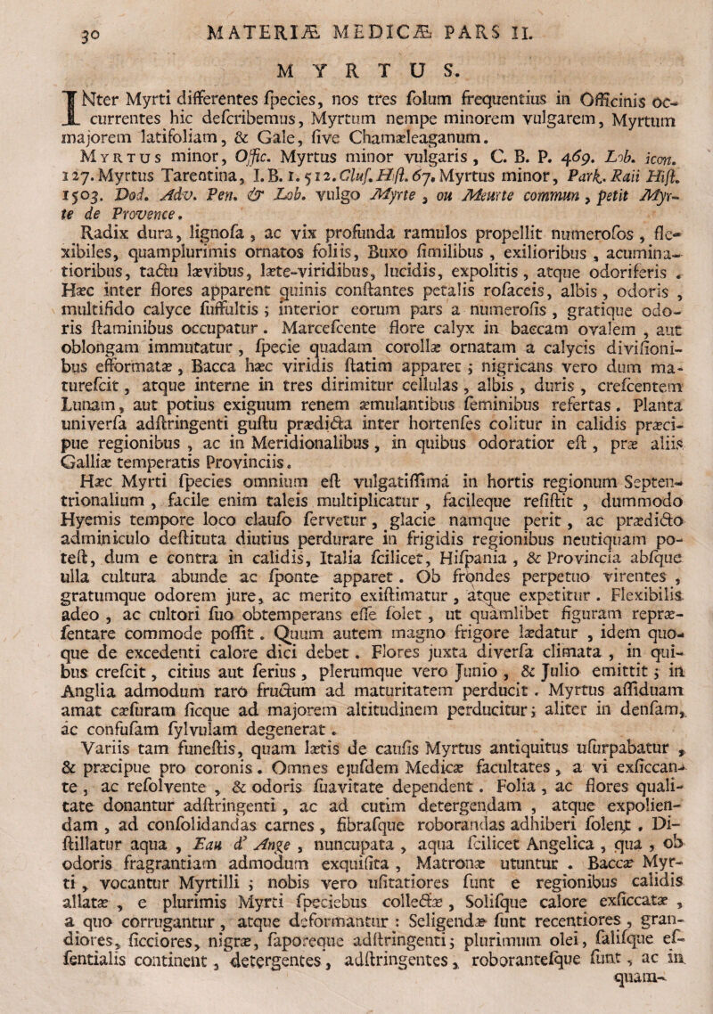 MYRTUS* INlter Myrti differentes fpecies, nos tres folum frequentius in Officinis oc¬ currentes hic defcribemus, Myrtum nempe minorem vulgarem, Myrtum majorem latifoliam, & Gale, five Chamadeaganum. Myrtus minor, OJfic. Myrtus minor vulgaris , C. B. P. 469. LiL icon. 127. Myrtus Tarentina, I. B. t. 512. Cluf. Hijl. 67, Myrtus minor, ParRaii HijL 1503. Dod. Adv. Pen, & Lob. vulgo Myrte > oh Meurte commun > petit Myr¬ te de Provence. Radix dura, lignofa , ac vix profunda ramulos propellit numerofos , fle*» xibiles, quamplurimis ornatos foliis. Buxo fimilibus , exilioribus , acumina- tioribus, tadu Isevlbus, toe-viridibus, lucidis, expolitis, atque odoriferis . Hsec inter flores apparent quinis conflantes petalis rofaceis, albis , odoris , multifido calyce fuffultis ; interior eorum pars a numerofis , gratique odo¬ ris flaminibus occupatur. Marce/cente flore calyx in baecam ovalem , aut oblongam immutatur , fpecie quadam corollse ornatam a calycis divifioni- bus efformatse , Bacca hasc viridis flatim apparet ; nigricans vero dum ma- turefcit, atque interne in tres dirimitur cellulas, albis , duris , crefcentem Lunam, aut potius exiguum renem semulantibus feminibus refertas. Planta univerfa adflringenti guflu pra?di&a inter hortenfes colitur in calidis praeci¬ pue regionibus , ac in Meridionalibus, in quibus odoratior efl, prae aliis Galliae temperatis Provinciis. Haec Myrti fpecies omnium efl vulgatiffima in hortis regionum Septen¬ trionalium , facile enim taleis multiplicatur , facileque refiflit , dummodo Hyemis tempore loco claufo fervetur, glacie namque perit, ac praedi&o adminiculo deflituta diutius perdurare in frigidis regionibus neutiquam po¬ te fl, dum e contra in calidis, Italia fciUcet, Hifpania , & Provincia ab/que ulla cultura abunde ac /ponte apparet. Ob frondes perpetuo virentes , gratumque odorem jure, ac merito exiflimatur , atque expetitur . Flexibilis adeo , ac cultori /iio obtemperans effe folet , ut quamlibet figuram reprx- fentare commode poffit. Quum autem magno frigore ludatur , idem quo¬ que de excedenti calore dici debet. Flores juxta diverfa climata , in qui¬ bus crefcit, citius aut ferius , plerumque vero Junio , & Julio emittit; in Anglia admodum raro fruchim ad maturitatem perducit . Myrtus affiduam amat cse/uram ficque ad majorem altitudinem perducitur i aliter in denfam, ac confufam fylvulam degenerat * Variis tam fiineftis, quam fetis de caufis Myrtus antiquitus uflirpabatur * & praecipue pro coronis. Omnes ejufdem Medica facultates, a vi exficcan-> te 3 ac refolvente , & odoris iuavitate dependent. Folia , ac flores quali¬ tate donantur adftringenti , ac ad cutim detergendam , atque expolien¬ dam , ad confolidandas carnes, fibrafque roborandas adhiberi folen£, Di- ffillatur aqua , Fau dy Ange , nuncupata , aqua fcilicet Angelica , qua , oI> odoris fragrantiam admodum exquifita , Matrona utuntur * Bacca: Myr¬ ti , vocantur Myrtilli ; nobis vero ufitatiores funt e regionibus calidis allata? , e plurimis Myrti fpeciebus colle<5fe , Solifque calore exficcatae , a quo corrugantur, atque deformantur : Seligenda funt recentiores , gran¬ diores r ficciores, nigrse, /aporeque adftringenti 5 plurimum olei, falifque ef- fentialis continent, detergentes, adftringentesroborante/que funt, ac in quam--
