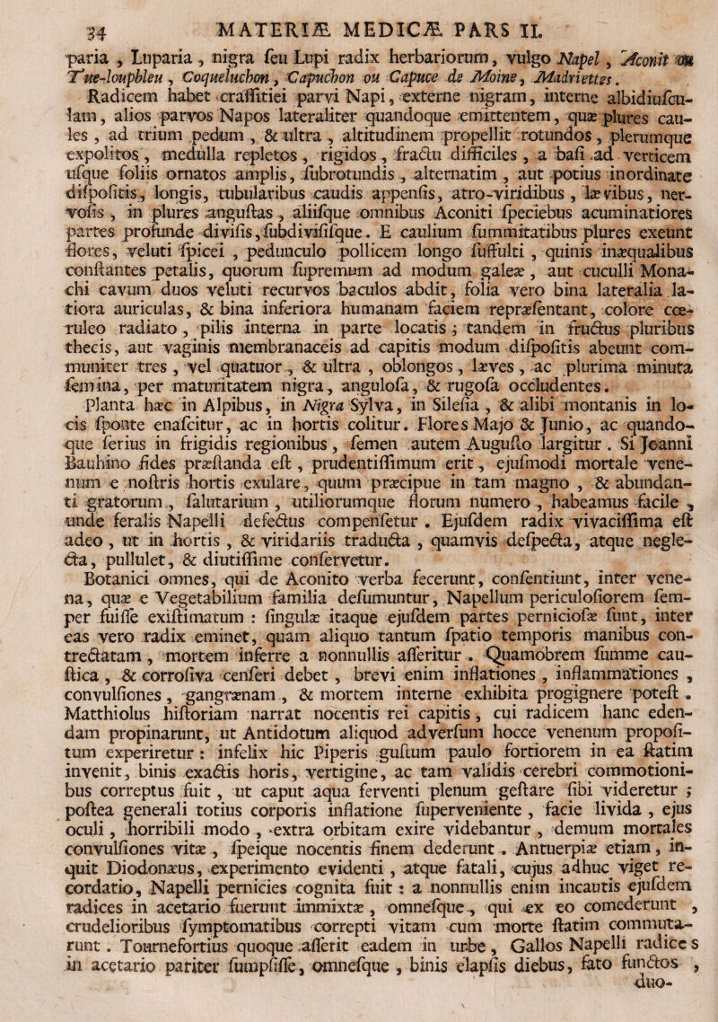 paria , Luparia , nigra feu Lupi radix herbariorum, vulgo Napel, jfconit m Tue-loupbieu , Coqueluchan, Capucbon ou Capuce de Moine , Madriettes. Radicem habet craffitiei parvi Napi, externe nigram, interne albidiufcu- !atn, alios parvos Napos lateraliter quandoque emittentem, quas plures cau¬ les , ad trium pedum , & ultra , altitudinem propellit rotundos, plerumque expolitos , medulla repletos , rigidos , fradu difficiles , a bafi .ad verticem ufque foliis ornatos amplis, fubrotundis , alternarim , aut potius Inordinate difpofitis , longis, tubularibus caudis appenfis, atro-yiridibus , Iambus, ner- vofis , in plures anguftas , aliifque omnibus Aconiti fpeeiebus acuminatiores partes profunde diviiis , fubdivififque. E caulium fommitatibus plures exeunt flores, veluti fpicei , pedunculo pollicem longo fuffulti , quinis Inaequalibus conflantes petalis, quorum lupremnm ad modum galese, aut cuculli Mona¬ chi cavum duos veluti recurvos baculos abdit , folia vero bina lateralia la¬ tiora auriculas, & bina inferiora humanam faciem repradentant, colore coe¬ ruleo radiato , pilis interna in parte locatis ^ tandem in frudus pluribus thecis, aut vaginis membranaceis ad capitis modum difpofitis abeunt com¬ muniter tres , vel quatuor , & ultra , oblongos, larves , ac plurima minuta femina, per maturitatem nigra, angulofa, & rugofe occludentes. Planta hac in Alpibus, in Nigra Sylva, in Silefia , & alibi montanis in lo¬ cis fponte enafeitur, ac in hortis colitur. Flores Majo & Junio, ac quando¬ que ferius in frigidis regionibus, femen autem Auguflo largitur . Si Jeanni Bauhino fides prafianda eft , prudentifiimuni erit, ejufinodi mortale vene¬ num e noftris hortis exulare, quimi praecipue in tam magno , & abundan¬ ti gratorum , ialutarium , utiliorumque florum numero , habeamus facile unde feralis Napelli defedus compenfetur . Ejufdem radix vivaciffima efl adeo , ut m hortis , & viridariis traduda , quamvis defpeda, atque negle¬ cta , pullulet, & diutiffime confervetur. Botanici omnes, qui de Aconito verba fecerunt, confentiunt, inter vene¬ na, qua? e Vegetabilium familia defiimuntur, Napellum periculofiorem fem- per fui fle exiftimatum : fingula? itaque ejufdem partes perniciofa? funt, inter eas vero radix leminet, quam aliquo tantum fpatio temporis manibus con- tredatam , mortem inferre a nonnullis afleritur . Quamobrem fumme cau¬ dica , & corrofiva cenferi debet , brevi enim inflationes , inflammationes , convulfiones , gangrenam , & mortem interne exhibita progignere poteft . Matthiolus hiftoriam narrat nocentis rei capitis , cui radicem hanc eden¬ dam propinarunt, ut Antidotum aliquod adverfum hocce venenum propofi- tum experiretur : infelix hic Piperis gufium paulo fortiorem in ea ftatim invenit, binis exadis horis, vertigine, ac tam validis cerebri commotioni¬ bus correptus fuit, ut caput aqua ferventi plenum geftare fibi videretur ; poftea generali totius corporis inflatione fuperveniente , facie livida , ejus oculi, horribili modo , -extra orbitam exire videbantur , demum morales convulfiones vita? , ipeique nocentis finem dederunt. Antuerpia? etiam, in¬ quit Diodonaus, experimento evidenti, atque fatali, cujus adhuc viget re¬ cordatio, Napelli pernicies cognita fuit: a nonnullis enim incautis ejufdem. tadices in acetario fuerunt immixta?, omnefque, qui ex eo comederunt , crudelioribus fymptomatibus correpti vitam cum morte flatim commuta¬ runt . Tournefortius quoque aflerit eadem in unbe, Gallos Napelli radices in acetario pariter fumpfifle, omnefque , binis elapfis diebus, fato fundos , duo-