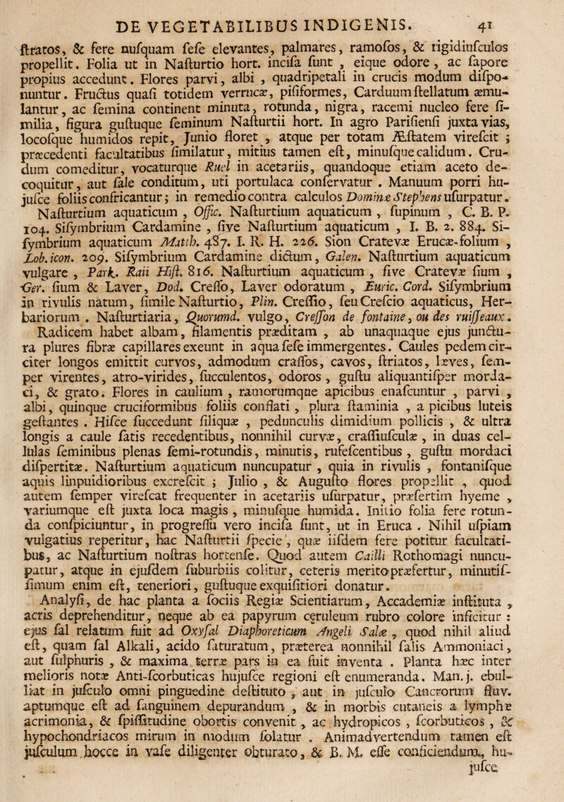 ft ratos, & fere nufquam fefe elevantes, palmares, ramofos, & rigidiufculos propellit. Folia ut in Nafturtio hort. incifa funt , eique odore , ac fapore propius accedunt. Flores parvi, albi , quadripetali in crucis modum difpo-» nuntur. Fructus quafi totidem verruca, pififormes, Carduumftellatutn cu¬ lantur, ac Femina continent minuta, rotunda, nigra, racemi nucleo fere fi- milia, figura guftuque Feminum Nafturtii hort. In agro Parifienfi juxta vias, locofque^humidos repit, Junio floret , atque per totam iEftatem virefcit ; prrecedenti facultatibus fimilatur, mitius tamen efl, minufque calidum. Cru¬ dum comeditur, vocaturqne Rucl in acetariis, quandoque etiam aceto de¬ coquitur , aut fale conditum, uti portulaca confervatur . Manuum porri hu- juFce foliis confricantur; in remedio contra calculos DommzStepbens ufurpatur, Nafturtium aquaticum , Offic. Nafturtium aquaticum , fupinum , C. B, P. 104. Siiymbrium Cardamine , five Naflurtium aquaticum , I. B. 2. 884. Si- fymbrium aquaticum Mattb. 4X7. I. R. H. 226. Sion Crate va? Eruca?-folium , Lob.icon. 209. Sifymbrium Cardamine didum, Galen. Naflurtium aquaticum vulgare , Park. Raii Hift. 8x6. Nafturtium aquaticum , five Crateva? fium , Ger\ fium & Laver, Dod. Creffc, Laver odoratum , Euric. Cord. SiFymbriura in rivulis natum, fimileNafturtio, Pltn, Creflio, FeuCreFcio aquaticus, Her¬ bariorum . Nafturtiaria, Quommd. vulgo , Creffbn de fontaine, ou des ruijjeaux. Radicem habet albam, filamentis proditam , ab unaquaque ejus jundu- ra plures fibrae capillares exeunt in aqua fefe immergentes. Caules pedem cir¬ citer longos emittit curvos, admodum craflbs, cavos, ftriatos, Ixves, fem- per virentes, atro-virides, faeculentos, odoros, guftu aliquantiiper morda¬ ci, & grato. Flores in caulium , ramorumque apicibus enafcuntur , parvi , albi, quinque cruciformibus foliis conflati, plura flaminia , a picibus luteis geftantes . Hifce fuccedunt filiqua? , pedunculis dimidium pollicis , & ultra longis a caule fatis recedentibus, nonnihil curva?, crafliiifcula?, in duas cel¬ lulas feminibus plenas femi-rotundis, minutis, rufefcentibus , guftu mordaci difpertita?. Nafturtium aquaticum nuncupatur , quia in rivulis , fontanifque aquis linpuidioribus excrefcit ; Julio , & Augufto flores propellit , quod autem femper virefcat frequenter in acetariis ufiirpatur, prsefertim hyeme , variumque efl juxta loca magis , minufque humida. Initio folia fere rotun¬ da confpiciuntur, in progreflii vero incifa fimt, ut in Eruca . Nihil ufpiam vulgatius reperitur, hac Nafturtii fpecie, qua? iifdem fere potitur facultati¬ bus, ac Nafturtium noftras hoftenie. Quod autem C allii Rothomagi nuncu¬ patur, atque in ejufdem fiiburbiis colitur, ceteris merito profertur, minutif- fimum enim efl, teneriori, guftuqueexquifitiori donatur. Analyfi, de hac planta a fociis Regia? Scientiarum, Accadentia? inftituta , acris deprehenditur, neque ab ea papyrum ceruleum rubro colore inficitur : ejus fal relatum fuit ad Oxyfd Diaphoreticum Angeli Sala 7 quod nihil aliud efl, quam fal Alkali, acido faturatum, praeterea nonnihil falis Ammoniaci, aut fulphtiris , & maxima terrae pars in ea fuit inventa . Planta ha?c inter melioris notae Anti-fcorbuticas hujufce regioni efl: enumeranda. Man.j. ebul¬ liat in jufculo omni pinguedine deftituto , aut in jufculo Cancrorum fiuv. aptumque eft ad fanguinem depurandum , & in morbis cutaneis a lymphae acrimonia, & fpiflstudine obortis convenit ,, ac hydropicos , fcorbutkos , Z< hypochondriacos mirum in modum folatur . Animadvertendum tamen eft jufculiim hocce in vafe diligenter obturato, & B. M* efle conficiendum,, ha-