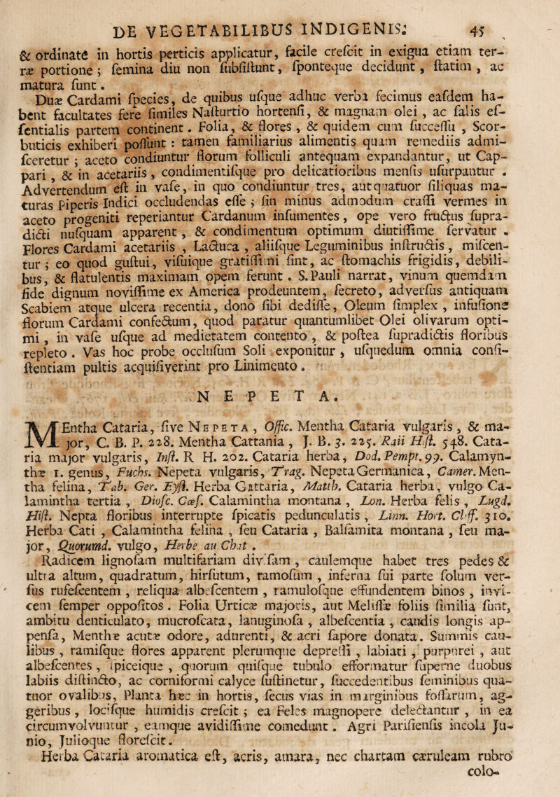 & ordinate in hortis perticis applicatur, facile crefcic in exigua etiam ter¬ re portione ; femina diu non fubfillunt, fponteque decidunt, ftatim , ac matura funt. ■ „ , . Duse Cardami fpecies, de quibus ufque adhuc veroa fecimus eafdem ha¬ bent facultates fere fimiles Nafturtio hortenfi, & magnam olei , ac falis ef- fentialis partem continent. Folia, & flores , & quidem cum fucceflii , Scor¬ buticis exhiberi poflunt : tamen familiarius alimentis quam remediis admi- fceretur * aceto condiuntur florum folliculi antequam expandantur, ut Cap¬ pari &5in acetariis, condimentiique pro delicatioribus menfls ufurpantur . Advertendum eft: in vafe, in quo condiuntur tres, autquatuor Aliquas ma¬ turas Piperis Indici occludendas efle i fin minus admodum crafli vermes in aceto progeniti reperiantur Cardanum infumentes, ope . vero frufhis fupra- didi nufquam apparent, & condimentum optimum diutiffime. fervatur . Flores Cardami acetariis , Lachica , aliifque Leguminibus inftrudis, mifcen- tur ; eo quod guftui, vifuique gratifiimi fint, ac flomachis frigidis, debili¬ bus, & flatulentis maximam opem ferunt. S. Pauli narrat, vinum quemdam fide5 dignum noviflime ex America prodeuntem, fecreto, adverfus antiquam Scabiem atque ulcera recentia, dono flbi dedifle, Oleum fimplex , infufione florum Cardami confe&um, quod paratur quantumlibet Olei olivarum opti¬ mi , in vafe ufque ad medietatem contento , & poftea fupradidis floribus repleto . Vas hoc probe occltifum Soli exponitur , ufquedum omnia confi- ilentiam pultis acquifiverint pro Linimento. NEPETA. MEntha Cataria,fi ve Nepeta, Offic. Mentha Cataria vulgaris , & ma¬ jor, C B, P. 228. Mentha Cattania , J, B. 3* 225. Raii Hfi. 548. Cata¬ ria major vulgaris, Inft.R H. 202. Cataria herba* Dod»Pempt.^p. Calainyn- tha? 1. genus ^ Fuchs. Nepeta vulgaria, T rag. Nepeta Germanica, Comer. Men¬ tha felina, T1 ab. Ger. Fyfl. Herba Gattaria, Matih. Cataria herba, vulgo Ca¬ lamintha tertia , Diofc. Ccef. Calamintha montana , Lon. Herba felis , Lugd. HifL Nepta floribus interrupte fpicatis peduncularis, Linn. Hort. Clff. 310. Herba Cati , Calamintha felina , feu Cataria , Baliamita montana , feu ma¬ jor, Quonimd. vulgo, Hexbe au Chat . Radicem lignofam multifariam div fam , caulemque habet tres pedes $c ultra altum, quadratum, hirfutum, ramofum , inferna fui parte folum ver- fus rufefeentem , reliqua albefeentem , ramulofque effundentem binos , invi¬ cem femper oppofitos. Folia Urtica? majoris, aut MelifLe foliis fimilia funt, ambitu denticulato, mucrolcata, lanuginofii, albefcentia , caudis longis ap~ penfa, Menthe acuta? odore, adurenti, & acri fapore donata. Summis cau¬ libus , ramifque flores apparent plerumque deprefll , labiati , purpurei , aut albefcentes , ipiceique , quorum quifque tubulo effonnatur fuperne duobus labiis diftin&o, ac cornifermi calyce (uftinetur, fiiccedentibus feminibus qua- tuor ovalibus, Planta ha?c in hortis, fecus vias in marginibus foflarum, ag¬ geribus , locifque humidis crefcit; ea Feles magnopere dele&antnr , in ea circumvolvuntur , eamque avidi (Ii me comedunt. Agri Parifienfis incola Ju¬ nio, Jmioque florefeit. Herba Cataria aromatica eft, acris, amara, nec chartam candeam rubro colo-