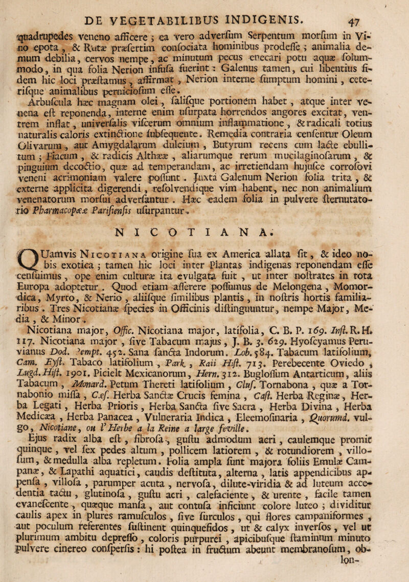 quadrupedes veneno afficere ; ea vero adverfum Serpentum morfum in Vi¬ no epota , & Rutas prasfertim confociata hominibus prodefie ; animalia de¬ mum debilia, cervos nempe, ac minutum pecus enecari potu aquas folum- modo, in qua folia Nerion infula fuerint: Galenus tamen, cui libentius fi¬ dem hic loci prasftamus , affirmat , Nerion interne fiimptum homini, cete-, rifque animalibus perniciofimi efle. Arbufcula hasc magnam olei, falifque portionem habet, atque inter ve¬ nena eft reponenda, interne enim ufurpata horrendos angores excitat, ven¬ trem inflat , univerfalis vifcerum omnium inflammatione, &radicali totius naturalis caloris extindione fabfequente. Remedia contraria cenfenttir Oleum Olivarum , aut Amygdalarum dulcium , Butyrum recens cum lade ebulli— tum ; Fiacum , 3c radicis Althseas , aliarumque rerum mucilaginofamm , 8c pinguium decodio, quas ad temperandam, ac irretiendam hujufce corrofbvi veneni acrimoniam valere poflunt. Juxta Galenum Nerion folia trita , 8c externe applicita digerendi/, refol vendi que vim habent, nec non animalium venenatorum morfui adverfantur . Hac eadem folia in pulvere demutato- rio Pbamacopcex Parifmfis ufurpantur. N X C O T I A N A. QUamvis Nicotxana origine fua ex America allata fit, & ideo no¬ bis exotica ; tamen hic loci inter Piantas indigenas reponendam efle cenfuimus , ope enim cultura ita evulgata fuit , ut inter noftrates in tota Europa adoptetur . Quod etiam aflerere poflumus de Melongena , Momor- dica, Myrto, & Nerio , aliifque fimilibus plantis, in noftris hortis familia¬ ribus . Tres Nicotianas fpecies in Officinis diflinguuntur, nempe Major, Me¬ dia , & Minor. Nicotiana major, Offic. Nicotiana major, latifolia, C. B. P. 169. Injl.R.H* 117. Nicotiana major , fi ve Tabacum majus , J. B. 3. 629. Hyofcyamus Peru- vianus Dod. yempt. 452. Sana fanda Indorum. Lob.584. Tabacum latifolium, Cam. Eyft* Tabaco latifolium , Park s Raii Hift. 713. Perebecente Oviedo , Lugd.Hijl. 1901. Picielt Mexicanorum, Hem. 312. Buglofllim Antartkum, aliis Tabacum , Monard. Petum Thereti latifolium , Cluf. Tornabona , quas a Tor- nabonio mifla , Cjef. Herba Sanctas Crucis femina , Caji. Herba Reginas, Her¬ ba Legati, Herba Prioris , Herba Sanda five Sacra , Herba Divina , Herba Medicasa , Herba Panacea , Vulneraria Indica , Eleemofinaria , Quorumd. vul¬ go, Nicoiiane, ou V Hetbe a la Reme a large feville. Ejus radix alba efl:, fibrofa, guflu admodum aeri, caulemque promit quinque , vel fex pedes altum , pollicem latiorem , & rotundiorem , villo- fum, & medulla alba repletum. Polia ampla fiint majora foliis Emulas Cam¬ panas , & Lapathi aquatici, caudis deftituta, alterna , latis appendicibus ap«* penfa , villofa , parumper acuta , nervofa, dilute-viridia & ad luteum acce¬ dentia tadu , glutinofa , guftu acri , calefaciente , & urente , facile tamen evanefoente , quaque mania, aut contufa inficiunt colore luteo ; dividitur caulis apex in plures ramufculos , five furculos , qui flores campaniformes , aut poculum referentes fuftinent quinquefidos , ut & calyx inverfos , vel ut plurimum ambitu depreflo, coloris purpurei , apicibufque ftaminnm minuto pulvere cinereo confperfis: hi poftea in frudum abeunt membranofum, ob- 1