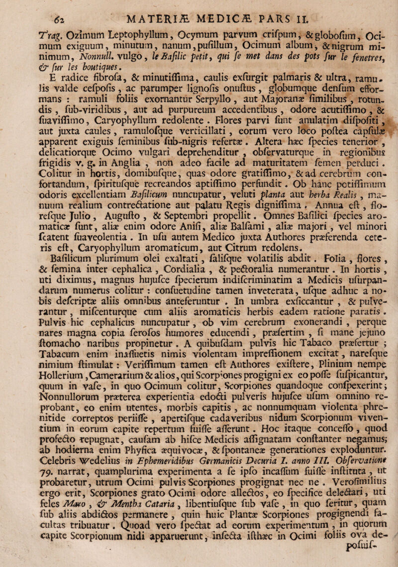 T3rag. Ozimum Leptophyllum, Ocymum parvum crifpum, &globofum, Oci¬ mum exiguum, minutum, nanum, pufiilum, Ocimum album, & nigrum mi¬ nimum, Nonnull. vulgo, le fi a fili c petit, qui fe met dans des pots fur le fenetres, & fur Jes boutiques. E radice fibrofa, & minutiffima, caulis exfiirgit palmaris & ultra, ramu¬ lis valde cefpofis, ac parumper lignofis onuftus, globumque denfum effor- mans : ramuli foliis exornantur Serpyllo , aut Majorana? fimilibus , rotun¬ dis , fub-viridibus, aut ad purpureum accedentibus , odore acutiffimo, & fiiaviffimo, Caryophyllum redolente . Flores parvi funt anulatim difpofiti, aut juxta caules, ramulofque verticillati, eorum vero loco poftea capfula? apparent exiguis feminibus fub-nigris refertse. Altera ha?c fpecies tenerior , delicatiorque Ocimo vulgari deprehenditur , obfervaturque in regionibus frigidis v. g. in Anglia , non adeo facile ad maturitatem femen perduci. Colitur in hortis, domibufque, quas odore gratiffimo, &ad cerebrum con¬ fortandum, fpiritufque recreandos aptiffimo perfundit. Ob hanc potiffimum odoris excellentiam £ a filicum nuncupatur, veluti planta aut herba Redis, ma¬ nuum realium contredatione aut palatu Regis digniflima , Annua eft , flo- refque Julio , Augufto , & Septembri propellit. Omnes Bafilici fpecies aro¬ matica? funt, alia? enim odore Anifi, alia? Balfami, alia? majori, vel minori fcatent fuaveolentia. In ufu autem Medico juxta Authores pra?ferenda cete¬ ris eft, Caryophyllum aromaticum, aut Citrum redolens. Bafilicum plurimum olei exaltati, faliique volatilis abdit. Folia, flores , & femina inter cephalica , Cordialia , & pedoralia numerantur. In hortis , uti diximus, magnus hujufce fpecierum indifcriminatim a Medicis ufurpan- darum numerus colitur : confuetudine tamen inveterata, ufque adhuc a no¬ bis defcripta? aliis omnibus anteferuntur . In umbra exficcantur , & pulve¬ rantur , mifcenturque cum aliis aromaticis herbis eadem ratione paratis . Pulvis hic cephalicus nuncupatur, ob vim cerebrum exonerandi , perque nares magna copia ferofos humores educendi, pra?fertim , fi mane jejuno ftomacho naribus propinetur . A quibufdam pulvis hic Tabaco profertur ; Tabacum enim inaffuetis nimis violentam impreffionem excitat, narefque nimium ftimulat: Veriffimum tamen eft Authores exiftere, Plinium nempe Hollerium, Camerarium & alios, qui Scorpiones progigni ex eo poffe fiifpicantur, quum in vafe, in quo Ocimum colitur. Scorpiones quandoque confpexerint; Nonnullorum prseterea experientia edodi pulveris hujufce ufum omnino re¬ probant, eo enim utentes, morbis capitis , ac nonnumquam violenta phre¬ nitide correptos periiffe , apertifque cadaveribus nidum Scorpionum viven¬ tium in eorum capite repertum fuifle afferunt. Hoc itaque concedo, quod profedo repugnat, caufam ab hifce Medicis adignatam conftanter negamus; ab hodierna enim Phyfica a?quivQca?, &fpontanea? generationes exploduntur. Celebris Wedelius in Ephemeridibus Germanicis Decuria 1. anno III. Obfervationt 79. narrat, quamplurima experimenta a fe ipfo incaffum fuifle inftituta, ut probaretur, utrum Ocimi pulvis Scorpiones progignat nec ne . Verofimilius ergo erit, Scorpiones grato Ocimi odore alledos, eo fpecifice deledari, uti feles Maro , & Mentha Cataria, libentiufque fub Vafe , in quo feritur, quam fub aliis abdidos permanere , quin huic Planta? Scorpiones progignendi fa¬ cultas tribuatur. Quoad vero fpedat ad eorum experimentum , in quorum capite Scorpionum nidi apparuerunt, infeda iftha?c in Ocimi foliis ova de-
