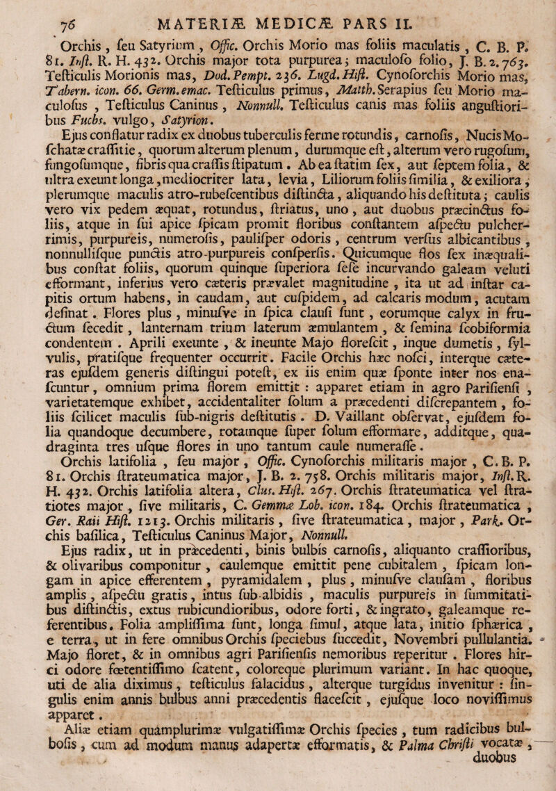 * Orchis , feu Satyri um , Offic. Orchis Morio mas foliis maculatis , C. B. P* 81. Irift. R. H. 432. Orchis major tota purpurea; maculofb folio, J. 15*2.763. Tefticulis Morionis mas, Dod.Pempt. 236. Lugd.Hift. Cynoforchis Morio mas, Tabem, icon. 66. Germ. emac. Tefticulus primus, Matth. Serapius feu Morio ma- culofus , Tefticulus Caninus, Nonnull. Tefticulus canis mas foliis anguftiori- bus Fucbs. vulgo, Satyrion. Ejus conflatur radix ex duobus tuberculis ferme rotundis, carnofis, NucisMo- fchato crafifuie, quorum alterum plenum, durumque eft, alterum vero rugofum, fimgofumque, fibris quacraflis ftipatum • Abeaftatim fex, aut (eptem folia, & ultra exeunt longa, mediocriter lata, levia. Liliorum foliis fimilia, & exiliora^ plerumque maculis atro-rubefcentibus diftin&a, aliquandohisdeftituta; caulis vero vix pedem sequat, rotundus, ftriatus, uno, aut duobus procin&us fo¬ liis, atque in fui apice (picatu promit floribus conftantem afpe&u pulcher¬ rimis, purpureis, numerofis, paulifper odoris, centrum verfus albicantibus , nonnullifque pundis atro-purpureis confperfis. Qtiicumque flos fex inaequali¬ bus conftat foliis, quorum quinque fuperiora (efe incurvando galeam vduti efformant, inferius vero coteris praevalet magnitudine 3 ita ut ad inftar ca¬ pitis ortum habens, in caudam, aut cufpidem, ad calcaris modum, acutam definat. Flores plus , minufVe in fpica claufi funt, eorumque calyx in fru¬ dum (ecedit, lanternam trium laterum aemulantem , & femina fcobiformia condentem . Aprili exeunte , & ineunte Majo florefcit, inque dumetis , fyl— vulis, pratifque frequenter occurrit. Facile Orchis hoc nofci, interque cete¬ ras ejufdem generis diftingui poteft, ex iis enim quae (ponte inter nos ena- fcuntur, omnium prima florem emittit : apparet etiam in agro Parifienft , varietatemque exhibet, accidentaliter (blum a procedenti difcrepantem , fo¬ liis fcilicet maculis (iib-nigris deftitutis . D. Vaiilant oblervat, ejufdem fo¬ lia quandoque decumbere, rotamque (iiper folum efformare, additque, qua¬ draginta tres ufque flores in uno tantum caule numerafle. Orchis latifolia , feu major, Offic. Cynoforchis militaris major , C.B. P. 81. Orchis ftrateumatica major, J. B. 2. 758. Orchis militaris major, Infl.K. H. 432. Orchis latifolia altera, Cius. Hifl. 267. Orchis ftrateumatica vel ftra- tiotes major , five militaris, C. Gemmae Lob. icon. 184. Orchis ftrateumatica , Ger. Raii Hifl. 1213. Orchis militaris , five ftrateumatica, major , Pari» Or¬ chis bafilica, Tefticulus Caninus Major, Nonnull Ejus radix, ut in procedenti, binis bulbis carnofis, aliquanto craflioribus, & olivaribus componitur , caulemque emittit pene cubitalem , (picam lon¬ gam in apice efferentem , pyramidalem , plus, minufve claufam , floribus amplis , afpe&u gratis, intus fub-albidis , maculis purpureis in (ummitati- bus diftin&is, extus rubicundioribus, odore forti, & ingrato, galeamque re¬ ferentibus. Folia ampliflima funt, longa fimui, atque lata, initio fpnorica , e terra , ut in fere omnibus Orchis fpeciebus fuccedit, Novembri pullulantia. Majo floret, & in omnibus agri Parifienfis nemoribus reperitur . Flores hir¬ ci odore foetentiflimo fcatent, coloreque plurimum variant. In hac quoque, uti de alia diximus, tefticulus falacidus, alterque turgidus invenitur : An¬ gulis enim annis bulbus anni procedentis flacefcit, ejufque loco no vidimus apparet. Alio etiam qulmplurimo vulgatiflimo Orchis fpecies , tum radicibus bul- bofis, cum ad modum manus adaperto efformatis, & Palma Cbrifli vocato , - duobus