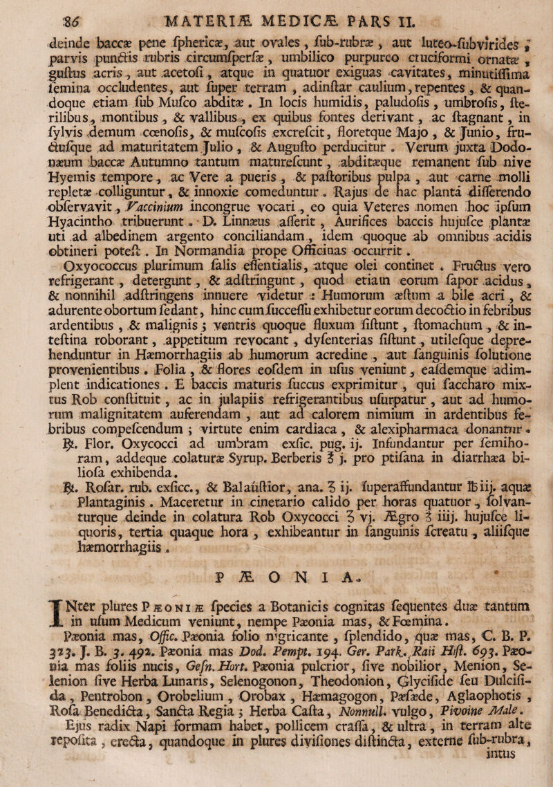 deinde bacca: pene fphericx, aut ovales, fub-rubra:, aut luteo-fubvlrides i parvis purfefis rubris circuiiirperfe , umbilico purpureo cruciformi ornata s guftus acris , aut acetofi , atque in quatuor exiguas;cavitates, minutiflima femina occludentes, aut fuper terram , adindar caulium, repentes, & quan¬ doque etiam fub Mufco abdita . In locis humidis, paludofis , umbrafis, He¬ rilibus, montibus, Sc vallibus , ex quibus fontes derivant , ac ftagnant, in fylvis demum ccenofis, & mufcofis excrefcit, floretque Majo , & Junio, fru- dulque ad maturitatem Julio, 3c Augufto perducitur . Verum juxta Dodo¬ naeum bacca: Autumno tantum maturefcunt, abditaeque remanent fub nive Hyemis tempore, ac Vere a pueris , .& paftoribus pulpa , aut carne molli repleta: colliguntur, & innoxie comeduntur. Rajus de hac planta differendo obfervavit, Faecinium incongrue vocari, eo quia Veteres momen hoc ipfum Hyacintho tribuerunt... D. Linnaeus afferit, Aurifices baccis hujufce planta? uti ad albedinem argento conciliandam, idem quoque ab omnibus acidis obtineri potefl... In Normandia prope Officinas occurrit. Oxyococcus plurimum falis eftentialis, atque olei continet * Fru&us vero refrigerant, detergunt, & adftringunt, quod etiatn eorum fapor acidus, & nonnihil adftringens innuere videtur 5 Humorum Am a bile acri, &: adurente obortum fedant, hinc cumjfuccefiii exhibetur eorum decorio in febribus ardentibus , & malignis ; ventris quoque fluxum fiftunt, ftomachum , & in- teftina roborant, appetitum revocant, dyfenterias fiftunt, utilefque depre¬ henduntur in Haemorrhagiis ab humorum acredine , aut fanguinis iolutione provenientibus. Folia, 8c flores eofdem in ufus veniunt , eafdemque adim¬ plent indicationes . E baccis maturis fuccus exprimitur , qui faccharo mix¬ tus Rob conftituit, ac in julapiis refrigerantibus ufurpatur , aut ad humo¬ rum malignitatem auferendam , aut ad calorem nimium in ardentibus fe¬ bribus compefcendum ; virtute enim cardiaca , & alexipharmaca donantur * Flor. Oxycocci ad umbram exfic. pug. ij. Infundantur per jfemiho- ram, addeque .colatura: Syrup. Berberis ? j. pro ptifima in diarrha:a bi- liofa exhibenda. fy. Rofar. rub. exficc., & Balauftior, ana. 5 ij. fuperaffundantur Ifeiij. aquae Plantaginis . Maceretur in cinerario calido per horas quatuor , fblyan- turque deinde in colatura Rob Oxycocci 5 vj. Agro t iiij. hujufce li¬ quoris , tertia quaque hora , exhibeantur in fanguinis icreatu , aliifque hasmorrhagiis, P A O N I A* INter pluresPioNiiE fpecies a Botanicis cognitas fequentes duse tantum in ufum Medicum veniunt, nempe Pronia mas, &Fcemina. Pronia mas, Offic. Paeonia folio nigricante , fplendido, qua: mas, C. B. P. 323. J. B. 3. 492. pronia mas Dod. Pempt. 194. Ger. Park. Rali Hift. 693. Pro¬ nia mas foliis nucis, Gefn.Hort. Pronia pulcrior, five nobilior, Menion, Se- lenion five Herba Lunaris, Selenogonon, Theodonion, (^lycifide feu Dulcifl- da , Pentrobon , Orobelium , Orobax , Haanagogon, Pseftede, Aglaophotis , Rofa Benedi&a, Sanda Regia ; Herba Cafta, NonnulU vulgo, Pivoine Male. Ejus radix Napi formam habet, pollicem craffa , & ultra, in terram alte tepofita , ere&a, quandoque in plures divifiones diftin&a, externe fub-rubra, intus