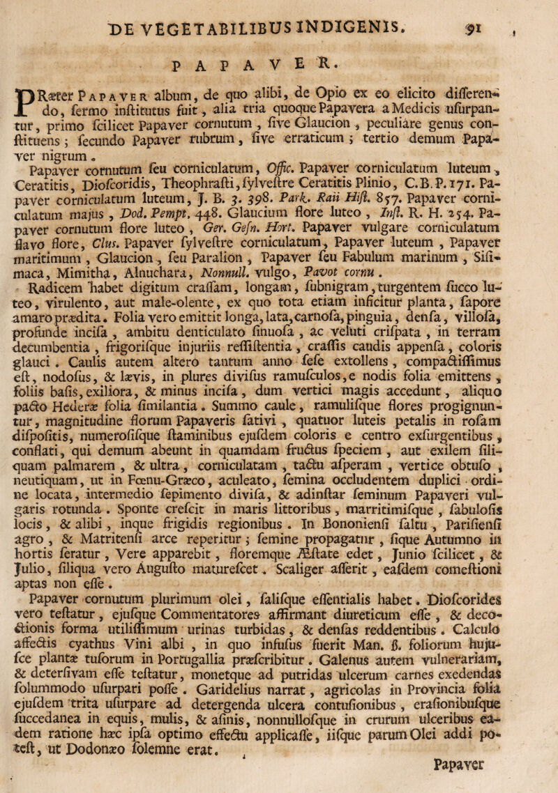 P A P A V E R. PR^ter Papa ver album, de quo alibi, de Opio ex eo elicito differetis do, fermo in ft i tutus fuit, alia tria quoque Papavera a Medicis ufurpan- tur, primo fcilicet Papaver cornutum , five Glaucion , peculiare genus con- ftituens; fecundo Papaver rubrum, five erraticum; tertio demum Papa¬ ver nigrum« Papaver cornutum feu corniculatum, Offic. Papaver corniculatum luteum Ceratitis, 'DiofcorkUs, Theophrafti, fylveftre Ceratitis Plinio, C.B.P. 171. Pa¬ paver corniculatum luteum, J. B. 3. 398. Parh Raii Hift. 857. Papaver corni¬ culatum majus , Dod.Pempt, 448. Glaucium flore luteo , Infl. R, H. 25:4. Pa¬ paver cornutum flore luteo , Ger. Gefn. Hort. Papaver vulgare corniculatum flavo flore, Cius. Papaver fylveftre corniculatum. Papaver luteum , Papaver maritimum , Glaucion, feu Paralion , Papaver feu Fabulum marinum , Sifi- maca, Mimitha, Alnuchara, Nonnull, vulgo, Pavot cornu. Radicem 'habet digitum craffam, longam, fubnigram,turgentem fucco lu¬ teo , virulento, aut mafe-olente, ex quo tota etiam inficitur planta, fapore amaroprodita. Folia vero emittit longa, lata,carnofa, pinguia, denfa, villofa, profunde incifa , ambitu denticulato finuofa , ac veluti crifpata , in terram decumbentia , frigorifque injuriis refiiflenti a , craflis caudis appenfa, coloris glauci. Caulis autem altero tantum anno fefe extollens, compadiflimus eft, nodofiis, & laevis, in plures divifus ramufculos,e nodis folia emittens , foliis bafis,exiliora, Sc minus incifa, dum vertici magis accedunt, aliquo pado Hedera folia fimilantia. Summo caule, ramulifque flores progignun¬ tur, magnitudine florum Papaveris fativi , quatuor luteis petalis in rofam difpofitis, numerofifque flaminibus ejufdem coloris e centro exfurgentibus , conflati, qui demum abeunt in quamdam frucflus fpeciem , aut exilem Ali¬ quam palmarem , Sc ultra, corniculatam , tadhi afperam , vertice obtufo , neutiquam, ut in Fcenu-Grasco, aculeato, femina occludentem duplici ordi¬ ne locata, intermedio Fepimento divifa, Sc adinftar feminum Papaveri vul¬ garis rotunda . Sponte crefcit in maris littoribus, marritimifque , fabulofis locis, & alibi, inque frigidis regionibus . In Bononienfi faltu , Parifienfi agro , Sc Matritenfi arce reperitur; femine propagatur , fique Autumno in hortis feratur , Vere apparebit, floremque iEftate edet, Junio fcilicet, Sc Julio, filiqua vero Augufto matiirefcet.. Scaliger aflerit, eafdem comeftioni aptas non efle. Papaver cornutum plurimum olei, falifque eflentialis habet. Diofcorides vero teftatur, ejufque Commentatores affirmant diureticum efle, Sc deco¬ ctionis forma utiliffimum urinas turbidas, Sc denfas reddentibus . Calculo affedis cyathus Vini albi , in quo infufus fuerit Man. fi. foliorum hujti- fce plantas tuforum in Portugallia prafcribitur. Galenus autem vulnerariam, Sc deterfivam efle teftatur, monetque ad putridas ulcerum carnes exedendas folummodo ufurpari poffe . Garidelius narrat, agricolas in Provincia folia ejufdem trita ufiirpare ad detergenda ulcera contufionibus , erafionibufque fuccedanea in equis, mulis, Sc afinis, nonnullofque in crurum ulceribus ea¬ dem ratione hasc ipfa optimo effedu applicaffe, iifque parum Olei addi po* teft, ut Dodonaeo Tolemne erat. Papaver