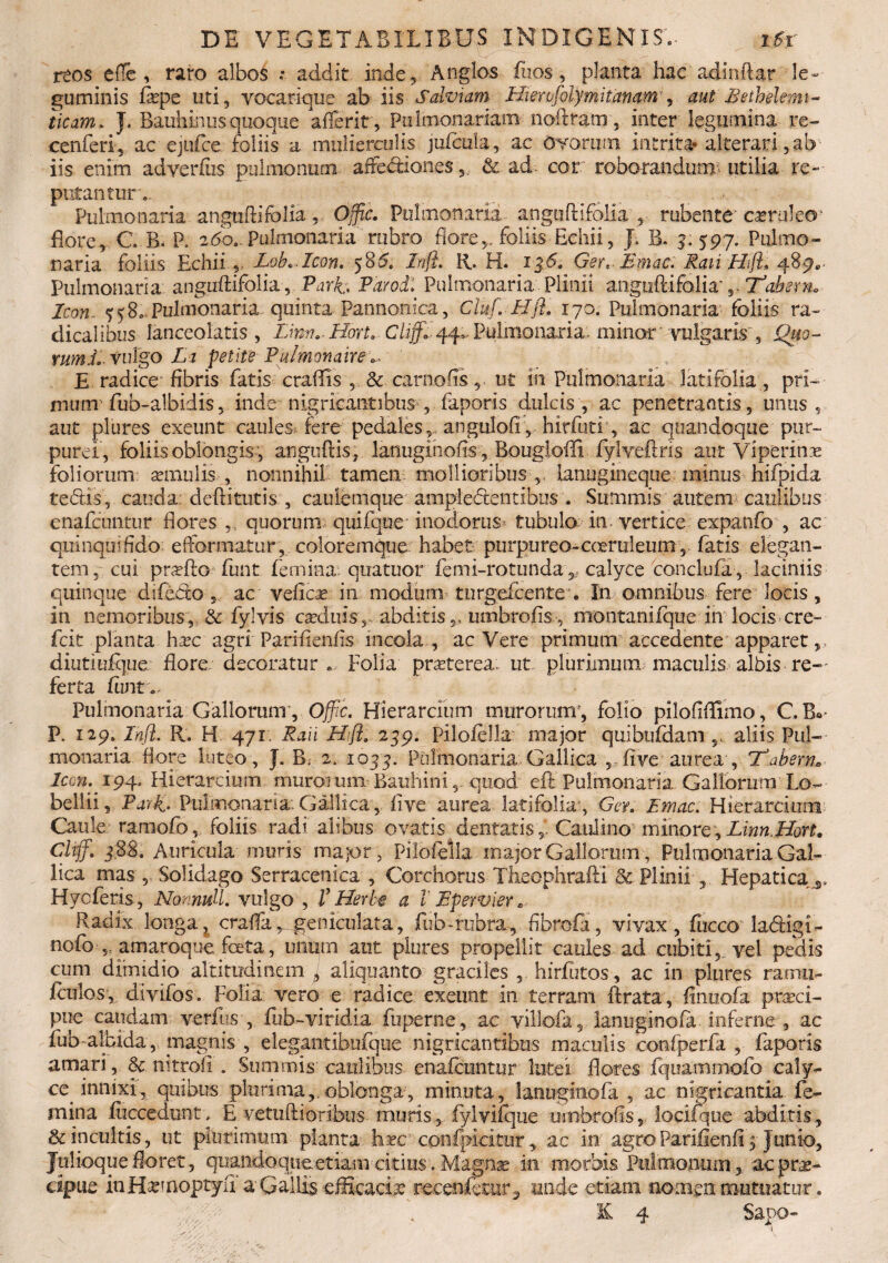 reos eflc , raro albos ; addit inde, Anglos fu os, planta hac adindar le¬ guminis faape uti, vocarique ab iis Salviam Hiervfolymitanam, aut Bethelemi~ ticam. J. Bauhinusquoque aderit, Pulmonariam noftram , inter legumina re- cenferi, ac ejufce foliis a mulierculis jufcula, ac ovorum intrita* alterari,ab iis enim adverfiis pulmonum affe&ianes& ad- cor roborandum, utilia re¬ putantur.. Pulmonaria anguftifolia, Offic. Pulmonaria anguftifolia , rubente-Coerulecr flore, C. B. R 260. Pulmonaria rubro flore,/foliis Echii, J. R. 5.597. Pulmo¬ naria foliis Echii ? Lob.Icon. 585. Infl. R. H. 1 J:6. Ger,. Emac. Raii Hifl* 489«, Pulmonaria anguftifolia , Park.. Pdrod. Pulmonaria Plinii anguftifolia'Tabem* Icon. 558..Pulmonaria quinta Pannonica, Cluf. Hfi. 170. Pulmonaria foliis ra~ dicalibus lanceolatis , Lim.-Hon. Clijf., 44*. Pulmonaria-. minor ' vulgaris'. Quo¬ rum ii vulgo Li petite Pulmonaire E radice fibris fatis craflis , & camo fis, ut £h Pulmonaria latifolia, pri¬ mum fub-albidis, inde nigricantibus , faporis dulcis, ac penetrantis, unus, aut plures exeunt caules? fere pedales, anguloft, hirfuti , ac quandoque pur¬ purei, foliis oblongis, anguftis; lanugiiiofis,.Bougloffi fylyeftris aut Viperinas foliorum aemulis , nonnihil tamen mollioribus ,, lanugineque minus hifpida te dis, cauda: deftitutis, caulem que ampledentibus . Summis autem caulibus enafcuntur flores ,, quorum quifque -inodorus* tubulo in- vertice expatifo , ac quinqmfldo efformatur, coloremque habet purpureo-coeruleum, fatis elegan¬ tem, cui prasfto funt femina, quatuor femi-rotunda 5? calyce conclufa , laciniis quinque difedo , ac vefioe in modum turgefoente . In omnibus fere locis, in nemoribus, & fylvis caeduis, abditis,, umbrofis, montanifque in locis cre- fcit planta hxc agri Parlftenfts incola , ac Vere primum accedente apparet, diutiufque flore; decoratur. Folia praeterea, ut plurimum maculis albis re-~ ferta ftint .. Pulmonaria Gallorum', Offic. Hierarcium murorum', folio pilofiflimo, C. B*- P. 129. Infl. R. H 471 Raii Hifl; 239. Pilofella major quibufdam aliis Pul¬ monaria flore luteo, J. B. 2. 1035. Pulmonaria Gallica ,.(ive aurea , 'Tabem* Icon. 194. Hierarcium murorum Batihiniquod eft Pulmonaria Gallorum Lo- bellii, Pavk,- Pulmonaria:Gallica, live aurea latifolia', Ger. Emac. Hierarcium Caule; ramofo, foliis radi alibus ovatis dentatis y Caulino' minore , Linn.Hort, Cltff. '3,88. Auricula muris major, Pilofella major Gallorum, Pulmonaria Gal¬ lica mas Solidago Serracenica , Corchorus Theophrafti & Plinii , Hepatica s, Hycferis, NomuU. vulgo , V Herbe a V Epewier* Radix longa't crafla^geniculata, fub-rubra, fibrofa, vivax, fuccoUadigi- nofoamaroque, foeta, unum aut plures propellit caules ad cubiti, vel pedis cum dimidio altitudinem^ aliquanto graciles , hirfutos, ac in plures ramii- foulos, divifos. Folia vero e radice exeunt in terram ftrata, flnuofa praeci¬ pue caudam verfus ,. fub-viridia fuperne, ac villofa, lanuginofa inferne , ac fub - albida, magnis , elegantibufque nigricantibus maculis confperfa , faporis amari, & nitrofl . Summis caulibus enafcuntur lutei flores fqiiammofo caly- ce innixi, quibus plurima,,oblonga, minuta, lanuginofa , ac nigricantia fe¬ mina fuecedunt, E vetuftioribus muris, iylvifque umbrofls, locifque abditis , & incultis, ut plurimum planta h*c’ confpiciturac in agroParifienfi 5 Junio, Julioque floret, quandoque etiam citius. Magnae in morbis Pulmonum, ac prae¬ cipue inHasmoptyfi a Gallis efficacia tecenfocur^ unde etiam nomen mutuatur.