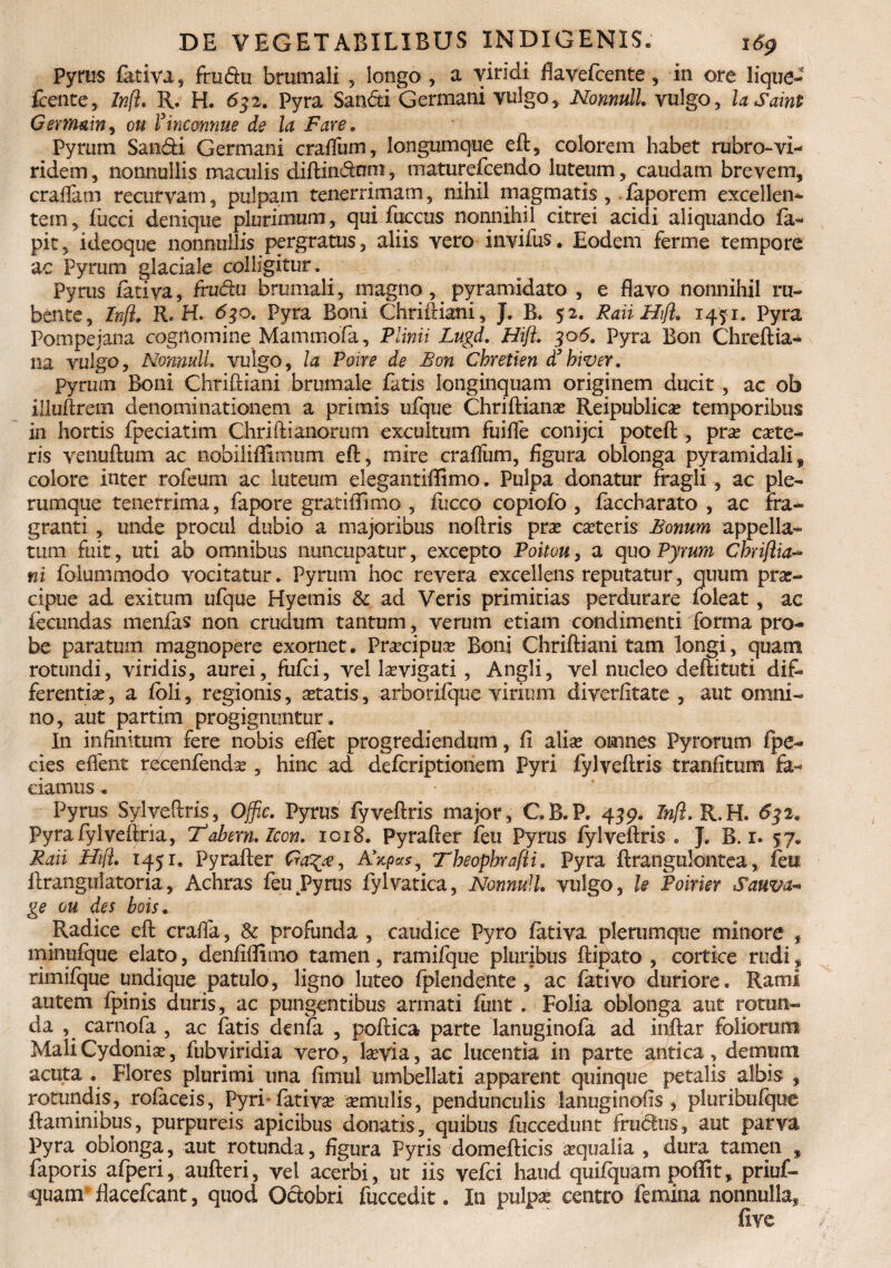 Pyrus fativa, fru£fti brumali , longo , a viridi flavefcente, in ore lique- fcente, Inft. R. H. 632. Pyra San<5ti Germani vulgo, NonnulL vulgo, laSaint Gsrmain, cu finconnue de la Fare. Pyrum San&i Germani crafTum, Iongumque eft, colorem habet rubro-vi¬ ridem , nonnullis maculis diftin&um, maturefcendo luteum, caudam brevem, eradam recurvam, pulpam tenerrimam, nihil magmatis , faporem excellen¬ tem, fucci denique plurimum, qui fuccus nonnihil citrei acidi aliquando fa- pit, ideoque nonnullis pergratus, aliis vero invifus. Eodem ferme tempore ac Pyrum glaciale colligitur. Pyrus fativa, fruda brumali, magno , pyramidato , e flavo nonnihil ru¬ bente, Inft. R. H. 630. Pyra Boni Chriftiani, J. B. 52. Raii Hifl. 145:1. Pyra Pompejana cognomine Mammofa, Plinii Lugd. Hifl. 306. Pyra Bon Chreftia- lia yulgo, NonnulL vulgo, la Poire de Bon Chretien dfhiver. pyrum Boni Chriftiani brumale fatis longinquam originem ducit , ac ob illuftrem denominationem a primis ufque Chriftiana? Reipublica? temporibus in hortis fpeciatim Chrift i anorum excultum fuifle conijci poteft , pra? cete¬ ris venuftum ac nobiliflimum eft, mire crafliim, figura oblonga pyramidali, colore inter r oleum ac luteum elegantiffimo. Pulpa donatur fragii, ac ple¬ rumque tenerrima, fapore gratififimo , fucco copiofo , faccharato , ac fra¬ granti , unde procul dubio a majoribus noftris pra? ceteris Bonum appella¬ tum fuit, uti ab omnibus nuncupatur, excepto Poitou, a quo Pyrum Chriftia¬ ni folummodo vocitatur. Pyrum hoc revera excellens reputatur, quum prae¬ cipue ad exitum ufque Hyemis & ad Veris primitias perdurare foleat, ac fecundas menfas non crudum tantum, verum etiam condimenti forma pro¬ be paratum magnopere exornet. Praecipua? Boni Chriftiani tam longi, quam rotundi, viridis, aurei, fufei, vel lsevigati , Angli, vel nucleo deftituti dif¬ ferentia? , a foli, regionis, a?tatis, arborifque virium diverlitate , aut omni¬ no, aut partim progignuntur. In infinitum fere nobis eflet progrediendum, fi alia? omnes Pyrorum fpe- cies eifent recenfenda?, hinc ad deferiptionem Pyri fylveftris tranfitum fa¬ ciamus * Pyrus Sylveftris, Offic. Pyrus fyveftris major, C.B.P. 459. Inft. R.H. 632. Pyrafylyeftria, Tabem. Icon. 1018. Pyrafter feu Pyrus fylveftris . J. B. 1. 57« Raii Hifl. 1451. Pyrafter Ga^£y A\p«s, Theopbrafti. Pyra ftrangulontea, feu llranguiatoria, Achras feu Pyrus fylvatica, NonnulL vulgo, le Poirier Sau va¬ ge ou des bois. Radice eft cralfa, Sc profunda , caudice Pyro fativa plerumque minore , mmufque elato, denfiffimo tamen, ramifque pluribus ftipato , cortice rudi, rimifque undique patulo, ligno luteo fplendente , ac fativo duriore. Rami autem fpinis duris, ac pungentibus armati funt . Folia oblonga aut rotun¬ da , carnofa , ac fatis denfa , poftica parte lanuginofa ad inftar foliorum Mali Cydonia?, fubviridia vero, la?via, ac lucenda in parte antica, demum acuta . Flores plurimi una fimul umbellati apparent quinque petalis albis , rotundis, rofaceis, Pyri- fativa? semulis, pendunculis lanuginofis , pluribulque flaminibus, purpureis apicibus donatis, quibus fuccedunt frudus, aut parva Pyra oblonga, aut rotunda, figura Pyris domefticis aqualia , dura tamen , faporis afperi, aufteri, vel acerbi, ut iis vefei haud quifquam poffit, priuf- quam* flacefcant, quod Oclobri fuccedit. In pulpae centro femina nonnulla, five