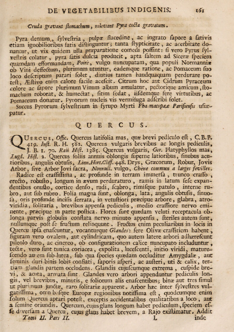 Cruda gravant flomachum, relevant Pyra coda gravatum • Pyra demum,, fylveflria, pulpas flacedine, ac ingrato fapore a fativis etiam ignobilioribus fatis diffinguntur , tanta flypticitate , ac acerbitate do¬ nantur, ut yix quidem ulla praeparatione comedi poflint: (i vero Pyrus (yi- Yeftris colatur , pyra fatis dulcia producit # apta (altem ad Sicera fpeciem quamdam efformandam, Poire, vulgo nuncupatam, qua populi Normarim* ob Vini deffedum, plurimum utuntur, eademque ratione, ac Pomaceum fuo loco deferiptum parari fokt , diutius tamen haudquaquam perdurare po- teft, ALftivo enim calore facile acefcit. Citrum hoc aut Oidrum Pyraceum colore ac fapore plurimum Vinum album aemulatur, pedorique amicum, fto- machurn roborat, & humedat , fitim fedat, iifdemque fere virtutibus, ac Pomaceum donatur. Pyrorum nucleis vis vermifuga adferibi folet. Succus Pyrorum fylyeftnum in fyrupo Myrti Pka-.macop&e Parifienfis ufxir- patur* QUERCUS. QUercus, Offic. Quercus latifolia mas, quae brevi pediculo e fi:, CB.P» 419. Jnfl. R, H. 582. Quercus vulgaris brevibus ac longis pediculis, kJ. B. 1. 70. Raii Hift. 138^. Quercus vulgaris, Ger. Platyphyllos mas, Zugd. Hift. 2. Quercus foliis annuis oblongis fuperne latioribus, finubus acu¬ tioribus , angulis obtufis, Linn.Hort.Chff* 448. Drys, Graecorum, Robur, Jovis Arbor, five Arbor Jovi facra, Nonmll. vulgo, Chene commun a larges fevilles B Radice eft crafliflima , ac profunde in terram immerfa , trunco craflo , eredo, robufto, longum in sevum perduraturo , ramis in latum fefe expan¬ dentibus onullo, cortice denfo, rudi, fcabro, rimifque patulo, interne ru¬ bro , aut fub rubro. Folia magna funt, oblonga, lata, angulis obtufis, finuo- ia, oris profunde incilis ferrata, in vetuftiori praecipue arbore, glabra, atro- viridia, iblitaria , brevibus appenfa pediculis , medio crafliore nervo emi¬ nente , praecipue m parte poftica. Flores funt quaedam veluti receptacula ob¬ longa parvis globulis conflata nervo minuto appenfis , (heriles autem funt, nullumque poli fe frudum relinquunt. Frudus enim peculiaribus in locis in Quercu ipfa enafeuntur, YOcantuvqucGlandes^ fere Olivae craflitiem habent, figuram vero ovalem, aut cylindricam, quo autem latere arbori adhaerefeunt pileolo duro, ac cinereo, ob configurationem calice nuncupato includuntur , tedae, vero funt tunica coriacea, expolita , lucefcenti, initio viridi, mature- fcendo au em fub-lutea, fub qua fpecies quaedam occluditur Amygdalae, aut feminis duri binis lobis conflati, faporis afperi, ac aufteri, uti & calix, ter¬ tiam glandis partem occludens. Glandis cujufdimque extrema , cufpide bre¬ vi, & acuta, armata funt, Glandes vero arbori appenduntur pediculis lon¬ gis, vel brevibus, minutis, e foliorum alis enafeentibus; binae aut tres fimul ut plurimum jundae, raro folitariae apparent . Arbor h£c inter fylveftres vul- gatiflima, omn k-fque Europa regionibus notiflima efl: , quodeumque enim folum Quercui aptari poteft, exceptis accidentalibus qualitatibus a loco , aut a femine oriundis. Quercum, cuius glans longum habet pediculum, fpeci em ef~ fe d:ver(am a Quercu, cujus glans habet brevem, a Rajo exiflimatur. Addit Tomi 1L Pars JL \ L inde