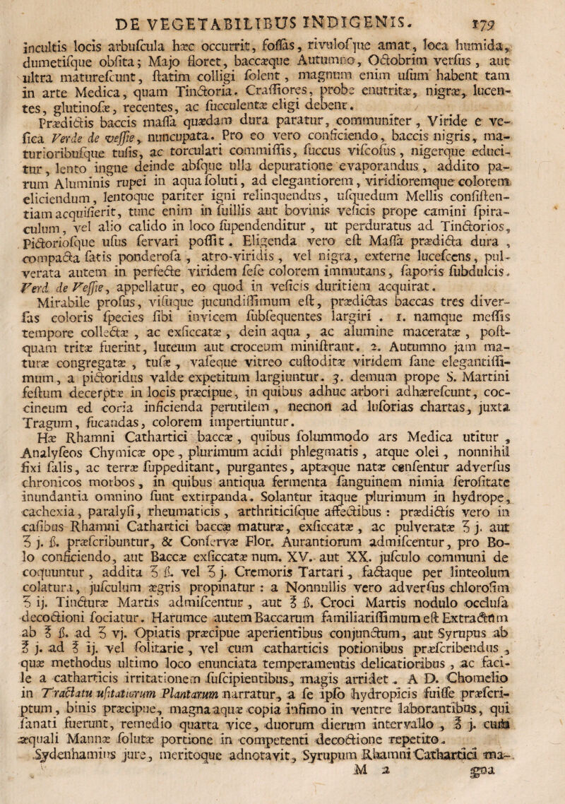 incultis locis arbuicula hac occurrit, folias, rivulofpie amat, loca hiitnida, dumetifque oblita; Majo floret, baccaque Autumno, Odobrim verfus , aut ultra maturescunt, ftatim colligi folent, magnum enim ufum habent tam in arte Medica, quam Tindoria. Crafliores, probe enutrita, nigra,, lucen- tes, glutinofa, recentes, ac fucculentx eligi debent. / ' - Pradidis baccis mafla quadam dura paratur, communiter, Viride e ve~ lica Ver de de vejjie , nuncupata. Pro eo vero confeiendo, baccis nigris* ma¬ turi oribufque tufis, ac torculari commiffis, fuccus vifcoliis, nigerque educi¬ tur, lento ingne deinde abfque ulla depuratione evaporandus , addito pa¬ rum Aluminis rupei in aquafoluti, ad elegantiorem, viridioremque colorem eliciendum, lentoque pariter igni relinquendus, ufqiiedtim Mellis confiflen- tiamacquiflerit, tunc enim in fuillis aut bovinis velicis prope camini fpira- culum, Vel alio calido in loco iiipendenditur , ut perduratus ad Tindorios, Pidoriofque ufus fervari poffit. Eligenda vero eft Mafla pradida dura , compada fatis ponderofa , atro-viridis, vel nigra, externe lucefcens, pul- verata autem in pertede viridem fefc colorem immutans, faporis fubdulcis, Ferd de Fejjie, appellatur, eo quod in velicis duritiem acquirat. Mirabile profus, vifuque jucundiflimum eft, pradidas baecas tres diver- fas coloris fpecies fibi invicem fubfequentes largiri . r. namque mellis tempore collsdse , ac exflecata, dein aqua , ac alumine macerata , poli- quam trita fuerint, luteum aut croceum mini lirant. 2. Autumno jam ma¬ turas congregatae , tufa , vaieque vitreo cuftodita viridem fane elegantiffi- mutn , a pidoridus valde expetitum largiuntur. 3, demum prope S. Martini felium decerpta In locis praecipue, in quibus adhuc arbori adharefcunt, coc¬ cineum ed coria inficienda perutilem , necnon ad luforias chartas, juxta Tragum, fucandas, colorem impertiuntur. Hx Rhamni Cathartici bacca , quibus folummodo ars Medica utitur , Analyfeos Chymica ope, plurimum acidi phlegmatis, atque olei, nonnihil fixi falis, ac terra? luppeditant, purgantes, aptaque nata ognfentur ad verfus chronicos morbos, in quibus antiqua fermenta fanguinem nimia ferofitate inundantia omnino fimt extirpanda. Solantur itaque plurimum in hydrope, cachexia, paralyfi, rheumaticis , arthriticilque afledibus : pradidis vero in caflbus Rhamni Cathartici bacca matura , exflecata , ac pulverata 3 j. aut 3 j. f. prafcribuntur, & Conferva Flor. Aurantiorum admifcentur, pro Bo¬ lo conficiendo, aut Bacca exflecata num. XV. aut XX. jufculo communi de coquuntur, addita 3 A vel 3 j. Cremoris Tartari, fadaque per linteolum colatura, jufculum agris propinatur : a Nonnullis vero ad verfus chloroflm 3 ij. Tindura Marris admifcentur , aut ? fl. Croci Martis nodulo occlufa decodioni fodatur . Harumce autem Baccarum famillariffimurn eft Extradrtrn ab ? f. ad 3 vj. Opiatis pracipue aperientibus conjundnm, aut Syrupus ab ? j. ad 5 Ij. vel folitarie , vel cum eatharticis potionibus praferibendus qua methodus ultimo loco enunciata temperamentis delicatioribus , ac faci¬ le a eatharticis irritationem iiifcipientibLis., magis arridet.. A D. Chomelio in T raciatu notatiorum Plantarum narratur., a fe ipfo hydropicis fuiffe praferi- ptum, binis pracipue, magna aqua copia infimo in ventre laborantibus, qui fanati fuerunt, remedio quarta vice, duorum dierum intervallo , 3 j. euhi aquali Manna foluta portione in competenti decodione repetito. .Sjdcnhamins jure, meritoque adnotayit, Syrupum RhamniCattadd