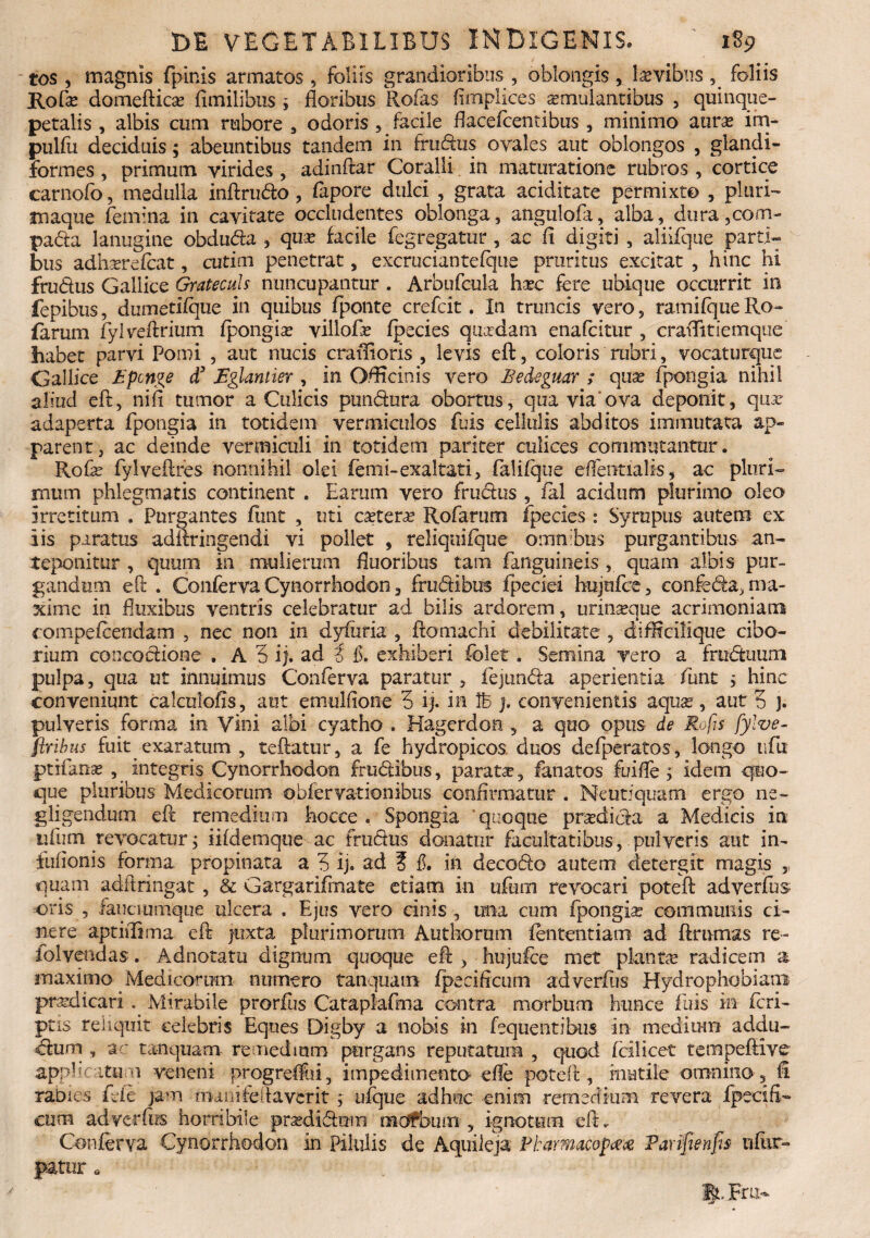 tos , magnis fpinis armatos , foliis grandioribus , oblongis , levibus , foliis Rofts domefticse fimilibus ; floribus Rofas fimplices aemulantibus , quinque- petalis , albis cum rubore , odoris , facile flacefcentibus , minimo aura; ifn- pulfu deciduis; abeuntibus tandem in frudus ovales aut oblongos , glandi- formes , primum virides , adinftar Coralli. in maturatione rubros , cortice carnofo, medulla inftrudo, fapore dulci , grata aciditate permixto , pluri- maque femina in cavitate occludentes oblonga, angulofa, alba, dura ,com- pada lanugine obduda , quse facile fegregatur , ac ii digiti , aliifque parti¬ bus adiverefcat, cutim penetrat, excruciantefqtie pruritus excitat , hinc hi frudus Gallice Grateculs nuncupantur. Arbufcula hxc fere ubique occurrit in fepibus, dumetiique in quibus fponte crefcit. In truncis vero, ramifque Ro- farum fylveftrium fpongia; villofte ipecies quadam enafcitur , craflitiemque habet parvi Pomi , aut nucis craifloris , levis eft, coloris rubri, vocaturque Gallice Eponae d3 JEglantier , in Offitcinis vero Bedeguar ; qux fpongia nihil aliud eft, nift tumor a Culicis pundura obortus, qua via'ova deponit, qua adaperta fpongia in totidem vermiculos fuis cellulis abditos immutata ap¬ parent, ac deinde vermiculi in totidem pariter culices commutantur. Rofte fylveftres nonnihil olei femi-exaltati, falifque eftentialis, ac pluri¬ mum phlegmatis continent . Earum vero frudus , ial acidum plurimo oleo irretitum . Purgantes fiint , uti cetera? Holarum fpecies : Syrupus autem ex iis paratus adftringendi vi pollet , reliquiique omnibus purgantibus an¬ teponitur , quum in mulierum fluoribus tam fanguineis , quam albis pur¬ gandum eft . Conferva Cynorrhodon, frudibus fpeciei hujiifce, confeda, ma¬ xime in fluxibus ventris celebratur ad bilis ardorem, urinaeque acrimoniam compefcendam , nec non in dyfuria , ftomachi debilitate , diflicilique cibo¬ rium concodione . A 5 ij. ad i fi. exhiberi folet . Semina vero a frnduum pulpa, qua ut innuimus Conferva paratur , fejunda aperientia funt s hinc conveniunt calculofis, aut emulflone 3 ij. in lb ). convenientis aquas, aut 3 j. pulveris forma in Vini albi cyatho . Hagerdon , a quo opus de Rofis fylve- firibus fuit exaratum , teftatur, a fe hydropicos duos defperatos, longo ufu ptifanse , Integris Cynorrhodon frudibus, paratae, fanatos fuilfe ; idem quo¬ que pluribus Medicorum obfervationibus confirmatur . Neutiquam ergo ne- gligendum eft remedium hocce . Spongia quoque prtedicfa a Medicis iti ufum revocatur; iifdemque ac frudus donatur facultatibus, pulveris aut in- fufionis forma propinata a 3 ij. ad ? fi. ih decodo autem cletergit magis ,, quam adftringat, & Gargarifrnate etiam in ufmn revocari poteft adverfus •oris , fauciumque ulcera . Ejus vero cinis , una cum fpongia; communis ci¬ llere aptiflima eft juxta plurimorum Authornm fententiam ad (frumas re- iolvmdas. Adnotatu dignum quoque eft , hujufce met planta radicem a maximo Medicorum numero tanquam fpecificum adverftis Hydrophobiam prvdicari . Mirabile prorfus Cataplafma contra morbum hunce fuis in (cri¬ ptis reliquit celebris Eques Digby a nobis in fequentibus in medium addu- dum , ac tanquam remedium purgans reputatum , quod fcilicet tempeftive applicitum veneni progrd&i, impedimento efle poteft, mutile omnino, fi rabies fele jam mani fellaverit; ufquc adhuc enim remedmm revera fpecifl- cum adverftis horribile prsedidnin radfbumt, ignotum eft. Conferva Cynorrhodon in Pilulis de Aquileja Ptamdcopce# Parifienfis ufiir- patur a It Fra-