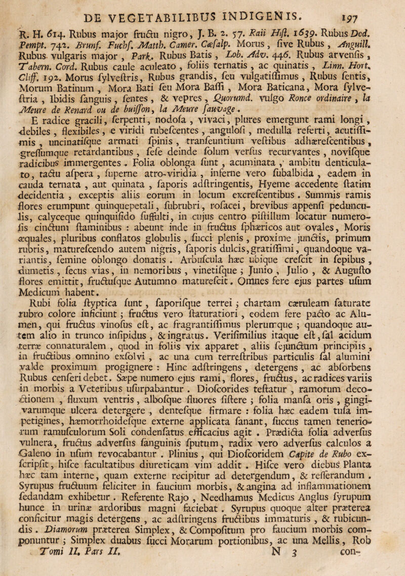 R. H. ^14. Rubus major frudu nigro, J. B. 2. 57, Rati Ufi. 1639. RubusDcd. Pempt. 742. Bmnj\ Fmbf. Matth. Camer. C&falp. Morus , five Rubus , Anguill* Rubus yulgaris major , Park• Rubus Batis , Lob. Adv, 446. Rubus at veniis , Tabem. Cord. Rubus caule aculeato , foliis ternatis , ac quinatis , Linn. Hovu Cliff. 192. Morus fylveftris, Rubus grandis, feu vulgatiffimus , Rubus fentis. Morum Batinum , Mora Bati feu Mora Baffi , Mora Baticana, Mora fylve- ftria , Ibidis fanguis , fentes , & vepres , jQuorumd. vulgo Ronce ordinaire , la Jldeure de Renard ou de buijfon, la Meure fauvage. E radice gracili, ferpenti, nodofa , vivaci, plures emergunt rami longi, debiles , flexibiles, e viridi rubefcentes , angulofi , medulla referti, acutifli- mis , uncinati/que armati fpinis , tranfeuntium veftibus adhaerefcentibus s greflfumque retardantibus , fefe deinde fblurn verius recurvantes , novifque radicibus immergentes - Folia oblonga limt , acuminata ambitu denticula¬ to , tadu afpera , fuperne atro-viridia , inferne vero fubalbida , eadem in cauda ternata , aut quinata , faporis adftringentis, Hyeme accedente ftatim decidentia , exceptis aliis eorum in locum excrefcentibus . Suminis ramis flores erumpunt quinquepetali, fubrubri, rofacei, brevibus appenfi peduncu¬ lis, calyceque quinquifldo fufftilti, in cujus centro piftillum locatur numero- fis cindum flaminibus : abeunt inde in frudus fpnaericos aut ovales, Moris aquales, pluribus conflatos globulis, fucci plenis, proxime jundis, primum rubris, maturefcendo autem nigris, faporis dulcis,gratiffimi, quandoque va¬ riantis , femine oblongo donatis . Arbufcula haec ubique crefcit in fepibus 5 dumetis , fecus vias, in nemoribus , vinetifque ; Junio , Julio , & Augufto flores emittit, frudufque Autumno maturefcit. Omnes fere ejus partes ufiim Medicum habent, Rubi folia ftyptica funt, faporilque terrei; chartam caeruleam fatu rate rubro colore inficiunt; frudus vero flaturatiori, eodem fere pado ac Alu¬ men, qui frudus vinofus eft, ac fragrantiflimus plerumque ; quandoque au¬ tem alio in trunco infipidus , & ingratus. Verifimilius itaque eft, fal acidum terrae cqnnaturalem , quod in foliis vix apparet , aliis fejundum principiis , in frudibus omnino exfblvi , ac una cum terreftribus particulis fal alumini valde proximum progignere : Hinc adftringens , detergens , ac abforbens Rubus cenferi debet. Sape numero ejus rami, flores, frudus, ac radices variis in morbis a Veteribus ufurpabantur . Diofcorides teftatur , ramorum deco¬ ctionem , fluxum ventris, albofque fluores fiflere ; folia mania oris , gingi- varumque ulcera detergere , dencefque Armare : folia haec eadem tufa im¬ petigines, haemorrhoidelque externe applicata fanant, fuccus tamen tenerio¬ rum ramufculorum Soli condenfatus efficacius agit . Praedida folia adverfus vulnera, frudus adverfus fanguinis fputum, radix vero adverfus calculos a Galeno in ufiim revocabantur . Plinius , qui Diofcoridem Capite de Rubo ex- fcripfit, hifce facultatibus diureticam vim addit . Hifce vero diebus Planta hxc tam interne, quam externe recipitur ad detergendum, & reflerandum . Syrupus fruduum feliciter in faucium morbis, & angina ad inflammationem fedandam exhibetur , Referente Rajo , Needhamus Medicus Anglus fyrupum hunce in urinae ardoribus magni faciebat . Syrupus quoque alter praeterea conficitur magis detergens , ac adftringens frudibus immaturis , & rubicun¬ dis . Diamomm praeterea Simplex, & Compofitum pro faucium morbis com¬ ponuntur y Simplex duabus fucci Morarum portionibus, ac una Mellis, Rob