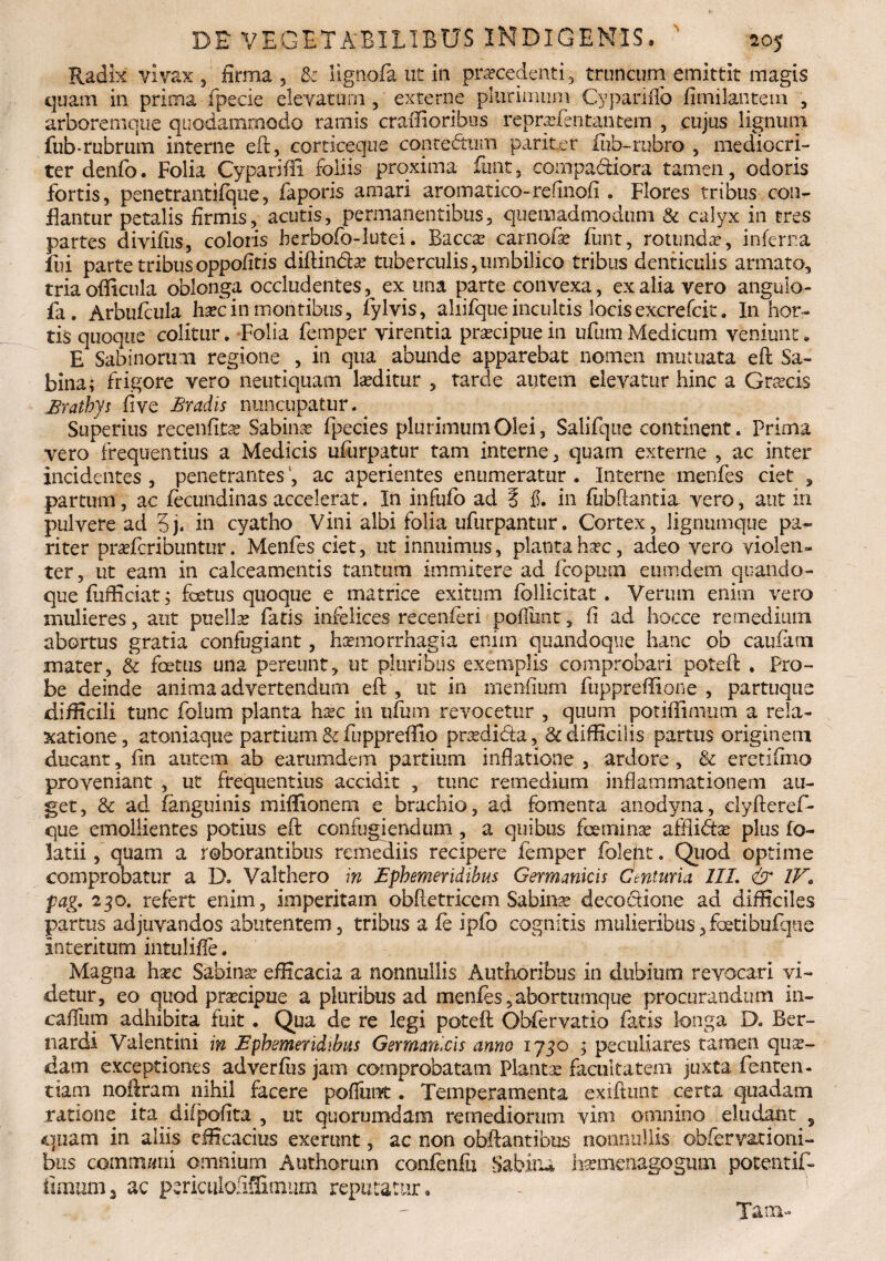 Radix vivax, firma, & Hgnofa ut in procedenti, truncum emittit magis quam in prima fpecie elevatum , externe plurimum Cypariflo fundantem , arboremque quodammodo ramis craffioribos reprpentantem , cujus lignum fub-rubrum interne eft, corticeque contedtum pariter fiib-rubro , mediocri¬ ter denfo. Folia Cypariffi foliis proxima fiint, compa&iora tamen, odoris fortis, penetrantiiqne, faporis amari aromatico-refinofi . Flores tribus con¬ flantur petalis firmis, acutis, permanentibus, quemadmodum & calyx in tres partes divifiis, coloris berbofo-lutei. Baccar carnofae funt, rotundae, inferna lui parte tribusoppofitis diftindae tuberculis,umbilico tribus denticulis armato, triaofificula oblonga occludentes, ex una parte convexa, ex alia vero angulo- fa. Arbuftula haec in montibus, fylvis, aliifque incultis locis excrefcic. I11 hor¬ tis quoque colitur. Folia femper virentia praecipue in ufum Medicum veniunt, E Sabinorum regione , in qua abunde apparebat nomen mutuata eft Sa¬ bina; frigore vero neutiquam laeditur , tarde autem elevatur hinc a Graecis Erathys fi ve Eradis nuncupatur. ^ Superius recenfitae Sabinae fpecies plurimum Olei, Salifque continent, prima vero frequentius a Medicis ufurpatur tam interne, quam externe , ac inter incidentes , penetrantes, ac aperientes enumeratur. Interne menfes ciet * partum, ac fecundinas accelerat. In infufo ad 5 #. in fubftantia vero, aut in pulvere ad 5j. in cyatho Vini albi folia ufurpantur. Cortex, lignumque pa¬ riter praefcribuntur. Menfes ciet, ut innuimus, planta haec, adeo vero violen¬ ter, ut eam in calceamentis tantum immite re ad icopum eumdern quando¬ que fiifficiat; foetus quoque e matrice exitum follicitat. Verum enim vero mulieres, aut puellae fatis infelices recenieri pofliint, fi ad hocce remedium abortus gratia confugiant, haemorrhagia enim quandoque hanc ob caufaui mater, & foetus una pereunt, ut pluribus exemplis comprobari poteft ♦ Pro¬ be deinde anima advertendum eft, ut in menfium fuppreffione , partuque difficili tunc folum planta hxc in ufum revocetur , quum potiftimum a rela¬ xatione, atoniaque partium & fuppreffio praedibta, & difficilis partus originem ducant, fin autem ab earumdem partium inflatione , ardore, & eretifmo proveniant , ut frequentius accidit , tunc remedium inflammationem au¬ get, & ad fanguinis miffionem e brachio, ad fomenta anodyna, dyfteref- que emollientes potius eft confugiendum , a quibus feminae afflidtae plus fo- latii, quam a roborantibus remediis recipere femper folelit. Quod optime comprobatur a D. Valthero in Ephemeridibus Germanicis Centuria III. & 1F0 pag. 250. refert enim, imperitam obftetricem Sabinae decoctione ad difficiles partus adjuvandos abutentem, tribus a fe ipfo cognitis mulieribus, fetibufque Interitum intulifie. Magna hxc Sabinae efficacia a nonnullis Authoribus in dubium revocari vi¬ detur, eo quod praecipue a pluribus ad menfes,abortumque procurandum in- caffum adhibita fuit. Qua de re legi poteft Obfervatio fatis longa D. Ber- nardi Valentini in Ephemeridibus Germanicis anno 1730 , peculiares tamen quae¬ dam exceptiones adverfis jam comprobatam Plantae facultatem juxta fenten- tiam noftram nihil facere poffnnt. Temperamenta exiftnnt certa quadam ratione ita difpofita , ut quorumdam remediorum vim omnino eludant , quam in aliis efficacius exerunt, ac non obftantibus nonnullis obfervationi- biis commani omnium Authorum confenfu Sabina hsemenagogum potentif- fimum3 ac p?riciilofiffimum reputatur. Tam-