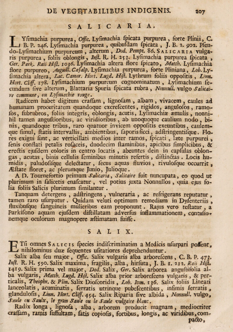 SALICARIA. LYfimachia purpurea, 'Oflic. Lyfimachia fpicata purpurea , forte Plinii, C. B. P. 246. Lyfimachia purpurea , quibufdam fpicata , J. B. 2. 902. Pfeu- do-Lyfimachium purpureum , alterum , Dod. Pempt. 85. Saiicaria vulga¬ ris purpurea , foliis oblongis * Infl. R. H. 2^j. Lyfimachia purpurea fpicata , Ger. Park. Raii Hifl. 1036. Lyfimachia altera flore fpicato, Afattb. Lyfimachia flore purpureo, Anguill Cxfalp. Lyfimachia purpurea, forte Pliniana, Lob.Ly¬ fimachia altera, Lac. Camer. Hort. Lugd. Hifl. Lythrmn foliis oppofitis , Linn» Hort.Cliff. 178. Lyfimachium purpureum cognominatum , Lyfiniachium fe¬ cundum five alterum, Blattaria Spuria fpicata rubra , Nonnull. vulgo Salicai- re commune, cw Lyfmachie rouge. Radicem habet digitum eradam , lignofam , albam , vivacem , caules ad humanam proceritatem quandoque excrefcentes, rigidos, angulolos , ramo- Ibs, iubrubros, foliis integris, oblongis, acutis, Lyfimachia? amulis, nonni¬ hil tamen angufiioribus, ac viridioribus , ab unoquoque caulium nodo, bi¬ nis, quandoque tribus, raro quatuor invicem oppofitis exeuntibus, caulem- que fimul, flatis intervallis, ambientibus, faporis ficci, adftringentifque. Flo¬ res exigui fimt, ac verticillati medios inter ramos, fpteati , lite purpurei, lenis conflati petalis rofeceis, duodecim flaminibus, apicibus fimplicibus, 8£ eredis ejufdem coloris in centro locatis , abeuntes dein in capfulas oblon¬ gas , acutas , binis cellulis feminibus minutis refertis , diftindas . Locis hu- midis , paludofifque deledatur , fecus aquas fluvios , rivulofque occurrit, flate floret, ac plerumque Junio, Julioque. A D. Tournefortio primum S alicaria, Salicaire fuit nuncupata, eo quod ut plurimum in falicetis enafeatur , vel potius juxta Nonnullos , quia ejus fo¬ lia foliis Salicis plurimum fimilantur . Tanquam detergens , adftringens , vulneraria , ac refrigerans reputatur , tamen raro ufurpatur. Quidam veluti optimum remedium in Dylenteriis , fluxibulque fanguineis mulieribus eam proponunt. Rajus vero teftatur , a Parkifono aquam ejufdem diftillatam adverfus inflammationem, contufio- nemque oculorum magnopere aeftimatam fuifle. SALIX. ETfi omnes Salicis fpecies indiferiminatim a Medicis ufurpari pollent* nihilominus duae fequentes ufitatiores deprehenduntur. Salix alba feu major, Offic. Salix vulgaris alba arborefeens, C. B. P. 47^. Infl. R. H. 590. Salix maxima, fragilis, alba, hirfuta, J. B. 1. 212. Raii Hifl* 1419. Salix prima vel major, Dod. Salix, Ger. Salix arborea anguftifolia al¬ ba vulgaris, Afatth. Lugd. Hifl. Salix alba prior arborefeens vulgaris , & per¬ ticalis, Tbeopbr. & Plin. Salix Diofcoridis , Lob. Icon. Salix foliis Lineari lanceolatis, acuminatis, ferratis utrinque pubefeentibus, infimis ferratis , glandulofis , Linn. Hort. Clijf. 454. Salix Riparia five albida , Nonnull. vulgo, Saule cu Saulx, le grzn Saule ou le Saule vulgaire blanc. Radix longa , lignofa , alba, arborem producit magnam , mediocriter eradam 3 ramis fuffultam, fatis copiolis, fortibus, longis, ac viridibus, com- pado,