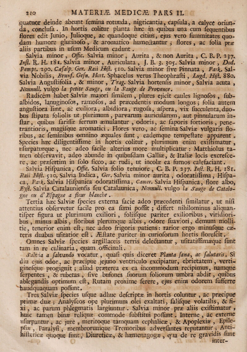 quatuor deinde abeunt femina rotunda , nigricantia , capfula , a calyce oriun¬ da, conclufa . In hortis colitur planta hxe in quibus una cum fequentibus flores edit Junio, Julioque, ac quandoque citius, ejus vero fiimmitates quo¬ dam humore glutinofo, 3c aromatico .humecfcantur ; flores, ac folia pra? aliis partibus in ufiim Medicum cadunt. Salvia minor, Offic. Salvia minor, Aurita , &non Aurita , C. B. P. 237. Jrtft. R. H» x8x. Salvia minor , Auriculata , J. B, 3. 305. Salvia minor , Dod, Pempt. 290. Ccefalp. Ger. Raii Hift. 510. Salvia minor flve Pinnata , Park. Sal¬ via Mobilis , Brmf. Gefn. Hort. Sphacelus verus Theophrafti, Lugd, Hift. 880. Salvia Anguftifolia , & minor, ‘Hrag. Salvia horteniis minor , Salvia acuta , Nonnull. vulgo la petite Sauge, ou la Sauge de Provence. Radicem habet Salvia majori fluxilem , plures ejicit caules lignofos , fub- albidos, lanuginofos, ranxofos, ad procedentis modum longos , folia autem angtiftiora Tunt, ac exiliora, albidiora, rugofa, afpera, vix fucculenta,duo¬ bus ftipata foliolis ut plurimum, parvarum auricularum, aut pinnularum in- ftar, quibus farilfx ferrum omulantur , odoris, ac laporis fortioris , pene- trantioris, magifque aromatici. Flores vero, ac femina Salvix vulgaris flo¬ ribus , ac feminibus omnino xquales funt, eademque tetnpeftate apparent„ Species hoc diligentiflime in hortis colitur , plurimum enim exiftimatur , rfurpaturque , nec adeo facile alterius more multiplicatur : Matthiolus ta¬ men obfervavit, adeo abunde in quibufdam Gallio, 8c Italio locis excrefce- re, ac profertim in folo ficco, ac rudi, ut incolo ea furnos calefaciant. Salvia Hiipanica, Offic. Salvia folio tenuiore , C. B. P. 237. Inft. R. H, iSr. Raii Hift. 510. Salvia Indica, Ger. Salvia minor aurita , odoratifiima, Hifpa- ca, Park» Salvia Hilpanica odoratiflima, Camer. Salvia Hifpanica, flore albo, Eyfl. Salvia Catalaunienfis feu Catalaunica, Nonnull. vulgo la Sauge de C at alo¬ gae ou d3 Efpagae a flem blanche. Tertia hoc Salvia? fpecies externa facie adeo procedenti limilatur, ut nili attentius oblervetur facile pro ea fumi poflit; differt nihilominus aliquan- tilper figura ut plurimum exiliori, foliifque pariter exilioribus, viridiori¬ bus , minus albis, floribus plerumque albis , odore fuaviori, demum molli¬ tie, tenerior enim eft, nec adeo frigoris patiens: rarior ergo minufque cx- teris duabus ulitatior eft . ALftate pariter in curioforum hortis florefeit. Omnes Salvix fpecies argillaceis terris dele&antur , ufitatiffimoque funt tam in re culinaria, quam oflicinali. Salvia a falvando vocatur , quali quis diceret Planta fana, ac falutaris. Si diu ejus odor, ac procipue jejuno ventriculo excipiatur, ebrietatem , verti- ginefque progignit i aliud prxterea ex ea incommodum recipimus, namque ferpentes , & rubetas , live bufones fusorum foliorum umbra abdit, quibus ablegandis optimum eft, Rutam proxime lerere, ejus enim odorem fufferre haudquaquam pofliint. Tres Sal vix fpecies ufque adhuc deferiptx in hortis coluntur , ac prxeipue prima? dux , Analyfeos ope plurimum olei exaltati, falilque volatilis, & fi¬ xi , ac parum phlegmatis largiuntur . Salvia minor prx aliis exiftimatur , huic tamen bina? reliqua? commode fubftitui poflunt. Interne , ac externe ufurpantur , ac jure , meritoque tamquam cephalica?, & Apoplexix , Epile- pfe , Paralyli, membrorumque Tremoribus adverlantes reputantur ; Anti- hifterka? quoque funt, Diureticx, & hxmenagogx, qua de re gravidis funt inter-