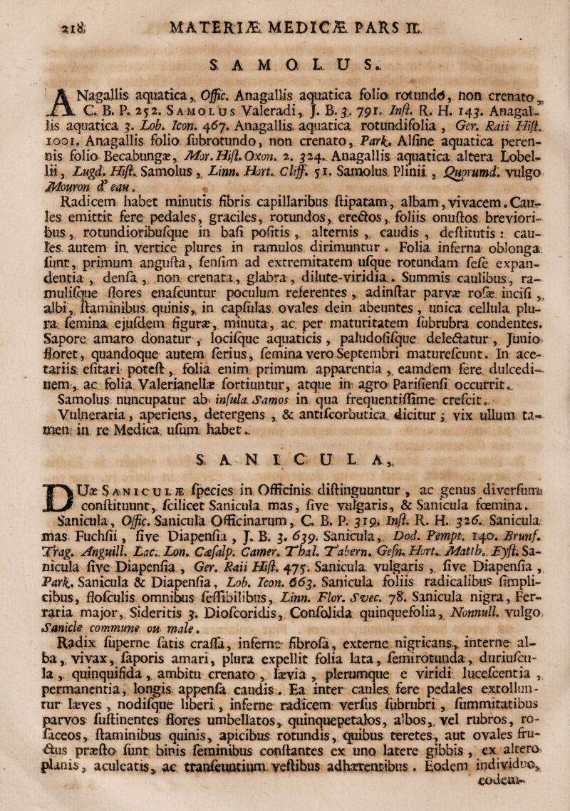 S A M O L U S. ANagallis aquatica,, Offic. Anagallis aquatica folio rotundo, non crenato, C B. P. 252. Samolus Valeradi, J. B.791* Inft. R. H. r43. Anagal¬ lis aquatica 3. AeA Icon. 467. Anagallis, aquatica rotundifolia , Ger. Raii HifL iooi. Anagallis folio /ubrotundo, non crenato, Alfine aquatica peren¬ nis folio Becabunga®, Mor.Hiff.Oxon. 2. 524» Anagallis aquatica altera Lobel- 1H, Lugd. Hiff* Samolus, Ai»». Hort», Cliff. 51. Samolus Plinii , Qmrumd. vulgo Mouron £ em. Radicem habet minutis fibris capillaribus ftipatatn , albam, vivacem. Cau¬ les emittit fere pedales, graciles, rotundos, eremos,, foliis onuftos breviori¬ bus, rotundioribufque in bafi pofitis , alternis,, caudis , deftitutis : cau¬ tes autem ia vertice plures in ramulos dirimuntur . Folia inferna oblonga limt, primum angufta, fenfim ad extremitatem ufque rotundam fele expan¬ dentia , denfa , non crenata, glabra, dilute-viridia. Summis, caulibus, ra~ mulilque flores enafcuntur poculum referentes , adinftar parvae roGe incifi ,, albi, flaminibus, quinis, in capfulas ovales dein abeuntes, unica cellula plu¬ ra: femina ejufeiem figura, minuta , ac per maturitatem lubrubra condentes. Sapore amaro donatur, lociique aquaticis, paludofifque deledatur, Junio floret , quandoque autem ferius, femina vero Septembri maturefeunt. In ace¬ tariis efitari poteft, folia enim primum, apparentia , eamdem fere dulcedi— nem, ac folia Valerianell# fortiuntur, atque ifa agro Parifienfi occurrit, Samolus nuncupatur ab infula, Samos in qua frequentifllme crefcit * Vulneraria, aperiens, detergens , & antifcorbutica. dicitur i vix ullum ta~ meni in re Medica, ufum habet S: A N t C U L A„ DXJx $ x,n i c u l iE Ipecies in Officinis diftinguuntur , ac genus diverfum* conftituunt, feilicet Sanicula mas, Ave vulgaris, & Sanicula ioernina* Sanicula, Offic. Sanicula Officinarum, C B. P. 319. -&?$* R* H. 326+ Sanicula mas Fiichfii, five Diapenfia , J, B. 3. 639. Sanicula, Dod. Pempt. 140.. Brunf. jtrag. AnguilL Lac». Lon.. Ccefalp. Camerv Tbal. Tabem. Gefn. Horu Mattb. Fyff. Sa¬ nicula five Diapenfia , Ger. Raii Hifl. 475. Sanicula vulgaris , five Diapenfia , Park., Sanicula & Diapenfia, Lob. Icon. 663. Sanicula foliis radicalibus (impii- cibus, flofculis omnibus ieflibilibus, Ai»». Flor. Svec. jS. Sanicula nigra, Fer¬ raria major, Sideritis 3. Diofcoridis, ConfoJida quinquefolia, Nonnull vulgo, Sanicle commune ou male. Radix fiiperne fatis crafla, inferne fibrofa ? externe nigricans, interne al¬ ba,, vivax, faporis amari, plura expellit folia lata, femirotunda, duriufcu- la, quinquifida, ambitu crenato , lavia , plerumque e viridi lucefcentia , permanentia, longis, appenfa caudis. Ea inter caules fore pedales extollun¬ tur laves , nodifque liberi , inferne radicem verfus fubrubri, fummitatibus parvos fuftinentes flores umbellatos, quinquepetalos, a'bos, vel rubros, to¬ faceos, flaminibus quinis, apicibus rotundis, quibus teretes, aut ovales fru- <Rus prafto fiint binis feminibus conflantes ex uno latere gibbis , ex altero planis, aculeatis,, ac tranfeuatium veftibus adhxrentibus. Eodem individuo, eodem-