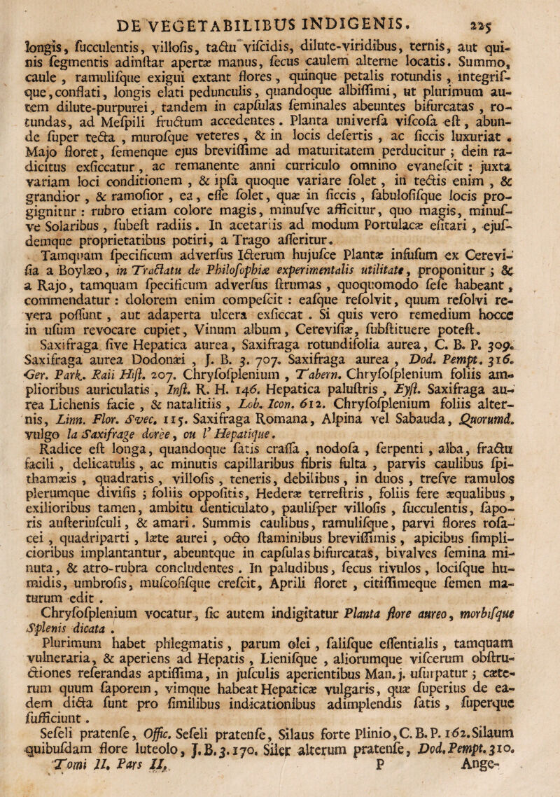 longis, fucculentis, villofis, tadu vifcidis, dilute-viridibus, ternis, aut qui¬ nis fegmentis adinftar apertas manus, fecus caulem alterne locatis. Summo, caule , ramulifque exigui extant flores , quinque petalis rotundis , integrif- que,conflati, longis elati pedunculis, quandoque albiflimi, ut plurimum au¬ tem dilute-purpurei, tandem in capftilas feminales abeuntes bifurcatas , ro¬ tundas, ad Mefpili frudum accedentes. Planta univerfa vifcofa eft, abun¬ de fuper teda , murofque veteres, & in locis defertis , ac flccis luxuriat * Majo floret, femenque ejus breviflime ad maturitatem perducitur ; dein ra¬ dicitus exficcatur, ac remanente anni curriculo omnino evanefcit : juxta variam loci conditionem , & ipfa quoque variare folet, in redis enim , Sc grandior , 8c ramofior , ea, cffe folet, quas in flccis , fabulofifque locis pro¬ gignitur : rubro etiam colore magis, minufve afficitur, quo magis, minuf- ve Solaribus , fubeft radiis. In acetariis ad modum Portulaca: efitari , ejuf* denique proprietatibus potiri, a Trago afleritur. Tamquam fpecificum adverfus Iderum hujufce Planta infiifum ex Cerevi- fla a Boyiseo, m Tr affatu de Pbilofopkitf experimentalis utilitate, proponitur ; &C a Rajo, tamquam fpeciflcum adver/us ferum as , quoquomodo fete habeant, commendatur : dolorem enim compefcit : eafque refolvit, quum refolvi re¬ vera poflimt, aut adaperta ulcera exficcat . Si quis vero remedium hocce in ufum revocare cupiet, Vinum album, Cerevifia, fiibfti tuere poteft. Saxifraga five Hepatica aurea. Saxifraga rotundifolia aurea, C. B. P. 3op* Saxifraga aurea Dodonai , J. B. 3, 707. Saxifraga aurea , Dod. Pempt. 316„ <ter. Pdrk. Paii Hift. 207. Chryfofplenium , Tabem. Chryfofplenium foliis am¬ plioribus auricularis', 2nfl. R. H. 146. Hepatica paluftris , Eyjl. Saxifraga au¬ rea Lichenis facie , & natalitiis , LoL Icon. 612. Chryfofplenium foliis alter¬ nis, Linn. Flor. Svec, 115. Saxifraga Romana, Alpina vel Sabauda, Quorumd. vulgo la Saxifrage doree, ou V Hepatique. Radice eft longa, quandoque fatis crafla , nodofa , ferpenti , alba, fradu facili, delicatulis, ac minutis capillaribus fibris fulta , parvis caulibus fpi- tbamseis , quadratis, villofis , teneris, debilibus, in duos , trefve ramulos plerumque divifis ; foliis oppofitis, Hederas terreftris , foliis fere asqualibus , exilioribus tamen, ambitu denticulato, paulifper villofis , fucculentis, fapo- ris aufteriufculi, & amari. Summis caulibus, ramulifque, parvi flores rofa- cei, quadriparti, laste aurei , odo flaminibus breviffimis , apicibus fimpli- cioribus implantantur, abeuntque in capfulasbifurcatas, bivalves femina mi¬ nuta, & atro-rubra concludentes . In paludibus, fecus rivulos, locifque hu- midis, umbrofis, mufconfquc crefcit, Aprili floret , citiflimeque femen ma¬ turum edit . Chryfofplenium vocatur , fic autem indigitatur Planta flore aureo, morhifqm Splenis dicata . Plurimum habet phlegmatis , parum olei, falifque eflentialis, tamquam vulneraria, & aperiens ad Hepatis , Lienifque , aliorumque vifcerum obftru- diones referandas aptiffima, in jufculis aperientibus Man.j. -ufurpatur j cete¬ rum quum faporem, vimque habeat Hepatica vulgaris, qua: fuperius de ea¬ dem dida funt pro fimilibus indicationibus adimplendis fatis, fuperque fufficiunt. Sefeli pratenfe, Offic. Sefeli pratenfe, Silaus forte Plinio,C.B.P. 162.Silaum quibufdam flore luteolo, J.B.j.iyo, Siler alterum pratenfe, Dod.Pempt.310« Tomi U. Pars IL P Ange-