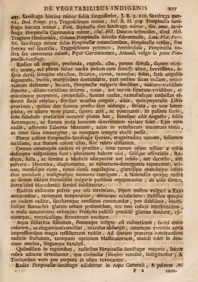 445. Saxifraga hircina minor foliis-fanguifcrba?, J. B. j. iri. Saxifraga par¬ va,. Dod, Pempt. J15. Tragofelinuni minus , In fi. l\. H. 309 Pimpinella Saxi¬ fraga hircina minor , Pari. Bipinella ftve Saxifraga minor , X3®r. Saxi¬ fraga pimpinella Germanica minor, Cluf. Hft. Daucus SelinoidesCord~ Hifi. . Tragium Diofcoridis, Column. Pimpinella' foliolis fubrottmdis, Lim. Flw. Svec. 8(5. Saxifraga minor foliis Pimpinella? rotundioribus, Pimpinella crifpa, ftvc Petrea vel faxatilis, TragofeHnum petrseum , Petrifiiidula , Pimpinella no- ftra feu communis minor, Piper Germanorumr NmnuU, vulgo la petite Pim- pinelle-Saxifrage * Radice eft flmplid, profunda, rugofa, alba, parum fibrofa, fapore uren¬ ti ; unum, vel plures habet caules pedem cum femiffe altos, breviffima, ac faris denfa lanugine obtefros, ftriatos, cavos, ramofos; foliis, latis anguftis fegmentis, incifis,. marginibus denticulatis, pari ordine fecus codam, tmico tantum delinente , locatis , Pimpinella? vulgaris frmilibus , obfcizre-viridibus frperne , dilute-viridibus inferne , venis , aut nervis faturate-viridibus 9 ac quandoque purpureis, circumfufis. Summi caules, ramufenlique umbellas ef¬ ferunt fatis amplas , floribus onuftas exiguis, albis , quinquepetalis Liliis proximis, quibus duo femina pra?fto funt oblonga, ftnata , ex uno latere gibba , ex altero vero plana , fapore acri , ac penetranti. In pafeuis ficcis,. iolo fabufofo prafertim occurrit planta hac , florefque edit Augufto , foliis fiirnmopere, ac flatura juxta, locorum diverfltatem variare folet. Ejus vero radix , afferente Taberna Montano , adeo in vetuftomm murorum rimis, ac inter faxa immergitur, ut nunquam integra evelli poffit. Plures adfunt Pimpinella-Saxifraga fpeeies, magnitudine tantum, foliorsm ihcifione, aut florum colore albo, five rubro diftantes. Omnes cateroquin eadem vi pradita , bina tamen ufque adhuc a nobis deferipta vulgatiores fiint: plurimum habent olei, falifque effenrialis . Ra¬ dices, folia , ac femina a Medicis ufurpantur aut infufo , aut decofro , attt pulvere . Diuretica, diaphoretica, ac vulnerario-detergentia reputantur, uri¬ nas, menfefque cient, renes denfa muciiagine , glareifque quandoque infera dos mundant , malignofqne humores corrigunt . A Nonnullis quoque radix ac femen iifdem Petrofelmi vulgaris partibus requiparantur ; ab aliis femen, Petrofelini Macedonici femini fubftituitur. Radicis exficcatas pulvis pro ufu intr-infeco., Piperi noflro- vulgari a Rajo- anteponitur , tamquam temperatior, minufque calefaciens : Paflillos quoque ex eadem radice, faccharoque conflatos commendat , pro debilibus, inerti- bufque ftomachis glareis ortum praebentibus, nec non colicis inteftinalibus.-,, a mala, concoctione oriundis: Profedlo paftilli pmdilii glareas fundunt y eji- ciunrque, ventriculique fermentum excitant. Aqua ftillatitia foliorum, florumqpe inflgne eft cofmeticum ; faciei enim colorem, ac elegantiam'conciliat, maculas abftergit, cutemque externis aeris impreflionibus magis refliftentem reddit. Ad fputum prarterea concitandum radicis fruftulum, tamquam optimum Mafticatorium, mandi folet in den¬ tium morbis, lingua?que Paralyfi. Quibufdam in regionibus , radicibus Pimpinella-Saxifraga? majoris ,, baccfr rubra? adnexa? inveniuntur, qua? CochinilU fylveftris nomine, iiidigitantur c A Tinfroribus vero pro purpura in ufum revocantur. Radix Pimpinelte-Sa&fragse adhibetur in Aqua Generali, & pulvere Ati » P 2 com-