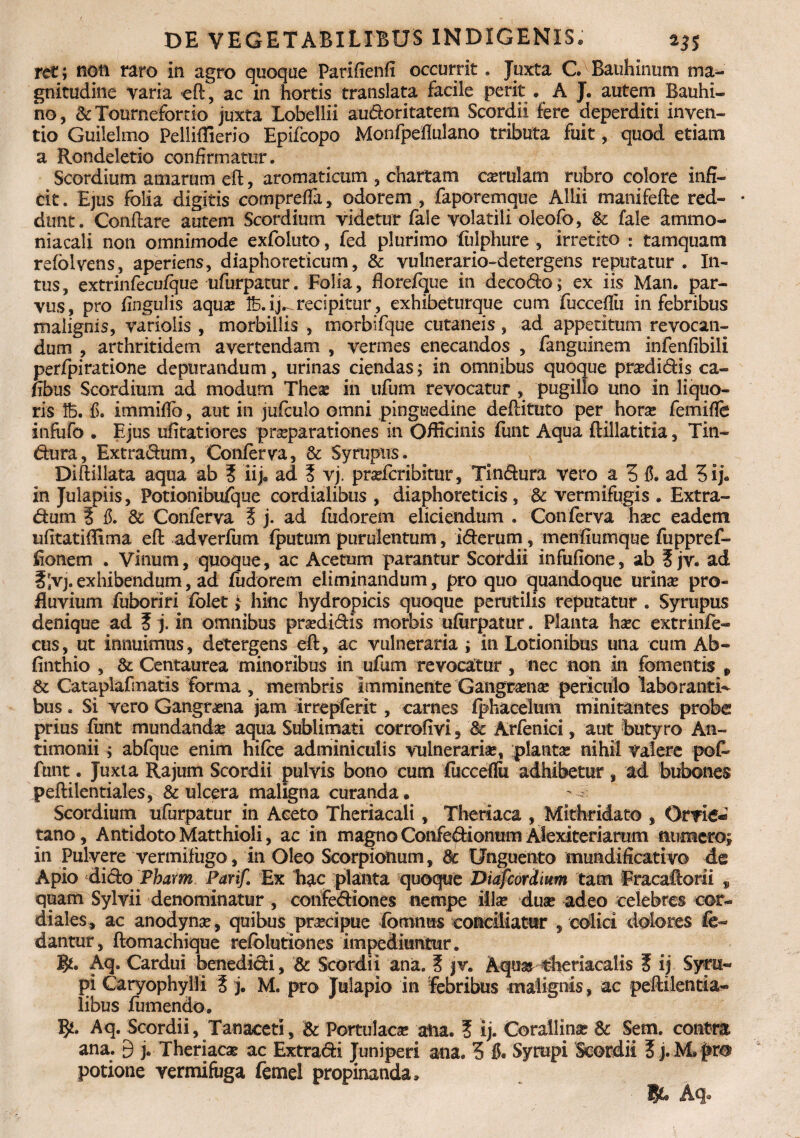 ret; non raro in agro quoque Parifienfi occurrit. Juxta Cf Bauhinum ma¬ gnitudine varia eft, ac in hortis translata facile perit . A J. autem Bauhi- no, & Tourneforcio juxta Lobellii audoritatem Scordi i fere deperditi inven¬ tio Guilelmo Pelliflierio Epifcopo Monfpeflulano tributa fuit, quod etiam a Rondeletio confirmatur. Scordium amarum eft, aromaticum , chartam carulam rubro colore infi¬ cit . Ejus folia digitis comprefla, odorem , faporemque Allii manifefte red¬ dunt. Conflare autem Scordium videtur fale volatili oleofo, & fale arnmo- niacali non omnimode exfoluto, fed plurimo lulphure , irretito ; tamquam refolvens, aperiens, diaphoreticum, & vulnerario-detergens reputatur . In¬ tus , extrinfecu/que ufurpatur. Folia, florefque in decodc; ex iis Man. par¬ vus, pro fingulis aqua: 1B. ij^ recipitur, exhibeturque cum fucceflii in febribus malignis, variolis , morbillis , morbifque cutaneis, ad appetitum revocan¬ dum , arthritidem avertendam , vermes enecandos , fanguinem infenfibili perfpiratione depurandum, urinas ciendas; in omnibus quoque pradidis ca- fibus Scordium ad modum Theae in ufum revocatur , pugillo uno in liquo¬ ris 1B. fi. immiflb, aut in jufculo omni pinguedine deflituto per hora: femifle infafo . Ejus ufitatiores praeparationes in Officinis funt Aqua ftillatitia, Tin- dura, Extradum, Conferva, & Syruptis. Diftillata aqua ab ? iija ad 5 vj. pradcribitur, Tindura vero a 3 15. ad 3 ij. in Julapiis, Potionibufque cordialibus , diaphoreticis, & vermifugis . Extra¬ dum 5 fi. & Conferva 5 j. ad flidorem eliciendum . Conferva ha?c eadem ufitatiflima eft adverfum (putum purulentum, iderum, menfiumque fuppref- fionem . Vinum, quoque, ac Acetum parantur Scordii infufione, ab ? jv. ad ?;vj.exhibendum, ad fudorem eliminandum, pro quo quandoque urina: pro¬ fluvium fuboriri folet; hinc hydropicis quoque perutilis reputatur . Syrupus denique ad ? j. in omnibus pradidis morbis ufurpatur. Planta hxc extrinfe- cus, ut innuimus, detergens eft, ac vulneraria ; in Lotionibus una cum Ab- finthio , & Centaurea minoribus in ufum revocatur , nec non in fomentis p & Cataplafmatis forma , membris Imminente Gangrama: periculo laboranti^ bus. Si vero Gangraia jam irrepferit, carnes fphaceltim minitantes probe prius funt mundanda: aqua Sublimati corrofivi, & Arfenici, aut butyro An- timonii; abfque enim hifce adminiculis vulneraria:, planta: nihil valere pofc funt. Juxta Rajutn Scordii pulvis bono cum fucceflii adhibetur , ad bubones peftilentiales, & ulcera maligna curanda. Scordium ufurpatur in Aceto Theriacaii, Theriaca , Mithridato , Orvie- tano. Antidoto Matthioli, ac in magno Confedionum Alexiteriamm numero; in Pulvere vermifugo, in Oleo Scorpionum, dc Unguento mundificativo de Apio dido Pharm Parif. Ex hac planta quoque Diafcordmm tam Fracaftorii , quam Sylvii denominatur , coiifediones nempe illa: duae adeo celebres cor- diales, ac anodynse, quibus praxipue fomnus conciliatur , colici dolores fe- dantur, ftomachique refolutiones impediuntur. Aq. Cardui benedidi, & Scordii ana. ? jv. Aquar theriacalis I ij Syrii- pi Caryophylli i j. M. pro Julapio in febribus malignis, ac peftilentia- libus fumendo. Aq. Scordii, Tanaceti, & Portulacae ana. ? ij. Corailinae Sc Sem. contra ana. 9 j. Theriacae ac Extradi Juniperi ana. 3 15« Syrapi Scordii ? j. M* pro potione vermifuga femel propinanda. iU Aq.