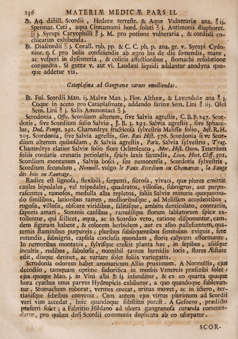 f)t. Aq. diftilL Scordii , Hedera terreftr. & Aqua? Vulneraria? ana, fij. Spermat. Ceti , aqua Cinnamomi hord. foluti 3 j. Antimonii diaphoret. 9 j. Syrupi Caryophilli ? j, M. pro potione vulneraria , & cordiali co¬ chleatim exhibenda. fy. Diafcordii 3 j. Cqrall. rub. pp, & C. C. ph. p. ana. gr. v. Syrupi Cydo- nior. q. fi pro bolis conficiendis ab segro bis de die fumendis, mane , ac vefperi in dyfenteria , & colicis affe&ionibus , ftomachi refolutione conjun&is. Si gutta? v. aut vi. Laudani liquidi addantur anodyna quo¬ que addetur vis. Cataphfma ad Gangrxnx carnes emolliendas. 1^. Fol. Scordii Mam ij. Malvae Man, j. Flor. Alth^a?, & Lavendula? ana f j. Coque in aceto pro Cataplafmate, addendo farinse Sern. Lini 5 iij. Olei Sem. Lini ? j. Salis Ammoniaci 3 j. Scrodonia , Offic. Scordium alterum, five Salvia agreftis, C.B.P. 247. Scor- dotis , five Scordium folio Salvia , J. B. 3. 293. Salvia agreftis , five Sphace- lus, Dod. Pempt. 291. Chamxdrys ffufticofa fylveftris Melifla? folio, Zw/LR.He 205. Scordonia, five Salvia agreftis, Ger. Raii Hifl. 576. Scordonia five Scor¬ dium alterum quibufdam , & Salvia agreftis, Park. Salvia fylveftris , Trag. Chama?drys elatior Salvia? folio flore Ochroleuco , Mor. Hifl. Oxon. Teucrium foliis cordatis crenatis petiolatis, fpicis laxis fecundis, Linn. Hon.Cliff.301. Scordium montanum, Salvia bofoi , feu nemorenfis , Scordotis fylveftris * Scordium fecundum , Nonnull. vulgo le Faux Scordium cu Cbamarras 3 la Sauge des bois ou Sauvage. Radice eft lignofa, flexibili, ferpenti, fibrofa, vivaci, quae plures emittit caules bipedales, vel tripedales, quadratos, villofos, fubnigros, aut purpu- rafcentes, ramofos, medulla alba repletos, foliis Salvia? minoris quoquomo- do fimilibus, latioribus tamen, mollioribufque, ad Meliflam accedentibus , rugofis, villofis, obfcure viridibus, falitifque, ambitu denticulato, contrariis, faporis amari. Summis caulibus , ramulifque florum labiatorum fpica? ex¬ tolluntur, qui fcilicet, a?qua, ac in Scordio vero, ratione difponuntur,eam- dem figuram habent, & colorem herbidum , aut ex albo pallefcentem, qua¬ ternis flaminibus purpureis ; pluribus fubfequentibus feminibus exiguis, fere rotundis, fubnigris, capfula conclufis quondam , flori§ calycem efformante. In nemoribus montanis , fylvifque crefoit planta ha?c , in fepibus , aliifque incultis , rudibus , fabulofis , nonnihil tamen humidis locis, flores TEftate edit, diuque detinet, ac variare folet foliis variegatis. Scrodonia odorem habet aromaticum Allio proximum. A Nonnullis, ejuS deco&io , tamquam optime fudorifica in morbis Venereis pra?fcribi folet .* ejus quoque Man. j. in Vini albi 1B ij. infunditur , & ex eo quarta quaque hora cyathus unus parvus Hydropicis exhibetur, a quo quandoque fublevan- tur. Stomachum roborat, vermes enecat, urinas movet, ac in i&ero, ter- tianifque febribus convenit . Cum autem ejus virtus plurimum ad Scordii veri vim accedat, huic quandoque fubftitui poteft . A Gefnero , pradiclo pta?ferri folet ; a Fabritio Hildano ad ulcera gangramoia curanda commen¬ datur, pro quibus dofi Scordii communis duplicata ab eo ufurpatur. SCOR-