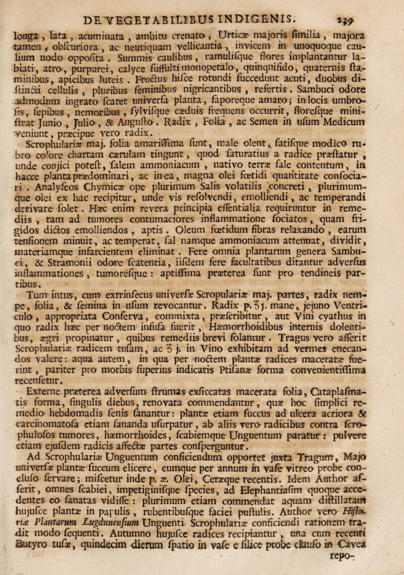 D E TEGE T A B ILI B U S IN DIG/ENIS. longa , lata , acum inata , ambitu crenato , Urtica? majoris fimiik, majora tamen * obfctmora , ac neutiquam vellicantia , invicem in unoquoque cati¬ llum nodo oppofita . Summis caulibus, ramuiifque flores implantantur Ia- biati, atro , purpurei, calyce fiiffuiti monopetalo, quinqnifido, quaternis fla¬ minibus, apicibus luteis . Fru&us hifce rotundi fuccedimt acuti, duobus di- ftindi cellulis , pluribus feminibus nigricantibus , refertis. Sambuci odore admodum ingrato flatet univerfe planta , faporeque amaro ; in locis umbro» fe, fepibus, nemoribus , fylvifque cseduis frequens occurrit, fiorefque mini- flrat Junio , Julio , & Augufto . Radix , Folia , ac Semen in ufum Medicum veniunt, pnecipue vero radix. ScrophulanV maj. folia amarifftma finit, male olent, fatifque modico ru¬ bro colore chartam casrulam tingunt, quod feturatius a radice proflatur , unde conjici potefl, felem ammoniacum , nativo terra? fele contentum , in hacce pJanta pradominari, ac in ea , magna olei foetidi quantitate confocia- ri . Analyfeos Chymica? ope plurimum Salis volatilis .concreti, plurimum¬ que olei ex hac recipitur, unde vis refolvendi, emolliendi , ac temperandi derivare fo-let. Fkc enim revera principia eflentialia requiruntur in reme¬ diis , tam ad tumores contumaciores inflammatione fociatos, quam fri¬ gidos didos emolliendos , aptis . Oleum foetidum fibras relaxando , earum tenfioncm minuit, ac temperat, fal namque ammoniacum attenuat, dividit, materiamque infarcientem eliminat. Fere omnia plantarum genera Sambu¬ ci, & Stramonii odore flatentia, iifliem fere facultatibus ditantur adverfus inflammationes 3 tumorefque : aptiffima praeterea firnt pro tendineis par¬ tibus . Tum intus, cum extrinfecus univerfa Scropulariae maj. partes, radix nem¬ pe, folia, & femina in ufiim revocantur. Radix p.?j, mane, jejuno Ventri¬ culo , appropriata Conferva, commixta, praefcribitur, aut Vini cyathus in quo radix ha?c per nodem infida fuerit, Ha?morrhoidibus internis dolenti¬ bus, a?gri propinatur, quibus remediis brevi folancur , Tragusvero aflerit Scrophularia? radicem tufam, ac 5 j. in Vino exhibitam ad vermes enecan¬ dos valere: aqua autem, in qua per nodem planta* radices macerata? fue¬ rint , pariter pro morbis fiiperius indicatis Ptifena? forma convenientiffima recenfetur. Externe praterea adverfiim flrumas exficcatas macerata folia , Cataplafma- tis forma, fingulis diebus, renovata commendantur, qua? hoc fimplici re¬ medio hebdomadis fenis fenantur: planta? etiam fuccus ad ulcera acriora Se carcinomatofa etiam fananda ufiirpatur, ab aliis vero radicibus contra Aro- phulofos tumores, haemorrhoides, flabiemque Unguentum paratur : pulvere etiam ejufdem radicis affedse partes confperguntur. Ad Scrophularia? Unguentum conficiendum opportet juxta Tragum , Majo univerfa? planta? fuccum elicere, eumque per annum m vafe vitreo probe con- elufo fervare; mifletur inde p. a?. Olei, Ceraque recentis. Idem Aethor af- ferit, omnes flabiei, impetiginifque fpecies, ad Elephantiafim quoque acce¬ dentes eo fenatas vidifle : plurimum etiam commendat aquam diflillatant hujufle planta in papulis, rubentibufque faciei puftulis. Author vero Hiflm? ri£ Plantarum Lugdunenfium Unguenti Scrophularia? conficiendi rationem tra¬ dit modo fequenti. Autumno hujufle radices recipiantur, una cum recenti Butyro tufa?, quindecim dierum (patio in vafe e filice probe cfaufb in Caveri repo-