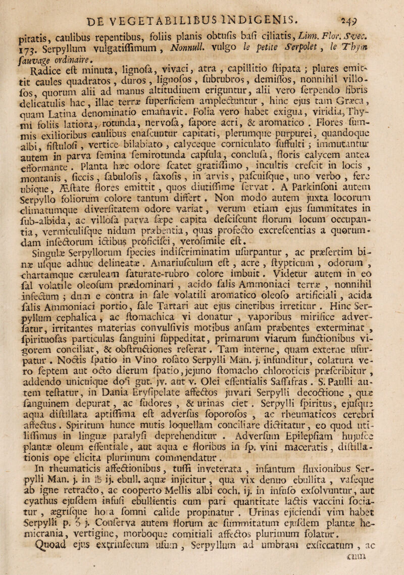 piratis, caulibus repentibus, foliis planis obtufis bafi ciliatis,Linn.Flor.Svec. 175. Serpyllum vulgatiffimum , Nonnull. vulgo le petite Serpolet, le Tbym fauvage ordmaire. Radice eft minuta, lignofa, vivaci, atra , capiilitio ftipata ; piures emit¬ tit caules quadratos, duros, lignofos , fubrubros, demiflos, nonnihil villo- fos, quorum alii ad manus altitudiuem eriguntur, alii vero ferpendo fibris delicatulis hac, illae terra; fuperficiem amplectuntur , hinc ejus tam Graeca, quam Latina denominatio emanavit. Folia vero habet exigua, viridia. Thy¬ mi foliis latiora, rotunda, nervofa, fapore acri, & aromatico . Flores finn- mis exilioribus caulibus enafeuntur capitati, plerumque purpurei, quandoque albi fiftulofi , vertice bilabiato , calyceque corniculato fuffulti ; immutantur autem in parva femina femirotimda capfula, conclufa, Horis calycem antea efformante . Planta ha;c odore fcatet gradilimo , incultis crefcit in locis , montanis , ficcis, fabulofls , faxofis , in arvis, pafcuiique, uno verbo , fere ubique, ALftate flores emittit , quos diutiffime fervat . A Parkinfoni autem Serpyllo foliorum colore tantum differt . Non modo autem juxta locorum climatumque diverfitatem odore variat, verum etiam ejus fummitates in fub-albida, ac villofa parva fxpe capita defeifeunt florum locum occupan¬ tia, vermiculifque nidum praebentia, quas profedo excrefcentias a quorum* dam infedorum idibus proficiici, verofimile eft* Singula Serpyllorum fpecies indiferiminatim ufurpantur , ac prsefertim bi¬ nae ufque adhuc delineato;. Amariufculuin eft , acre , ftyptictim , odorum , chartamque cseruleatii faturate-rubro colore imbuit. Videtur autem in eo fal volatile oleofttm pnedominari , acido falis Ammoniaci terra; , nonnihil infectum ; dum e contra in fale volatili aromatico oleofo artificiali , acida falis Ammoniaci portio, fale Tartari aut ejus cineribus irretitur . Hinc Ser¬ pyllum cephalica, ac ftomachica vi donatur , vaporibus mirifice adver- fatur, irritantes materias convulfivis motibus anfam prsebentes exterminat 5 fpirituofas particulas fanguini fiippeditat, primarum viarum fundionibus vi¬ gorem conciliat, 8c obftrudiones referat. Tam interne, quam externe ufur- 'patur . Nodis (patio in Vino rofato Serpylli Man. j. infunditur, colatura ve¬ ro feptem aut odo dierum (patio Jejuno ftomacho chloroticis praeferibitutr, addendo unicuique dofi gut. jv. aut v. Olei effentialis Saflafras . S. Paulli au¬ tem tefratur, in Dania Eryfipelate affedos juvari Serpylli decodione , quas fanguinem depurat, ac fudores , & urinas ciet. Serpylli fpiritus, ejnfqtre aqua diftillata aptiffima eft adverfus foporofos , ac rheumaticos cerebri affedus. Spiritum hunce mutis loquellam conciliare dlditatur, eo quod uti¬ li flimus in lingua paralyfi deprehenditur . Adverfinn Epilepfiam hujufce planta oleum effentiale, aut aqua e floribus in fp, vini maceratis, diftilla- tionis ope elicita plurimum commendatur. In rheumaticis affedionibus, tuflfi inveterata , infantum fluxionibus Ser¬ pylli Man. j. in fc ij. ebuli, aqua? injicitur , qua vix denuo ebullita , vafeque ab igne retrado, ac cooperto Mellis albi coch. i j. in infofb exfolvuntur, aut cyathus ejofdem infufi ebullientis cum pari quantitate ladis vaccini focia- tur , a?grifque ho a fomni calide propinatur . Urinas ejiciendi vim habet Serpylli p, 5 j. Conferva autem floram ac fumrnitatum ejirfdem plantas he¬ micrania, vertigine, morboque comitiali affedos plurimum folatur. Quoad ejus extnnfecura ufuoi, Serpyllum ad umbram exuccarum , ac 0301