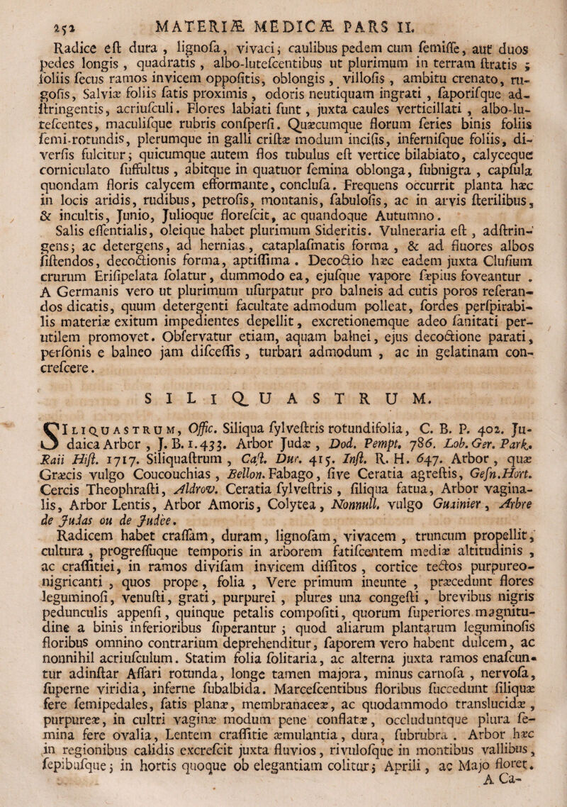 Radice eft dura , lignofa, vivaci; caulibus pedem cum femiffe, aut duos pedes longis , quadratis , albo-lutefcentibus ut plurimum in terram ftratis ; foliis fecus ramos invicem oppofitis, oblongis , villofis , ambitu crenato, ru- gofis, Salvias foliis fatis proximis , odoris neutiquam ingrati , faporifque ad- ilringentis , acriufculi. Flores labiati funt, juxta caules verticillati , albo-lu- tefcentes, maculifque rubris confperft. Quacumque florum feries binis foliis femi-rotundis, plerumque in galli crifta? modum incifis, infernifque foliis, di- verfis fulcitur; quicumque autem flos tubulus eft vertice bilabiato, calyceque corniculato fuffaltus , abitque in quatuor femina oblonga, fubnigra , capiula quondam floris calycem efformante, conclufa. Frequens occurrit planta ha?c in locis aridis, rudibus, petrofis, montanis, fabulofls, ac in arvis fterilibuss & incultis, Junio, Julioque florefcit, ac quandoque Autumno. Salis effentialis, oleique habet plurimum Sideritis. Vulneraria eft , adftrin- gens; ac detergens, ad hernias, cataplafmatis forma , & ad fluores albos fiftendos, deco&ionis forma, aptiflima . Decodtio hi?c eadem juxta Cluflum crurum Erifipelata folatur, dummodo ea, ejufque vapore faepius foveantur . A Germanis vero ut plurimum ufurpatur pro balneis ad cutis poros referan- dos dicatis, quum detergenti facultate admodum polleat, fordes perfpirabi- lis materia? exitum impedientes depellit, excretionemque adeo fanitati per¬ utilem promovet. Obfervatur etiam, aquam balnei, ejus deco&ione parati, perfbnis e balneo jam difceffis, turbari admodum , ac in gelatinam con- crefcere. SILI QUASTRUM. SIliq^uastrum, Offic. Siliqua fylveftris rotundifolia, C. B. P. 402. Ju¬ daica Arbcr , J. B. 1.433. Arbor Juda? , Dod. Pempt. 785. Lob.Ger. Park* Raii Hift. 1717. Siliquaftrum , Caji. Dur. 415. Inft. R. H. 647. Arbor , qua? Gra?cis vulgo Coucouchias , BelloruFabago, five Ceratia agreftis, Gefn.Hort. Cereis Theophrafti, Aldrov. Ceratia fylveftris , filiqua fatua, Arbor vagina¬ lis , Arbor Lentis, Arbor Amoris, Colytea, Nonnull, vulgo Giuinier, Arbre de Judas ou de Judee. Radicem habet craffam, duram, lignofam, vivacem , truncum propellit, cultura , progrefliique temporis in arborem fatifcentem media? altitudinis , ac craffitiei, in ramos divifam invicem diflitos , cortice teilos purpureo- nigricanti , quos prope, folia , Vere primum ineunte , pra?cedunt flores leguminofi, venufti, grati, purpurei , plures una congefti, brevibus nigris pedunculis appenfi, quinque petalis compoflti, quorum fuperiores magnitu¬ dine a binis inferioribus fiiperantur ; quod aliarum plantarum leguminofis floribus omnino contrarium deprehenditur, faporem vero habent dulcem, ac nonnihil acriulculum. Statim folia folitaria, ac alterna juxta ramos enafcun- tur adinftar Affari rotunda, longe tamen majora, minus carnofa , nervofa, fiiperne viridia, inferne fubalbida. Marcefcentibus floribus fuccedunt filiquse fere femipedales, fatis plana?, membranacea?, ac quodammodo translucida?, purpurea?, in cultri vagina? modum pene conflata?, occluduntque plura fe¬ mina fere ovalia, Lentem craffitie a?mulantia, dura, fubrubra . Arbor hxc in regionibus calidis excrefcit juxta fluvios, rivulofque in montibus vallibus, fepibufque; in hortis quoque ob elegantiam colitur5 Aprili, ac Majo floret* 1. A Ca-