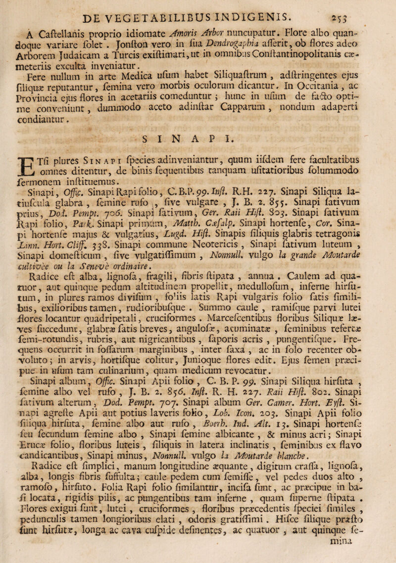 A Caftellanis proprio idioraate Amoris Arbor nuncupatur. Flore albo quan¬ doque variare folet . Jonfton vero in Tua Dendrogapbia aderit, ob flores adeo Arborem Judaicam a Tureis exiftimari, ut in omnibus Conftantinopolitanis c«- meteriis exculta inveniatur. Fere nullum in arte Medica ufum habet Siliquaftrum , adftringentes ejus filiquae reputantur, femina vero morbis oculorum dicantur. In Occitania, ac Provincia ejus flores in acetariis comeduntur ; hunc in ufum de fado opti¬ me conveniunt, dummodo aceto adinflat Capparum, nondum adaperti condiantur. SINAPI. ETfi plures Sinapi fpecies adinveniantur, quum iifdem fere facultatibus omnes ditentur, de binis fequentibus tanquam ufitatioribus folummodo Termonem inflituemus. Sinapi, Offie. Sinapi Rapi folio, C B.P. 99. Irft. R,H. 227. Sinapi Siliqua ia- tiufcula glabra, femine rufo , flve vulgare , J. B. 2. 855. Sinapi fativum prius, DoL Pempt. 706. Sinapi! fativum, Ger. Raii Hift. $03. Sinapi fativum Rapi folio, Pari. Sinapi primum, Mattb. Cxfdp. Sinapi hortenfe, Cor. Sina¬ pi hortenfe majus & vulgatius, Lugd. Hift. Sinapis Aliquis glabris tetragonis Lmn. Hon.Cliff,1 538. Sinapi commune Neotericis , Sinapi fativum luteum , Sinapi domefticum , flve vulgat i (limum , Nonnull. vulgo la grande Moutarde cidiivbe ou la Sene ve ordinaire. Radice eft alba, lignofa, fragili, Abris ftipata , annua . Caulem ad qua- ruor, aut quinque pedum altitudinem propellit, medullofum, inferne hirfii- tum, in plures ramos divifutn , foflis latis Rapi vulgaris folio fatis fimili- bus, exilioribus tamen, rudioribufque . Summo caule , ramifque parvi lutei flores locantur quadripetali, cruciformes . Marcefcentibus floribus Siliqua lae¬ ves fiicceduni, glabrae fatis breves, angulofee, acuminatae , feminibus refertae femi-rotundis, rubris, aut nigricantibus , fiporis acris , pungentifque. Fre¬ quens occurrit in foflarum marginibus , inter laxa , ac in folo recenter ob¬ voluto; in arvis, hortifque colitur, Junioque flores edit. Ejus femen praeci¬ pue in ufum tam culinarium, quam medicum revocatur. Sinapi album, Offie. Sinapi Apii folio , C. B. P. 99. Sinapi Siliqua hirfiita , femine albo vel rufo , J. B. 2. 856. Inft. R. H. 227. Raii Hift. 802. Sinapi fativum alteram, Dod. Pempt. 707. Sinapi album Ger. Gamer. Hort. Eyfl. Si¬ napi agrefle Apii aut potius laveris foHo, Lob. Icon. 203, Sinapi Apii folio fliiqua hirfiita 5 femine albo aut rufo , Boerb. Ind. Alt. 13. Sinapi hortenfe feu fecundum femine albo , Sinapi femine albicante , & minus acri; Sinapi Erucae folio, floribus luteis , Aliquis in latera inclinatis , feminibus ex flavo candicantibus, Sinapi minus, Nonnull. vulgo la Moutarde blanche. Radice eft Amplici, manum longitudine aequante, digitum crafla, lignofa, alba, longis Abris futfulta; caule pedem cum femifle, vel pedes duos alto , ramo io, hiriuto. Folia Rapi folio Amilantur, incifafunt, ac praecipue in ba- ii locata, rigidis pilis, ac pungentibus tam inferne , quam fuperme ftipata . Flores exigui femt, lutei, cruciformes , floribus praecedentis ipeciei Amiles , pedunculis tamen longioribus elati , odoris gratiflimi. Fflfce Aliqiie prafto fiint hirfiitr, longa ac cava cufpide definentes, ac quatuor 3 aut quinque fe¬ mina