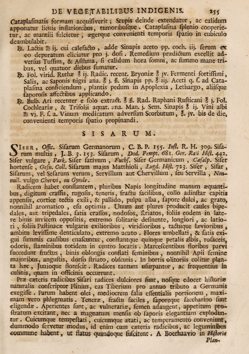 Cataplafmatis formam acquifiverit; Stupis deinde extendatur, ac calidum apponatur lienis inflationibus, tumoribufque. Cataplafma fplenio cooperie¬ tur , ac mantili fulcietur , segerque convenienti temporis fpatio in cubiculo deambulabit, fy. Ladis ij. cui calefado , adde Sinapis aceto pp. coch. iij. ferum ex eo depuratum eliciatur pro j. dofl . Remedium praedidum excellit ad- verfus Tuflim, & Aflhma, fi calidum hora (omni, ac fummo mane tri¬ bus, vel quatuor diebus fumatur. B*. Fol. virid. Ruthae ? ij. Radie, recent. Bryoniae 5 jv. Fermenti fortifiimi. Salis, ac Saponis nigri ana. ? j. fi. Sinapis pp. ? iij. Aceti q. C ad Cata- plafma conficiendum , plantis pedum in Apoplexia , Lethargo, aliifque faporofis affedibus applicando. ]^. Bulb. Ari recenter e folo extrad, ? fi. Rad» Raphani Ruflicani ? j. Fol. Cochlearia?, & Trifolii aquat. ana. Man. j. Sem. Sinapis 5 ij. Vini albi vj. F. f. a. Vinum medicatum adverfiim Scorbutum, jv* bis de die, convenienti temporis fpatio propinandi. S I S A R U M. SIser , Offic, Sifarum Germanorum , C. B. P. 155. Inft. R. H. 309. Sila¬ rum multis , 3* 155. Sifarum , Dod. Fmpt. 681. Ger. Raii Hift. 442. Sifer vulgare , Fark. Sifer fativum , Fuchf. Sifer Germanicum , Cafalp. Siler hortenfe , Gefn. Coli. Sifarum majus Matthioli, Lugd. Hift. 723. Sifer , Sifer , Sifarum, vel Sefarum verum, Servilium aut Chervillum , feu Servilia , Non- null. vulgo Chervi, ou Gyrole. Radicem habet conflantem, pluribus Napis longitudine manum aequanti¬ bus, digitum craffis, rugofis, teneris, fradu facilibus, collo adinflar capitis appenfis, cortice tedis exili, & pallido, pulpa alba, fapore dulci, ac grato, nonnihil aromatico , efu optimis . Unum aut plures producit caules bipe¬ dales, aut tripedales, fatis craffos, nodofos, flriatos, foliis eodem in late¬ re binis invicem oppofitis, extremo folitarie definente, longiori, ac latio¬ ri , foliis Paftinacae vulgaris exilioribus , viridioribus , taduque laevioribus , ambitu levifiime denticulato, extremo acuto . Flores umbellati, & fetis exi¬ gui furnmis caulibus enafeuntur, conflantque quinque petalis albis, rofeceis, odoris, flaminibus totidem in centro locatis . Marcefeentibus floribus parvi fuccedunt frudus , binis oblongis conflati feminibus , nonnihil Apii femine majoribus, anguflis, dorfo flriato, obfeuris. In hortis olitoriis colitur plan¬ ta haec, Junioque florefeit. Radices tantum ufurpantur, ac frequentius in culinis, quam in officinis occurrunt. Prae caeteris radicibus Siferi radices dulciores fimt, nofque edocet hiflorias naturalis confcriptor Plinius , eas Tiberium pro annuo tributo a Germanis exegifle . Parum habent olei, mediocrem falis effentialis portionem , maxi¬ mam vero phlegtnatis. Tenerae, fradu faciles , feporeque faccharino fimt eligendae. Aperientes funt, ac vulnerariae, femen adaugent, appetitum pro- liratum excitant, nec a magnatum menfis ob faporis elegantiam explodun¬ tur . Cuicumque tempeflati, cuicumque at at i, ac temperamento conveniunt, dummodo fervetur modus, id enim cum cateris radicibus, ac leguminibus commune habent „ ut flatus quandoque fufeitent. A Boerhaayio in Hiftom Plan*