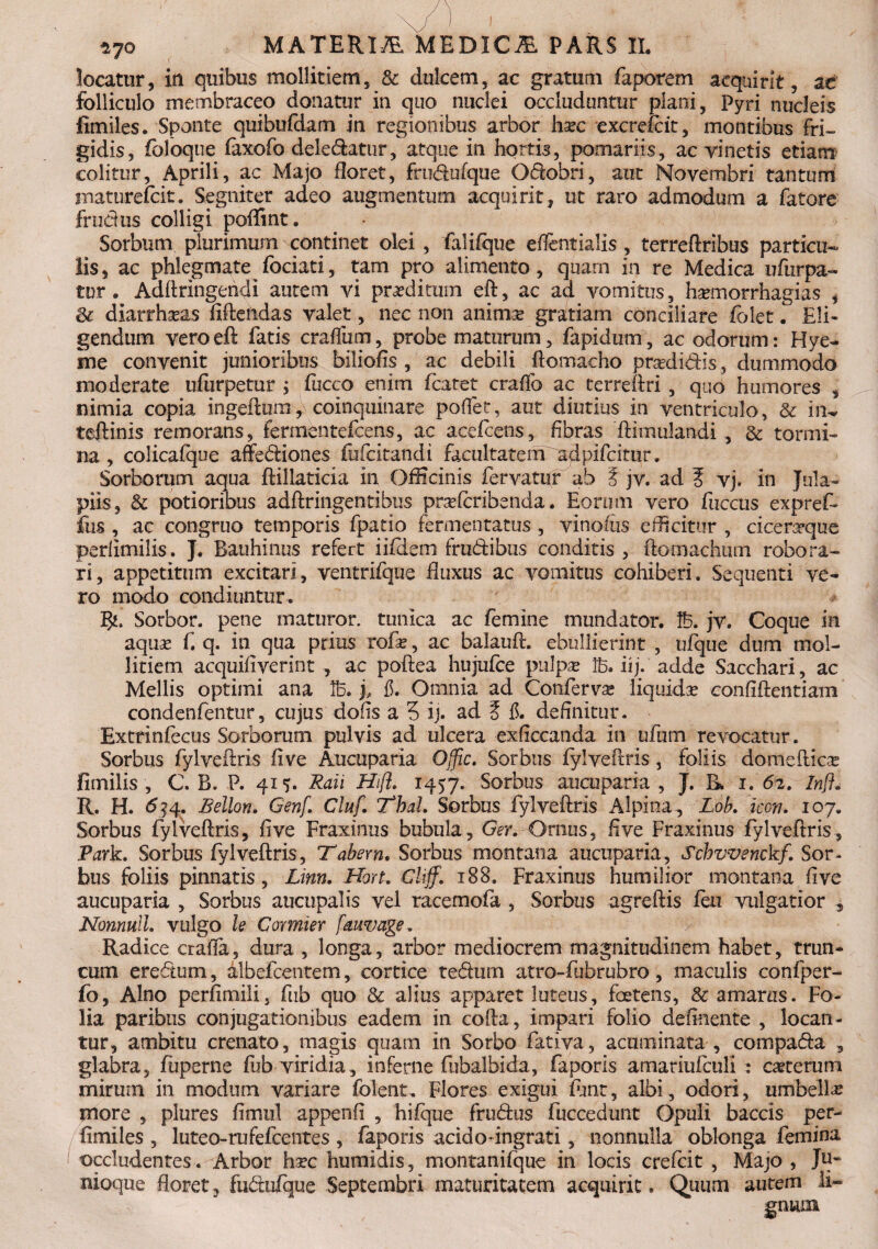 locatur, iu quibus mollitiem, & dulcem, ac gratum faporem acquirit, ac folliculo membraceo donatur in quo nuclei occluduntur plani, pyri nucleis fimiles. Sponte quibufdam in regionibus arbor hsec excrefcit, montibus fri¬ gidis, fbloque (axofo deledatur, atque in hortis, pomariis, ac vinetis etiam colitur, Aprili, ac Majo floret, frudufque Odobri, aut Novembri tantum inaturefcit. Segniter adeo augmentum acquirit, ut raro admodum a fatore frudus colligi poflint. Sorbum plurimum continet olei , falifque eflentialis , terreftribus particu¬ lis, ac phlegmate fociati, tam pro alimento, quam in re Medica ufurpa- tur . Adftringendi autem vi proditum eft, ac ad vomitus, hsemorrhagias , diarrhoeas fiftendas valet, nec non animv gratiam conciliare folet. Eli¬ gendum vero eft fatis crafliim, probe maturum, fapidum, ac odorum: Hye- me convenit junioribus biliofis , ac debili ftomacho prasdidis, dummodo moderate ufurpetur ; fucco enim fcatet craffo ac terreftri , quo humores , nimia copia ingeflum,Vcoinquinare poflet, aut diutius in ventriculo, & in^ teftinis remoratis, fermentefcens, ac acefcens, fibras ftimulandi, & tormi¬ na, colicalque affediones fufcitandi facultatem adpifcitur. Sorborum aqua ftillaticia in Officinis fervatur ab E jv. ad E vj. in Jula- piis, 8c potioribus adftringentibus praefcribenda. Eorum vero fuccus expref- fus , ac congruo temporis fpatio fermentatus , vinoms efficitur , cicerrque perlimilis. J. Bauhinus refert iifdem frudibus conditis , ftomachum robora¬ ri, appetitum excitari, ventrifque fluxus ac vomitus cohiberi. Sequenti ve¬ ro modo condiuntur. Sorbor, pene maturor, tunica ac femine mundator. K jv. Coque ia aquoe f. q. in qua prius tofe, ac balauft. ebullierint , ufque dum mol¬ litiem acquifivcrint , ac poftea hujufce pulpas !h. iij: adde Sacchari, ac Mellis optimi ana Ib. j, f. Omnia ad Conferva liquidas confidentiam condenfentur, cujus dofis a 5 ij. ad E fi. definitur. Extrinfecus Sorborum pulvis ad ulcera exficcanda in ufum revocatur. Sorbus fylveftris five Aucuparia Ojfic. Sorbus fylveftris, foliis domefticoe fimilis , C. B. P. 415. Redi Hift. 1457. Sorbus aucuparia , J. Ik 1. 6*2. Infl. R. H. 634. Bellon. Genf. Cluf. Thal. Sorbus fylveftris Alpina , Lob, icon. 107. Sorbus fylveftris, five Fraxinus bubula, Ger. Ornus, five Fraxinus fylveftris, Park. Sorbus fylveftris, Tabem, Sorbus montana aucuparia, Schvvenckf. Sor¬ bus foliis pinnatis, Linn, Hort. Gliff. 188. Fraxinus humilior montana five aucuparia , Sorbus aucupalis vel racemofa , Sorbus agreftis feu vulgatior „ Nonnull. vulgo le Cormier fauvage. Radice crafia, dura , longa, arbor mediocrem magnitudinem habet, trun¬ cum eredum, albefcentem, cortice tedum atro-fubrubro, maculis confper- fo, Alno perfimili, fub quo & alius apparet luteus, foetens, & amarus. Fo¬ lia paribus conjugationibus eadem in cofta, impari folio delinente , locan¬ tur, ambitu crenato, magis quam in Sorbo fativa, acuminata , compada , glabra, fuperne fub viridia, inferne fubalbida, faporis arnariufculi : ceterum mirum in modum variare folent. Flores exigui fhnt, albi, odori, umbella: more , plures fimul appenfi , hifque frudus fuccedunt Opuli baccis per- fimiles , luteo-rufefcentes , faporis acidodngrati , nonnulla oblonga femina occludentes. Arbor hoec humidis, montanifque in locis crefcit , Majo , Ju~ nioque floret , fudufque Septembri maturitatem acquirit. Quum autem li¬ gnum