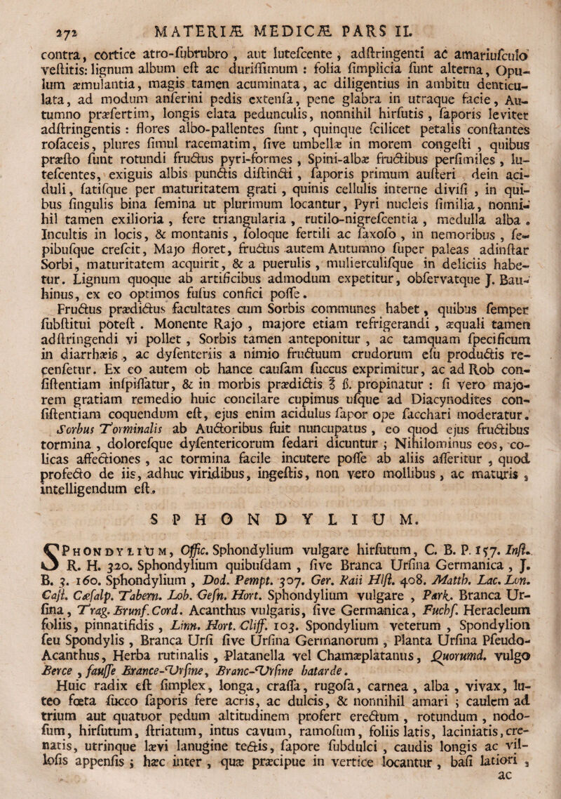 contra, cortice atro-fubrubro , aut lutefcente , addringenti ac amariufculo veditis: lignum album ed ac duriflimum : folia fimplicia fiint alterna, Opu¬ lum aemulantia, magis tamen acuminata, ac diligentius in ambitu denticu¬ lata, ad modum anferini pedis extenfa, pene glabra in utraque facie. Au¬ tumno praefertim, longis elata pedunculis, nonnihil hirfutis , faporis leviter adftringentis : flores albo-pallentes funt, quinque (cilicet petalis conftantefc rofaceis, plures fimul racematim, five umbellae in morem congefti , quibus praedo funt rotundi frudus pyri-formes , Spini-albae frudibus perfimiles , lu~ tefcentes, exiguis albis pundis diftindi, faporis primum auderi dein aci¬ duli , fatifque per maturitatem grati, quinis cellulis interne divifi , in qui¬ bus Angulis bina femina ut plurimum locantur, Pyri nucleis fimilia, nonni¬ hil tamen exilioria , fere triangularia , rutilo-nigrefcenti a , medulla alba * Incultis in locis, Sc montanis , foloque fertili ac faxofo , in nemoribus , fe~ pibufque crefcit, Majo floret, frudus autem Autumno fuper paleas adinftar Sorbi, maturitatem acquirit, & a puerulis, muiiercuUfque in deliciis habe¬ tur. Lignum quoque ab artificibus admodum expetitur, obfervatque J. Bau* hinus, ex eo optimos fufiis confici pofle. Frudus praedidus facultates cum Sorbis communes habet, quibus femper fiibditui poted . Monente Rajo , majore etiam refrigerandi , squali tamen adftringendi yi pollet, Sorbis tamen anteponitur , ac tamquam fpecificum in diarrhsis , ac dyfenteriis a nimio fruduum crudorum efti produdis re- cenfetur. Ex eo autem ob hance caufitm fuccus exprimitur, ac adRob con¬ fidentiam infpiflatur, & in morbis praedidis ? f. propinatur : fi vero majo¬ rem gratiam remedio huic concilare cupimus ufque ad Diacynodites con¬ fidentiam coquendum ed, ejus enim acidulus fapor ope facchari moderatur. Sorbus 'Torminalis ab Audoribus fuit nuncupatus , eo quod ejus frudibus tormina , dolorefque dysentericorum fedari dicuntur ; Nihilominus eos, co¬ licas affediones , ac tormina facile incutere pofle ab aliis afleritur , quod profedo de iis, adhuc viridibus, ingeftis, non vero mollibus, ac maturis s intelligendum ed, S P H O N D Y L I U M. SPhonbyiiXjm, Offic. Sphondylium vulgare hirfutum, C B. P. i?y. /«/?. R. H. 320. Sphondylium quibufdam , five Branca Urfina Germanica , J. B. 3. 160. Sphondylium , Dod. Pempt. 30 j. Ger. Raii Hljl. 408. Matth. Lac.Lvn. Caji. Crtfalp. Tabem. Lob. Gefn. Hort. Sphondylium vulgare , Park» Branca Ur¬ fina , Tmg.Erunf.Cord. Acanthus vulgaris, five Germanica, Fuchf. Heracleum foliis, pinnatifidis , Linn. Hort. Ciijf. 103. Spondylium veterum , Spondylion feu Spondylis , Branca Urfi five Urfina Germanorum , Planta Urfina Pfeudo- Acanthus, Herba rutinalis , Platanella vel Chamaeplatanus, Quommd, vulgo E er ce , fauffe Ex'ance ^Vrfine, Eranc-^Vrfwe batarde. Huic radix ed: fimplex, longa, craffa, rugofa, carnea, alba , vivax, lu¬ teo foeta fucco faporis fere acris, ac dulcis, & nonnihil amari ; caulem ad trium aut quatuor pedum altitudinem profert eredum , rotundum , nodo- fum, hirfutum, driatum, intus cavum, ramofum, foliis latis, laciniatis, cre- natis, utrinque laevi lanugine tedis, fapore fijbdulci , caudis longis ac vil- lofis appenfis i haec inter , quae praecipue in vertice locantur, bafi latiori 3 ac