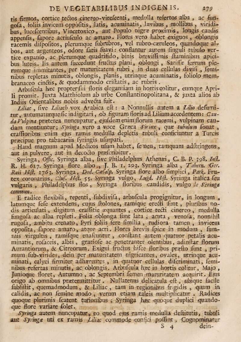 tls firmos, cortice tedos cinereo-virefcenti, medulla refertos alba , ac futt- gofa, foliis invicem oppofitis, latis, acuminatis, laevibus , mollibus , viridi¬ bus, lucefcetitibus, Vincetoxico, aut Populo nigras proximis, longis caudis appenfis, fepore acriufculo ac amaro. Flores vero habet exiguos , oblongis racemis difpofitos, plerumque fubrubros, vel rubro-caeruleos, quandoque al¬ bos, aut argenteos, odore fatis ftiavi: conflantur autem Anguli tubulo ver¬ tice expanfo, ac plerumque quadrifido, binis breviffimis flaminibus apici¬ bus luteis . Iis autem fuccedunt . frudus plani , oblongi , Sarlffe ferrum ple¬ rumque munitantes, per maturitatem rubri , in duas cellulas divifi , femi¬ nibus repletas minutis, oblongis, planis, utrinque acuminatis, foliolo mmi* branaceo cindis, & quodammodo criftatis, ac rubris . Arbufcula hxc propter fui floris elegantiam in hortis colitur, eumque Apri¬ li promit. Juxta Matthiolum ab urbe Conftantinopolitana, Sc juxta alios ab Xndiis Orientalibus nobis advecta fuit * Liliac , flve Liliach vox Arabica eft : a Nonnullis autem a Lilio defutni- tur, autumaturqueficindigitari, ob figuram floris ad Lilium accedentem : Cau¬ da Fulpina praeterea nuncupatur, ejufclem enim florum racemi, vulpinam cau¬ dam mentiuntur, syringa vero a voce Graeca Sirimf quae tubulum fanat , craflioribus enim ejus ramis medulla depletis tubuli conficiuntur a Tureis praecipue pro tabacariis fyringis ufurpati. Haud magnum apud Medicos iifum habet, femen, tamquam adfiringen$s aut in pulvere, aut in deco&o praefcribitnr. ^Syringa, Offic. Syringa alba, fi ve Philadelphus Athenaei, C. .B, P. 39% R. H. 617, Syringa flore albo ;, J. B. r./203« Syringa alba , Tabern. Ger. Raii Hifl. 1763. Syringa, Dod. Cefatp» Syringa flore albo fimplici, Pari. Fru¬ tex coronarius, Cluf. Hifl. 5?. Syringa vulgo, Lugd. Hifl. Syringa italica feu vulgaris , Philadelphus flos, Syringa floribus candidis, vulgo le Sbxinga coramun. E radice flexibili, repenti, fubdivifa, arbufcula progignitur, 211 longum M latumque fefe extendens, cujus ftolones, ramique eredi funt , pluribus no¬ dis articulati, digitum crafiitie aequantes , cortice tedi cinereo , medulla fungofa ac alba repleti. Folia oblonga funt lata , acuta , venofa, nonnihil rugofa, ambitu crenato, Pyri foliis fere fimilia , rudiora tamen , invicem oppofita, fapore amaro, atque acri. Flores brevis fpiese in modum , fum- mis virgultis , ramifque enafeuntur , confiant autem quatuor petalis acu¬ minatis, rofaceis, albis , gratiofe ac penetranter olentibus, adinftar florum Aurantiorum, & Citreorum. Exigui frudus hifce floribus praeito funt , pri¬ mum fub-virides, dem per maturitatem nigricantes, ovales, utrinque acu¬ minati, calyci firmiter adhaerentes , in quatuor cellulas diferiminati, femi¬ nibus refertas minutis, ac oblongis. Arbufcula haec in hortis colitur, Majo , Junioque floret, Autumno , ac Septembri femen maturitatem acquirit. Ejus origo ab omnibus praetermittitur „ Nullatenus delicatula eft, ubique facile fiibfiftit, quemadmodum, & Liliac , tam in regionibus frigidis , quam in calidis, ac non femine modo , verum etiam taleis multiplicatur . Radices quoque plurimis fcatent turionibus 4 Syringa haec quoque duplici quando¬ que flore variare folet. Syringa autem nuncupatur , eo quod ejus ramis medulla defiitutis, tubuli aut syringe uti ex ramis Liliac commode confici poffint . Cognpminanir