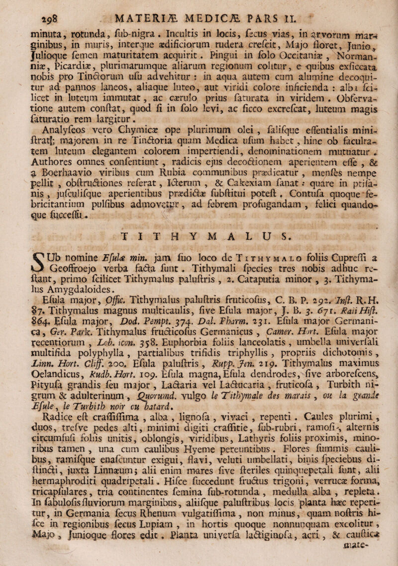 minuta, rotunda, fub-nigra. Incultis in locis, focus vias, in arvorum mar^ ginibus, in muris, interque aedificiorum rudera crefeit, Majo floret, Jtraio* Julioque femen maturitatem acquirit.. Pingui in folo Occitaniae , Norman- niae, Picardia?, plurimarumque aliarum regionum colitur, e quibus exftccata nobi§ pro Tinctorum ufu advehiturin aqua autem cum alumine decoqui¬ tur ad pannos laneos, aliaque luteo, aut viridi colore inficienda : albi fei- licet in luteum immutat, ac carrulo prius faturata in viridem . Gbferva- tione autem conflat, quod fi in folo levi, ac ficco excrefoat, luteum magis faturatio rem largitur . Analyfeos vero Chymicae ope plurimum olei , falifque eflentialis mini- ftratf; majorem in re Tindoria quam Medica ufum habet, hinc ob faculra- tem luteum elegantem colorem impertiendi, denominationem mutuatur . Authores omnes confeiitiunt , radicis ejus decodionem aperientem effe , & a Eoerhaavio viribus cum Rubia communibus praedicatur , menfts nempe pellit , obftrudiones referat, Iderum , & Cakexiam fanat .* quare in ptifa¬ nis , jufculifque aperientibus pmiidae fubftitui poteft . Contufa quoque fe¬ bricitantium pulfibus admovetur, ad febrem profligandam , felici quando¬ que (ucceffu. T I T H Y M A L U S. SLJb nomine Efula min. jam fiio loco de Tithymalo foliis Cupreffi % Geoffroejo verba fada funt. Tithymali fpecies tres nobis adhuc re¬ flant, primo fcilicet Tithymalus paluftris , 2. Cataputia minor , 3. Tithyma- lus Amygdaloides. Efula major, pfftc. Tithymalus paluftris fruticofus, C. B. P. 292. Inft. R.H. §7. Tithymalus magnus multicaulis, five Efula major, J. B, 3. 6ji. RaiiHift. 864. Efula major, Dod, Pempt. 374, Dal. Pharm. 231. Efiila major Germani¬ ca , Ger. Park. Tithymalus frudicofus Germanicus , Camer. Hort. Efiila major recentiorum , Lcb. icon. 358. Euphorbia foliis lanceolatis , umbella univerfali multifida polyphylla , partialibus trifidis triphyllis , propriis dichotomis , Linn. Hort. Clijf. 200. Efula paluftris, Rupp.Jm. 219. Tithymalus maximus Oelandicus, Rudb.Hort. 109. Efiila magna, Efula dendrodes, five arborefcens, Pityufa grandis fou major , Ladaria vel Laducaria , fruticofa , Turbith ni¬ grum & adulterinum , jQuorumd. vulgo le Tithymale des marais , ou la grande JEfule, le Turbith noir cu batard. Radice eft crafliflima , alba , lignofa , vivaci , repenti . Caules plurimi , duos, trefve pedes alti, minimi digiti crafiitie, fub-rubri, ramofi*, alternis ci-rcumfufi foliis unitis, oblongis, viridibus, Lathyris foliis proximis, mino¬ ribus tamen, una cum caulibus Hyeme pereuntibus. Flores fummis cauli¬ bus, ramifque enafcimtur exigui, flavi, veluti umbellati, binis fpeciebus di¬ ffindi , juxta Linnseum; alii enim mares five fteriles quinquepetali funt, alii hermaphroditi quadripetali. Hifce fuccedunt frudus trigoni, verrucas forma, tricapfulares, tria continentes femina fub-rotonda , medulla alba , repleta. In fobulofisfluviorum marginibus, aliifque paluftribus locis planta haec repeti¬ tur, in Germania fecus Rhenum vulgatiffima, non minus, quam noftris hi¬ fce in regionibus fecus Lupiam , in hortis quoque nonnunquam excolitur , Majo , Junioque flores edit. Planta uniyerfa ladiginofa, acri , & cauftica mate-
