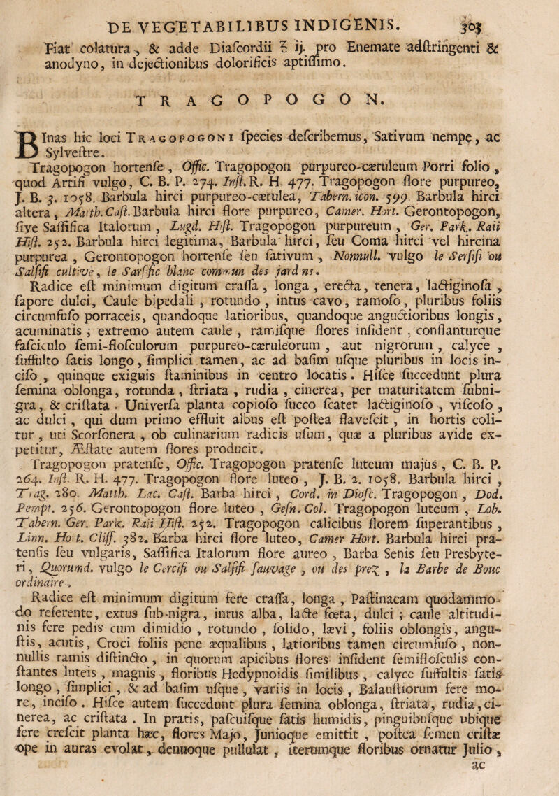 Dat colatura , & adde Diafcordii 5 ij. pro Enemate adftringenti & anodyno, in dejectionibus dolorificis aptiflimo. TRAGOPOGON. Binas hic loci Tragopogoni fpecies defcribemus, Sativum nempe, ac Sylveftre. Tragopogon hortenfe , Offic. Tragopogon purpureo-cmileum Porri folio » quod Artifl vulgo, C. B. P. 274. Inft. R. H. 477. Tragopogon flore purpureo, J. & 5. 10^8. Barbula hirci purpureo--csetulea, Tabem, icon» 599 Barbula hirci altera, MartkCafi.Barbula hirci flore purpureo, Camer. Hort. Gerontopogon, flye Saflifica Italorum , Lugd. Hfi. Tragopogon purpureum , Gew Pari. Raii Hijl. 252. Barbula hirci legitima. Barbula hirci, feu Coma hirci vel hircina purpurea , Gerontopogon hortenfe feu fativum , Nonnull. yulgo le Serfifi m Salfifi cultive, le Sarffic Mane committi des jardns. Radice eft minimum digitum crafla , longa , erecta, tenera, la&iginofa , fapore dulci. Caule bipedali , rotundo, intus cavo, ramofb, pluribus foliis circumfufo porraceis, quandoque latioribus, quandoque angndioribus longis, acuminatis ; extremo autem caule , ramifque flores infident . conflanturque fafciculo femi-flofculorum purpureo-eseruieorum , aut nigrorum , calyce , fuffiilto fatis longo, flmplici tamen, ac ad bafim ufque pluribus in locis in¬ cilo , quinque exiguis flaminibus in centro locatis. Hifce fuccedunt plura femina oblonga, rotunda, flriata , rudia , cinerea, per maturitatem fubni- gra, & criftata . Univerfa planta copiofb fucco fcatet ladfiginofo , vifeofb , ac dulci , qui dum primo effluit albus eft poftea flavefeit , in hortis coli¬ tur , uti Scorfbnera , ob culinarium radicis ufum, quae a pluribus avide ex¬ petitur, ALftate autem flores producit. Tragopogon pratenie, Offic. Tragopogon pratenfe luteum majus , C. B. P. 264. hijl R. H. 477. Tragopogon flore luteo , J. B. 2. 1058. Barbula hirci , T<ag. 280, Matth. Lac. Caji Barba hirci , Cord. in Diofc. Tragopogon , Dod* Pempt. 256. Gerontopogon flore luteo , Gefn.Coh Tragopogon luteum , Lob* Tabem. Ger. Park. Raii Hijl 252. Tragopogon calicibus florem fuperantibus , Linn. Hot. Cliffi. 582. Barba hirci flore luteo, Camer Hort. Barbula hirci pra- tenfis feu vulgaris, Saflifica Italorum flore aureo , Barba Senis feu Presbyte¬ ri , Qiioxumd. vulgo le Cercifi m Salfifi fauvage 3 ou des pxe% , la Barbe de Bouc ordinaire * Radice eft minimum digitum fere crafla, longa, Faftinacarn quodammo¬ do referente, extus fnb-nigra, intus alba, lafte foeta, dulci ; caule altitudi¬ nis fere pedis cum dimidio , rotundo , folido, larvi , foliis oblongis, angii- ftis, acutis, Croci foliis pene aqualibus , latioribus tamen circtimmio , non¬ nullis ramis diffindo , in quorum apicibus flores infident femiflofculis con¬ flantes luteis , magnis , floribus Hedypnoidis fimilibus , calyce fuffultis fatis longo , flmplici , & aci baflm ufque , variis in locis , Baiauftiorum fere mo¬ re , incifo . Hifce autem fliccedunt plura femina oblonga, ftriata, rudia, ci¬ nerea, ac criftata . In pratis, pafcuifque fatis humidis, pinguibufque ubique fere crefcit planta harc, flores Majo, Junioque emittit , poftea femen crifta* ope in auras evolat, denuoque pullulat, iterumque floribus ornatur Julio ac