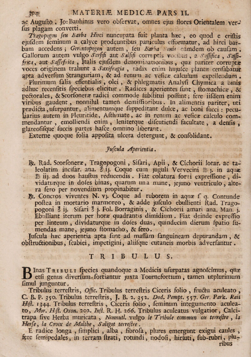 ac Auguflo . Jo: Bauhinus vero obfervat, omnes ejus flores Orientalem ver¬ ius plagam converti. Tragopogon feu Barba Hirci nuncupata fuit planta haec , eo quod e criftis ejufdem feminum a calyce prodeuntibus paniculus efforamur, ad hirci bar¬ bam accedens ; Gercntopogon autem , feu Barba S'enif eimdem ob caufam . Gallorum autem vulgo Serfifi aut Salfifi corruptis yodbus , a Saffifica , Sajfi- frica, aut Saffefrica , Italis ejufdem denominationibus, quas pariter corrupte voces originem trahunta Saxi fragia. , radix enim hujufce piante cen fabatur apta adverfum Stranguriam, & ad renum ac vefica? calculum expellendum . Plurimum falis effentialis , olei, & phlegmatis Analyfi Chymica a binis adhuc recenfitis fpeciebus elicitur . Radices aperientes funt , ftomachica? , Sc pe&orales, & Scorfonerar radici commode fubftitui poffunt; fere iifdem enim viribus gaudent, nonnihil tamen dem i (lior ibus. In alimentis pariter, uti pradi&a,ufurpantur5 alimentumque fuppeditant dulce, ac boni fucci: pecu¬ liarius autem in pleuritide, Afthmate, ac in renum ac veftca? calculo com^ mendantur , emolliendi enim , leniterque difcutiendi facultate , a denfis , glareofifque fuccis partes hafce omnino liberant. Externe quoque folia appofita ulcera detergunt, & confblidant* Jufcula Aperientia. Rad. Scorfonera?, Tragqpogoni, Sifari, Apii, & Cichorii lotar. ac ta- leolatim incifar. ana. t ij. Coque cum juguli Vervecini Ib j. in aquae 1B iij* ad duos hauftus reducendis . Fiat colatura for! i expreffione , di- vidaturque in dofes binas, quarum una mane, jejuno ventriculo, alte¬ ra fero per novendium propinabitur. 5*. Concros viventes N. vj. Coque ad ruborem in aqua? f q. Contunde poftea in mortario marmoreo , & adde jufculo ebullienti Rad. Trago- pogoni ? ij. Sifari ? j. Fol. Borraginis, & Cichorii amari ana. Man j. Ebulliant iterum per hora? quadrantis dimidium . Fiat deinde expredio per linteum , dividaturque in dofes duas, quindecim dierum fpatio fu- mendas mane, jejuno ftomacho, & fero. Jufcula ha?c aperientia apta funt ad maftam fanguineam depurandam , 3C ©bftru&ionibus, fcabiei, impetigini, aliifque cutaneis morbis adverfanttu*. TRIBULUS. Binas Tribuli fpecies quandoque a Medicis ufurpatas agnofcimus, quas etfi genus diverfum- fortiantur juxta Tournefortium, tamen utplurimum fimul junguntur* Tribulus terreftris, Offic. Tribulus terreftris Ciceris folio , fru&u aculeato , C* B. P. 550. Tribulus terreftris, J. B. 2. 352. Dod. Pempt. 557. Ger. Park. Raii Hift. 1344. Tribulus terreftris. Ciceris folio , feminum integumento aculea¬ to, Mor% Hfl. Oxon. 202. Infl. R. H. 266. Tribulus aculeatus vulgatior, Calci- trapa five Herba muricata , Nonnutl. vulgo le 'Tribule commun oh temjlre , la Herfe, la Croix de Malthe, Saligot terreflre . E radice longa , fimplici , alba , fibrofa, plures emergunt exigui caules , fere femipedales, in terram ftrati, rotundi, aodofi, hirfuti, fub-rubri, plu¬ ribus