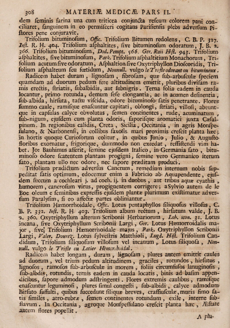 dem feminis farina una cum triticea conjunda refeum colorem pani con¬ ciliaret , fanguinem in eo permifceri cogitans Parifienfis plebs adverfum pi- ftores pene conjuravit. Trifolium bituminofum, Ofjic. Trifolium Bitumen redolens , C. B. P. 327. Inft. R. H. 404. Trifolium afphaltites, five bituminofum odoratum, J. B. 2. 366. Trifolium bituminofum, Dod.Pempt. %66. Ger. Raii Hfl. 944. Trifolium afphaltites, five bituminofum, Park. Trifolium afphaltitium Monachorum, Tri¬ folium acutumfiveodoratum, Afphaltionfive Oxytriphyllon Diofcoridis, Tri- folium afphalteum feu foetidum, Nonnull. vulgo leTrefte odorant ou bituminem * Radicem habet duram , lignofam , fibrofam, qux fub-arbufculse fpeciem quamdam ad duorum pedum fere altitudinem emittit, pluribus divifanr ra¬ mis eredis, flriatis, fubalbidis, aut fubnigris. Terna folia- eadem in cauda locantur , primo rotunda, demum fefe elongantia, ac in acumen delinentia, fub-albida, hirfiita, tadu vifcida, odore bituminofo fatis penetrante. Flores lummo caule, ramifque enafcuntur capitati, oblongi, ftriati, villofi, abeunt- que in capfulas calyce obvolutas , femen continentes , rude, acuminatum , uib-nigum , ejufdem cum planta odoris, faporifque aromatici juxta Csefab pinum. In regionibus calidis, Creta , Sicilia, Occitania , in agris Monfpe- fui ano, & Narbone nfi, in collibus faxofis mari proximis crefcit planta hxe In hortis quoque Curiofbrum colitur, in quibus Junio, Julio , & Augufto Boribus exornatur, frigorique, dummodo non excedat, reffiftendi vim ha¬ bet. Jo: Bauhimus afferit, femine ejufdem Italico, in Germania fato , bitu- minofo odore fcatentem plantam progigni, femine vero Germanico iterum fato, plantam ullo nec odore, nec fapore prxdkam produci. Trifolium prxdidtmv adverfiis Cancrum, remedium internum nobis fiip^ peditat fatis optimum, edocemur enim a Fabricio ab Aquapendente, ejufb dem fiiccum a cochleari j. ad coeh. ij. in duobus , aut tribus aqu^ cyathis , humorem, cancrofiim virus, progignentem corrigere ; aSylvio autem de le Boe oleum e feminibus exprerfis ejufdem plantx plurimum ex illimatur ad ver- ftim Paralyfim, fi eo afFedx partes obliniantur - Trifolium Hxmorrhoidale, Offic. Totus pentaphyllos filtquofus villofus, C* B. P. 452. Inft. R. H 404. Trifolium album redum , hirfutum valde, J. B. -2. 4do. Oxytriphyllum alterum Scribonii Herbariorum , Lob. icon. 41. Lotus Incana, five Oxytriphyllum Scribonii Largi, Ger. Lotus Hsemorroidalis ma¬ jor , fivej Trifolium Hamiorrhoidale majus , Marh Oxytriphyllon Scribonii Largi, Voler. DoureLotus fylveitris Matthioli, Lugd. Hifi. Trifolium Can¬ didum , Trifolium filiquofum villofum vel incanum^ Lotus fxliquofa , Non~ mlh vulgo le ‘Trefie ou Lotier Htmcr,hoidal. Radicem habet longam , duram , lignofam , plures autem emittit caules ad duorum , vel trium pedum altitudinem , graciles , rotundos, hirfutos , lignofos , ramofos fub - arbiifeulx in morem , foliis circumfufos lanuginofis , fub-albdis, rotundis, ternis eadem in cauda locatis, binis ad bafim appen¬ dicibus, fapore admodum adftringenti. Flores extremis caulibus, ramifque cnafcimtur leguminofi, plures fimul congefti , fub-albidi , calyce admodum’ Birfuto fuffultiquibus fuccedunt filiquse breves, craffiufculx,muris fimo fa¬ tis fimiles , atro-rubrx , femen continentes rotundum , exile, interne fub- 23 avum. In Occitania, agroque Monfpeflulano crefcit planta hxc, iEftate autem flores popellit. A