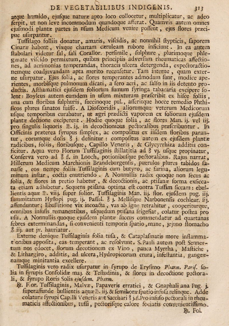atque humido, ejufgue natura? apto loco collocetur, multiplicatur, ac adeo forpit, ut non leve incommodum quandoque afferat. Quamvis autem omnes ejufmodi planta partes in nfum Medicum venire pollent, ejus flores prseci» pue ufurpantur. Tuffilago folliis donatur, amaris, vifoidis, ac nonnihil ftypticis, feporem Cinara habent, vixque chartam c^ruleam rubore inficiunt. In ea autem ftabulari videtur fal, feli Corallor. perfimile , fulphure , plurimoque phle¬ gmate vifoido permixtum, quibus principiis adverfum rheumaticas affedio- nes, ad acrimonias temperandas, thoracis ulcera detergenda, expedoradio- nemque coadjuvandam apta merito recenfotur. Tam interne , quam exter¬ ne ufurpatur. Ejus folia, ac flores temperantes admodum funt, modice ape¬ rientes, morbifque pulmonum dicati, a fero acri, ac felfo in iis detento pro- dudis. Afthamatici ejufdem foliorum fumum fyringa tabacaria excipere fo— lent: Boyleus autem eumdem in ufutn mixturam prafcribit ex hifoe foliis, una cum floribus fulphuris, fuccinoque pul, afferltque hocce remedio Phthi- ficos plures fanatos fbiffe. A Diofcoridis, aliorumque veterum Medicorum ufque temporibus curabatur, ut a?gri pradidi vaporem ex foliorum ejufdem planta dedione exciperent. Hodie quoque folia , ac flores Man. ij. vel iij. pro fingulis liquoris ib. ij. in decodioniDus pedoralibus prafcribuntur . In Officinis praeterea fyrupus fimplex, ac compofitus ex iifclem floribus paran¬ tur , eorumque dofis 3 j. definitur : compofitus autem ex ejufiiem planta radicibus, foliis, floribtifque, Capillo Veneris , & Glycyrrhiza additis con¬ ficitur. Aqua vero Florum Tuffilaginis ftillatitia ad 3 v> ufque propinatur. Conferva vero ad 3 fi. in Looch, potionibufque pedoralibus, Rajus narrat, Hillerum Medicum Marchionls Brandeburgenffs, puerulos plures tabidos fe- nafie , eos nempe foliis Tuffilaginis cum butyro, ac farina, aliorum legu¬ minum inftar , codis enutriendo . A Nonnullis radix quoque non focus ac folia, & flores in pretio habetur , & decodionis, ac ptifana? forma, exficca- ta etiam adhibetur. Sequens ptifena optima eft contra Tuffim ficcam: ebul¬ lientis aqua? lb. viij. fuper folior. Tuffilaginis Man. iij. flor, ejufdem pug. iij. fummitatum Hyflopi pug. ij. Pallui. 3 j. Mellifque Narbonenfis cochlear, iij, affunduntur; Ebullitione vix incoada , vas ab igne retrahitur , cooperi torque, omnibus infufis remanentibus, ufquedum ptifana frigefiat, colatur poftea pro «fu. A Nonnullis quoque ejufdem planta? fuccus commendatur ad quartanas febres exterminandas, fi convenienti temporis fpatio „mane, jejuno ftoraacho 3 iij. aut jv. hauriatur. Externe denique Tuffilaginis folia tufa, & Cataplafmatk more inflamma- renibus appofita, eas temperant, ac refolvunt. S.Pauli autem poft Senner- tum nos edocet, florum decotionem ex Vino , pauca Myrrha , Maffiche 9 Sc Lithargiro, additis, ad ulcera,.Hydropicarum crura, infeftantia, gangree- namque minitantia excellere. Tuffilaginis vero radix ufurpatur in fyrupo de Eryfirno Pbarm. Parif. fo¬ lia in fyrupis Confolidae map & Teftudinis, & flores in. decodione pedora- li, & fyrupo Roris Solis ejufdem. Pbarm. F.or. Tuffilaginis, Malva?, Papaverk erratici , & Gnaphaliana pug. p, fuperafftinde bullientis aqua?!b. iij. & fomihora?fpatioinfuferelinque. Adde eohturx fyrujri Caprili Veneris aut Sacchari 3 j.iLPro mfufo pedor ali in rheu¬ maticis affedionibus,. tuffi, pedorifque calore fodatis convenieetiffimo^ Bh FoL