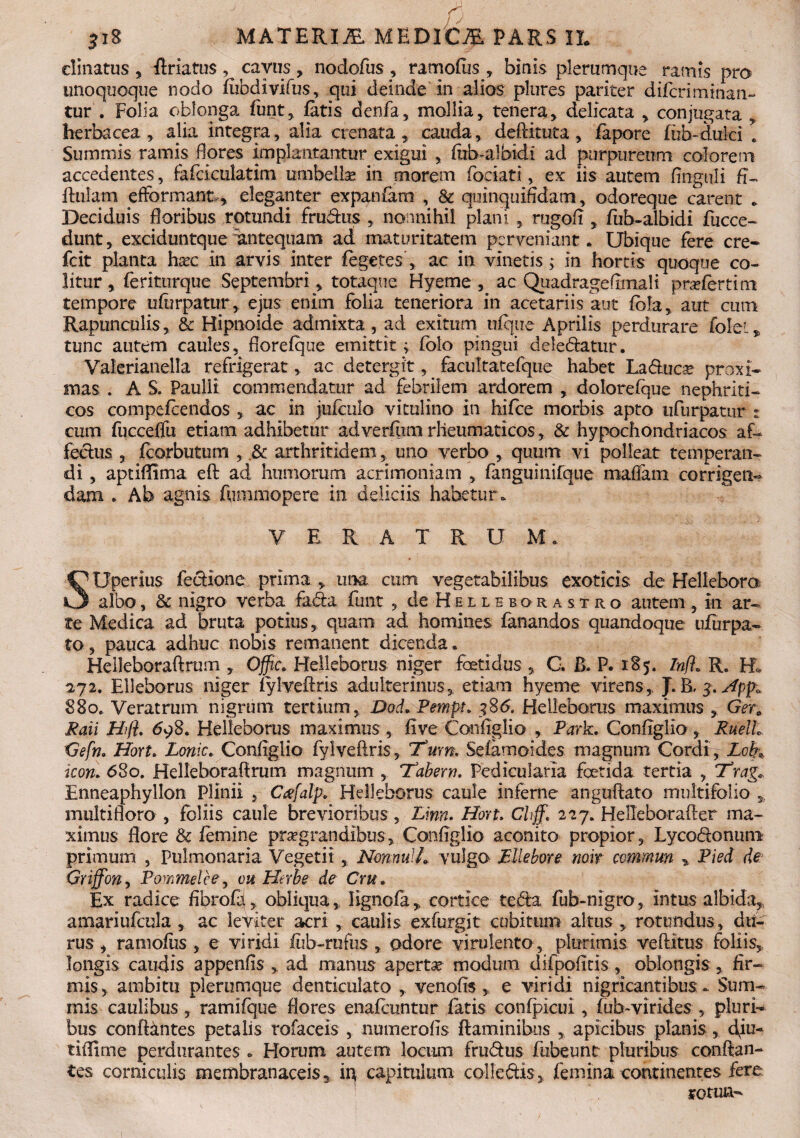 clinatus , flriatus , cavus , nodofus , ramofus , binis plerumque ramis pro unoquoque nodo fiibdivifus, qui deinde in alios plures pariter difcriminan- tur . Folia oblonga funt, fatis denfa, mollia, tenera, delicata , conjugata , herbacea , alia integra, alia crenata , cauda, deftituta , fapore fub~dulci \ Summis ramis flores implantantur exigui , fub-albidi ad purpureum colorem accedentes, fafcictilatim umbellae in morem fociati, ex iis autem Anguli fi- ftulam efFormant,, eleganter expanfam , & quinquifidatn, odoreque carent * Deciduis floribus rotundi frudus , nonnihil plani 5 rugofi , fub-albidi fucce- dunt, exciduntque antequam ad maturitatem perveniant. Ubique fere cre- fcit planta hxc in arvis inter fegetes', ac in vinetis; in hortis quoque co¬ litur , feriturque Septembri, totaque Hyeme , ac Quadrageflmali praeforti m tempore ufurpatur, ejus enim folia teneriora in acetariis aut fbla, aut cum Rapunculis, & Hipnoide admixta, ad exitum ufque Aprilis perdurare folet* tunc autem caules, florefque emittit; folo pingui deledatur. Vaierianella refrigerat, ac detergit, . facuItatefque habet La&uoe proxi¬ mas . A S. Paulli commendatur ad febrilem ardorem , dolorefque nephriti¬ cos compefoendos , ac in jufculo vitulino in hifce morbis apto ufurpatur : cum fucceffu etiam adhibetur ad verftmi rheumaticos, & hypochondriacos af- fedus , fcorbutum , .& arthritidem, uno verbo , quum vi polleat temperan¬ di , aptiflima eft ad humorum acrimoniam , fanguinifque mafiam corrigen¬ dam . Ab agnis fummopere in deliciis habetur. V E R A T R U M * SOperlus fedione prima , una cum vegetabilibus exoticis de Helleboro albo, & nigro verfm fada funt , de Helleborastro autem , in ar¬ te Medica ad bruta potius, quam ad homines fanandos quandoque ufurpa- to, pauca adhuc nobis remanent dicenda. Helleboraftrum , Offic. Helleborus niger foetidus , C. B. P. 185. Inft» R. H* 272. Elleborus niger fylveftris adulterinus, etiam hyeme virens,, J. B, 3. sfpp» 88ot Veratrum nigrum tertium, Dod. Pempt. 6. Helleborus maximus , Gsr0 Raii Hifl. 698. Helleborus maximus, five Configlio , Park. Configlio, RuelL Gefn. Hort* Lonic. Configlio fylveftris. Tum, Sefamoides. magnum Cordi , Loh, icon. 680. Helleboraftrum magnum , Tabem. Pedicularia foetida tertia , Trag* Enneaphyllon Plinii , Cafalp. Helleborus caule inferne anguftato multifolio multifloro , foliis caule brevioribus , Linn. Hort. Chff. 227. Helleborafter ma¬ ximus flore & femine praegrandibus, Configlio aconito propior, Lycodonum primum , Pulmonaria Vegetii, Nonnulh vulgo Ellebore noir commun » Pied de Griffon, Pommelce, ou Herbe de Cru. Ex radice fibrofa, obliqua, ligno fa , cortice te da fub-nigro, intus albida^ amariufcula , ac leviter acri , caulis exfurgit cubitum altus , rotundus, dtl- rus , ramofiis , e viridi fob-rufus , odore virulento , plurimis veftitus foliis, longis caudis appenfis , ad manus aperta? modum difpofiris, oblongis, fir¬ mis, ambitu plerumque denticulato , venofis , e viridi nigricantibus. Sum¬ mis caulibus, rami fque flores enafountur fatis confpicui, fuh-virides , pluri¬ bus conf&ntes petalis rofaceis , numerofis flaminibus , apicibus planis, Riu- tiflime perdurantes * Horum autem locum frudus fubeunt pluribus conflan¬ tes corniculis membranaceis * fo capitulum coUedis, femina continentes fere rotun-