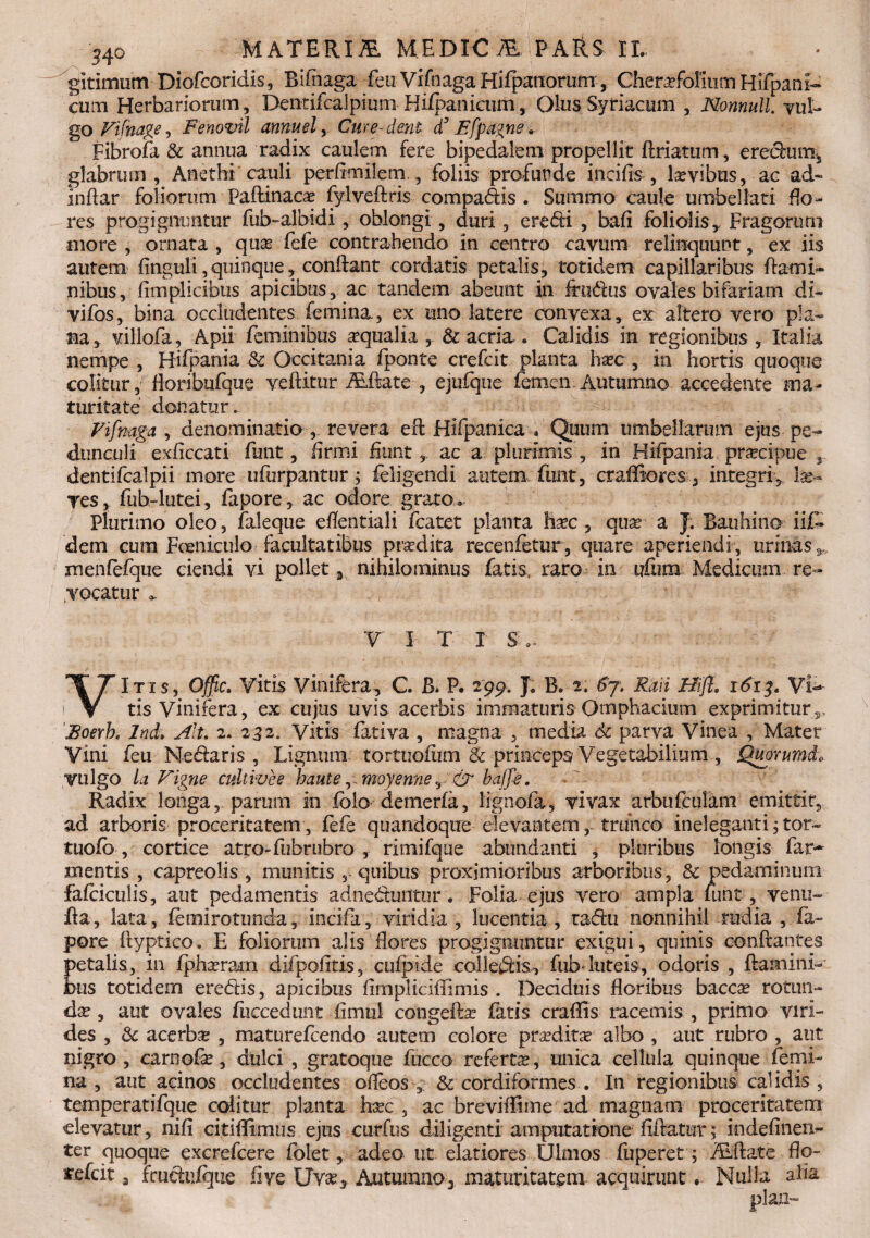 gitimutn Diofcoridis, Bifiiaga feu Vifnaga Hifpanorum, Cherrfolium Hifpanl- cum Herbariorum, Dentifcalpium Hi/panicum, Olus Syriacum , Nonnull. yuU go Fifnage, Fenovil annuel, Cure-dent d’ jEfpagne a Fibrofa & annua radix caulem fere bipedalem propellit feriatum, eredum, glabrum, Anethi cauli perfirnilem., foliis profunde incilis, levibus, ac ad¬ indar foliorum Paftinacae fylveftris compadis . Summo caule umbellati flo^ res progignuntur fub-albidi, oblongi, duri, eredi , bafi foliolis. Fragorum more , ornata , qua? fefe contrahendo in centro cavum relinquunt, ex iis autem finguli,quinque, conflant cordatis petalis, totidem capillaribus flami¬ nibus, fimplicibus apicibus, ac tandem abeunt in frudus ovales bifariam di- vifos, bina occludentes femina, ex uno latere convexa, ex altero vero pla¬ na, viliofa, Apii feminibus aqualia, & acria. Calidis in regionibus, Italia nempe , Hifpania & Occitania fponte crefcit planta ha?c, in hortis quoque colitur,' feoribufque veftitur Aiftate , ejufque femen Autumno accedente ma¬ turitate donatur. Vifnaga , denominatio , revera efe Hifpanica » Quum umbellarum ejus pe¬ dunculi exficcati funt, firmi fiuntac a plurimis , in Hifpania praecipue , dentifcalpii more ufurpantur; feligendi autem funt, craffiores* integri, lat¬ res, fub-lutei, fapore, ac odore grato. Plurimo oleo, faleque eflentiali fcatet planta hasc , quar a J; Bauhino iif. dem cum Foeniculo facultatibus pradita recenfetur, quare aperiendi, urinas^ menfefque ciendi vi pollet y nihilominus fatis, raro in ufura Medicum re¬ vocatur ^ V I T I Sd. VItis, Offic. Vitis Vinifera, C. B. P. 295?. J. B. 2; 6y, Raii fflft. 1613. Via¬ tis Vinifera, ex cujus uvis acerbis immaturis Omphacium exprimitur,. Boerht Ind; Alt. 2. 232, Vitis fativa , magna , media 6c parva Vinea , Mater Vini feu Medaris , Lignum torttiofiim & princeps Vegetabilium , Quorumdv, vulgo ia Figne cultivee haute, moyenne, & bajfe. Radix longa, parum in folo demerfa, lignofa, vivax arbtifculam emittit, ad arboris proceritatem, fefe quandoque elevantem, trunco ineleganti^tor- tuofb, cortice atro-fubrubro , rimifque abundanti , pluribus longis far- mentis , capreolis , munitis , quibus proximioribus arboribus, & pedaminum fafeiculis, aut pedamentis adneduntur. Folia ejus vero ampla funt, venu- fea, lata, femirotunda, incifa, viridia , lucentia, tadu nonnihil rudia fa¬ pore flyptico. E foliorum alis flores progignuntur exigui, quinis conflantes petalis, in fpha?ram difpofitis, cufpide colleriis, fub luteis, odoris , flamini¬ bus totidem eredis, apicibus fimpliciffimis . Deciduis floribus baccx rotun¬ da? , aut ovales fuccedunt fimul congefta? fatis crafeis racemis , primo viri¬ des , & acerba? , maturefeendo autem colore praxiita? albo , aut rubro , aut nigro, carnofa?, dtilci', gratoque fucco referta;, unica cellula quinque femi¬ na, aut acinos occludentes ofleos , & cordiformes . In regionibus calidis , temperatifque editur planta foec , ac breviffime ad magnam proceritatem elevatur, nifi citiffimus ejus curfus diligenti amputatione fiftatur; indefinen- ter quoque excrefcere folet, adeo ut elatiores Ulmos fuperet; ALftate flo- refeit a friidufque fi ve Uva, Autumno* maturitatem acquirunt. Nulla alia