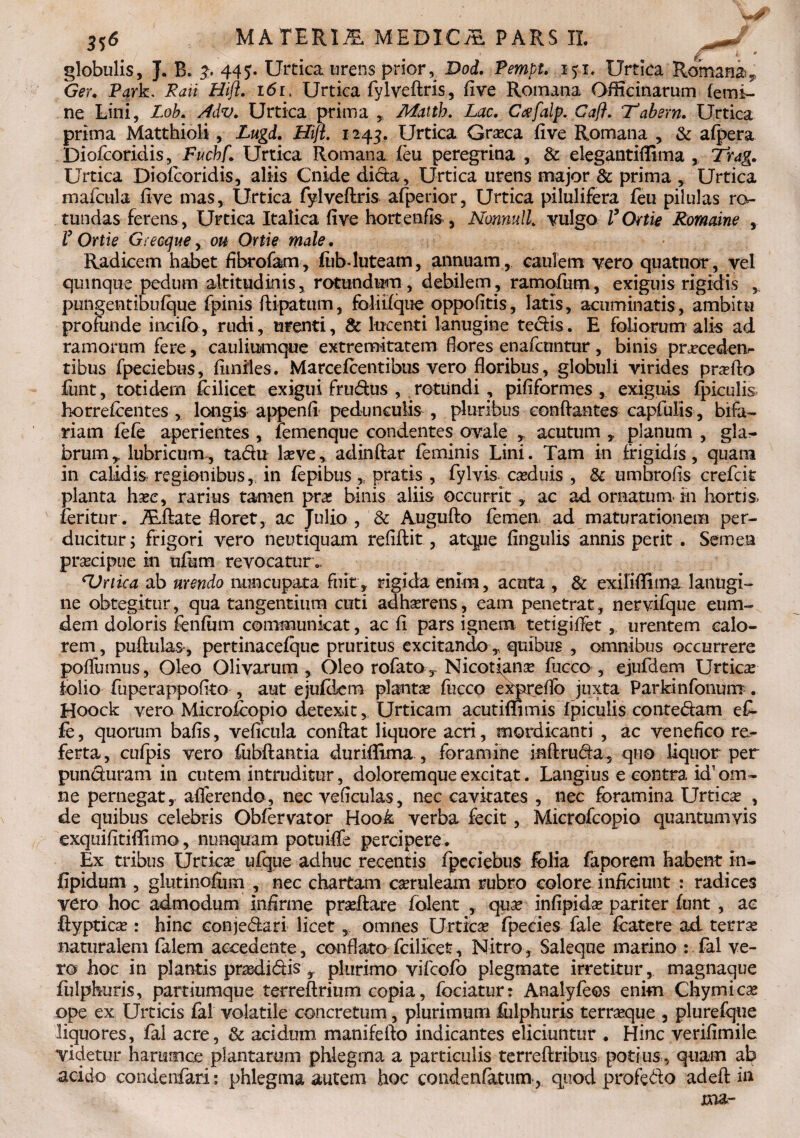 globulis, J. B. 3. 445. Urtica urens prior, Dod. Pempt. i$i. Urtica Romani, Ger. Park. Rati Hift. i6r. Urtica fylveftris, live Romana Officinarum femi¬ ne Lini, Lob. Adv. Urtica prima , Matth. Lac. Ccefalp. Caft. Tabsrn. Urtica prima Matthioli , Lugd. Hift. 1245. Urtica Graea live Romana , & afpera Diofcoridis, Fucbf.Urtica Romana feu peregrina , & elegantiffima , Trag. Urtica Diofcoridis, aliis Cnide dicta. Urtica urens major & prima , Urtica mafcula fi-ve mas, Urtica fylveftris afperior. Urtica pilulifera feu pilulas ro¬ tundas ferens , Urtica Italica five hortenfo, NonnnlL vulgo l’Ortie Romaine , V Ortie Grecque, ou Ortie male. Radicem habet fibrofam, flib-luteam, annuam, caulem vero quatuor, vel quinque pedum altitudinis, rotundum, debilem, ramofum, exiguis rigidis , pungentibufque fpinis ftipatum, foliifque oppofitis, latis, acuminatis, ambitu profunde incifo, rudi, urenti, & lucenti lanugine teciis. E foliorum alis ad ramorum fere, cauliumque extremitatem flores enafenntur, binis pracedetv tibus fpeciebus, flmiles. Marcefcentibus vero floribus, globuli virides prafto fimt, totidem fcilicet exigui frudus , rotundi , pififormes , exiguis fpiculis horrefeentes , longis appenfi pedunculis , pluribus conftantes capfulis, bifa¬ riam fefe aperientes , femenque condentes ovale , acutum ,, planum , gla¬ brum^ lubricum, tadu Ise ve, adinftar feminis Lini. Tam in frigidis, quam in calidis regionibus, in fepibus * pratis , fylvis caduis , &c umbro (is crefcit planta hae, rarius tamen pra binis aliis occurrit , ac ad ornatum* in hortis, feritur . ALftate floret, ac Julio , & Augufto femen ad maturationem per¬ ducitur; frigori vero neutiquam refiftit, atque fingulis annis perit. Semen pracipue in ufum revocatur- cVrtica ab urendo nuncupata fuit, rigida enim, acuta , & exiliffima lanugi¬ ne obtegitur, qua tangentium cuti adharens, eam penetrat, nervifque eum- dem doloris fenfom communicat, ac fi pars ignem tetigiffet, urentem calo¬ rem , puftulas, pertinacefque pruritus excitando „ quibus , omnibus occurrere poffumus, Oleo Olivarum, Oleorofato, Nicotfana fucco , ejufdem Urtica folio fuperappoflto , aut ejufdem plantae fucco expreflo juxta Parkinfonurrr. Hoock vero Microfcopio detexit. Urticam acutiffimis fpiculis contedam ef- fc, quorum bafis, veficula conftat liquore acri, mordicanti , ac venefico re¬ ferta , cufpis vero fubftantia duriftlma , foramine inftruda, qno liquor per punduram in cutem intruditur, doloremque excitat. Langius e contra, id1 om¬ ne pernegat, afferendo, nec veficulas, nec cavitates , nec foramina Urtica , de quibus celebris Obfervator Hook verba fecit, Microfcopio quantumvis exquifitiffimo, nunquam potuiffe percipere. Ex tribus Urtica ufque adhuc recentis fpeciebus folia faporem habent in- fipidum , glutinofum , nec chartam caruleam rubro colore inficiunt : radices vero hoc admodum infirme praftare falent , qua infipida pariter funt , ae ica : hinc conjedari licet, omnes Urtica fpeeies fale fcatere ad terra naturalem falem accedente, conflato fcilicet, Nitro, Saleque marino : fal ve¬ ro hoc in plantis pradidis r plurimo vifeofo plegmate irretitur, magnaque fulpkiris, parriumque terreftrium copia, fodatur: Analyfeos enim Chymica ope ex Urticis fal volatile concretum, plurimum fiilphuris terraque 3 plurefque liquores, fal acre, & acidum manifefto indicantes eliciuntur . Hinc verifimile videtur haramoe plantarum phlegma a particulis terreftribus potius, quam ab acido condenfari; phlegma autem hoc condenfatum, quod profedo adeft in