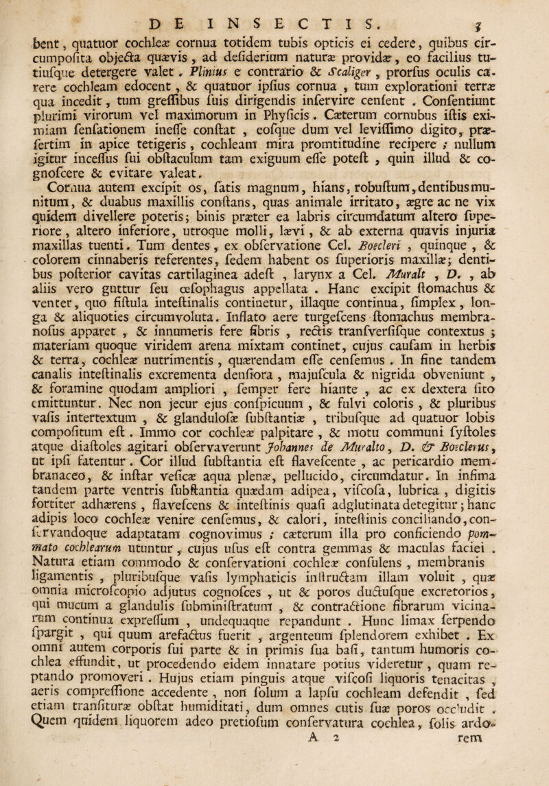 DE INSECTIS. | bent, quatuor cochlea cornua totidem tubis opticis ei cedere, quibus cir- cumpofita objeCta quavis , ad defiderium natura provida, eo facilius tu- tiufque detergere valet. Plinius e contrario de scaliger , prorfus oculis ca¬ rere cochleam edocent, & quatuor ipfius cornua , tum explorationi terra qua incedit, tum greffibus luis dirigendis infervire cenfent . Confentiunt plurimi virorum vel maximorum in Phyficis. Caterum cornubus iftis exi¬ miam fenfationem inefle condat , eofque dum vel leviflimo digito, pra- fertim in apice tetigeris , cochleam mira promtitudine recipere ,* nullum igitur inceffus fui obliaculum tam exiguum effe poted , quin illud & co- gnofcere & evitare valeat. Cornua autem excipit os, fatis magnum, hians, robudum, dentibus mu¬ nitum, & duabus maxillis condans, quas animale irritato , agre ac ne vix quidem divellere poteris; binis prater ea labris circumdatum altero fupe- riore, altero inferiore, utroque molli, laevi, & ab externa quavis injuria maxillas tuenti. Tum dentes, ex obfervatione Cei. Boederi , quinque , &c colorem cinnaberis referentes, fedem habent os fuperioris maxilla; denti¬ bus poderior cavitas cartilaginea aded , larynx a Cei. Muralt , D, , ab aliis vero guttur feu cefophagus appellata . Hanc excipit domachus & venter, quo fidula intedinalis continetur, illaque continua, fimplex, lon¬ ga Sc aliquoties circumvoluta. Infiato aere turgefcens domachus membra- nofus apparet , 8c innumeris fere fibris , rectis tranfverfifque contextus ; materiam quoque viridem arena mixtam continet, cujus caufam in herbis & terra, cochlea? nutrimentis , querendam effe cenfemus . In fine tandem canalis intedinalis excrementa denffora , majufcula & nigrida obveniunt , & foramine quodam ampliori , femper fere hiante , ac ex dextera lito emittuntur. Nec non jecur ejus confpicuum , & fulvi coloris , & pluribus vafis intertextum , Sc glandulofa? fubdantia? , tribufque ad quatuor lobis compofitum ed . Immo cor cochlea palpitare , & motu communi fydoles atque diadoles agitari obfervaverunt Jobannes de Muralto, D. & Bosclevus, ut ipfi fatentur. Cor illud fubdantia ed flavefcente , ac pericardio mem¬ branaceo, fk indar vefica? aqua plena?, pellucido, circumdatur. In infima tandem parte ventris fubdantia quadam adipea, vifcofa, lubrica , digitis fortiter adherens, ffavefcens & intedinis quafi adglutinata detegitur; hanc adipis loco cochlea venire cenfemus, Sc calori, intedinis conciliando, con- flrvatidoque adaptatam cognovimus ; catcrum illa pro conficiendo pom-* mato cochlearum utuntur , cujus ufus ed contra gemmas & maculas faciei . Natura etiam commodo Sc confervationi cochlea? confulens , membranis ligamentis , pluribufque vafis lymphaticis inltruftam illam voluit , qua? omnia microfcopio adjutus cognofces , ut & poros duCtufque excretorios, qui mucum a glandulis fubminidratum , & contractione fibrarum vicina¬ rum continua expreffum , undequaque repandunt . Hunc limax ferpendo ipargit , qui quum arefaCtus fuerit , argenteum fplendorem exhibet . Ex omni autem corporis fui parte 8c in primis fua bafi, tantum humoris co¬ chlea effundit, ut procedendo eidem innatare potius videretur, quam re¬ ptando promoveri . Hujus etiam pinguis atque vlfcofi liquoris tenacitas , aeris compreffione accedente , non folum a lapfu cochleam defendit , fed etiam tranfitura? obdat humiditati, dum omnes cutis fuse poros occludit . Quem quidem liquorem adeo pretiofum confervatura cochlea, folis ardo-