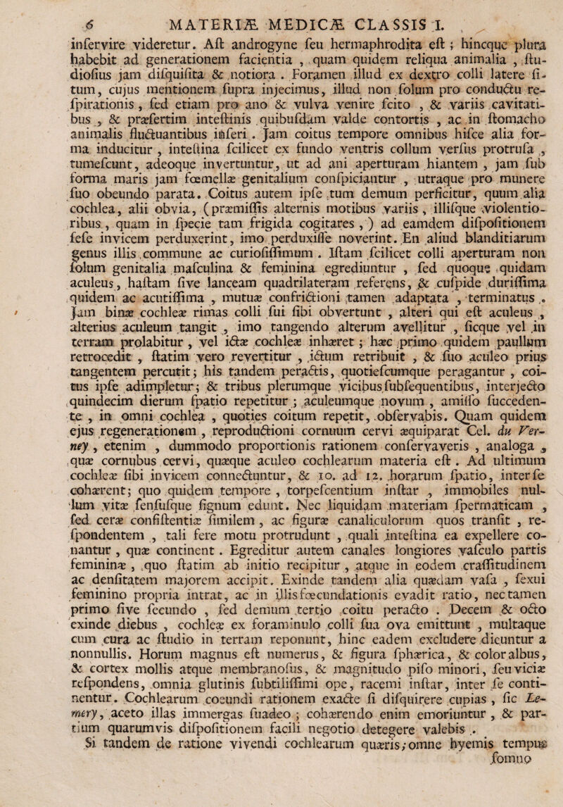 infer vire videretur. Aft androgyne feu hermaphrodita eft; hincque plura habebit ad generationem facientia , quam quidem reliqua animalia , ftu- diofius jam difquifita & notiora . Foramen illud ex dextro colli latere li¬ tum, cujus mentionem fupra injecimus, illud non folum pro condudu re- fpirationis , fed etiam pro ano & vulva venire fcito , & variis cavitati¬ bus 5 & prafertim inteftinis .quibufdam valde contortis , ac in ftomacho animalis fluduantibus i&feri . Jam coitus tempore omnibus hifce alia for¬ ma inducitur , inteftina fcilicet ex fundo ventris collum verius protrufa , tumefcunt, adeoque invertuntur, ut ad ani aperturam hiantem , jam fub forma maris jam foemellse genitalium confpiciantur , utraque pro munere fuo obeundo parata. Coitus autem ipfe ;tum demum perficitur, quum alia cochlea, alii obvia, (pramiffis alternis motibus variis , illifque violentio¬ ribus , quam in fpecie tam frigida cogitares , ) ad eamdcm difpofitionetn fefe invicem perduxerint, imo perduxiife noverint. En aliud blanditiarum genus illis, commune ac curiofiffimum . Iftam fcilicet colli aperturam nort folum genitalia qnafculina & feminina egrediuntur , fed quoque quidam aculeus, haftam five lanceam quadrilateram f referens, cufpide duriflima quidem ac acutiffima , mutuae confridioni {tamen adaptata , terminatus Jam binae cochleae rimas colli fui fibi obvertunt , alteri qui eft aculeus , alterius aculeum tangit , imo tangendo alterum avellitur , ficque yel ,in terram prolabitur , vel ida cochleae inhaeret; haec primo quidem paulUim retrocedit , ftatim vero revertitur , jdum retribuit , & fuo aculeo prius tangentem percutit; his tandem peradis, quotiefcumque peragantur , coi¬ tus ipfe adimpletur ; & tribus plerumque vicibus fubfequentibus, interjedo quindecim dierum fpatio repetitur ; aculeumque novum , amilfo fucceden- te , in omni cochlea , quoties coitum repetit, obfervabis. Quam quidem ejus regenerationem , reprodudioni cornuum cervi aquiparat Cei. du Fer- ney , etenim , dummodo proportionis rationem confervaveris , analoga 3 quae cornubus cervi, quaeque aculeo cochlearum materia eft . Ad ultimum cochleae fibi invicem conneduntur, & io. ad iz. horarum fpatio, interfe cohaerent; quo quidem tempore , torpefcentium inftar , immobiles nul¬ lum yitae fenfufque fignum edunt. Nec liquidam materiam fpermaticam , fed cera confiftentiae fimilem , ac figura canaliculorum quos tranfit , re- fpondentem , tali fere motu protrudunt , quali inteftina ea expellere co¬ nantur , qua continent. Egreditur autem canales longiores yafculo partis feminina , squo ftatim ab initio recipitur , atque in eodem crafiitudinem ac denfitatem majorem accipit. Exinde tandem alia quadam vafa , fexui feminino propria intrat, ac in illis foecundationis evadit ratio, nec tamen primo five fecundo , fed demum tertio coitu perado . Decem & odo exinde diebus , cochlea ex foraminulo colli fua ova emittunt , multaque cum cura ac ftudio in terram reponunt, hinc eadem excludere dicuntur a nonnullis. Horum magnus eft numerus, & figura fpharica, & color albus, & cortex mollis atque membranofus, & magnitudo pifo minori, feu vicia refpondens, omnia glutinis fubtilifiimi ope, racemi inftar, inter fe conti¬ nentur. jCochlearum coeundi rationem exade ii difquirere cupias , fic Le- mery, aceto illas immergas ftiadeo ; coharendo enim emoriuntur , & par¬ tium quarumvis difpofitionem facili negotio detegere valebis .. Si tandem de ratione vivendi cochlearum quaris;omne hyemis tempisg .fomiiQ